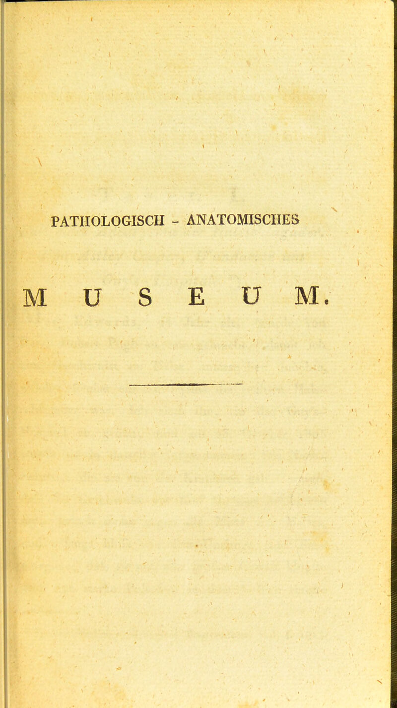 PATHOLOGISCH - ANATOMISCHES MUSEUM.