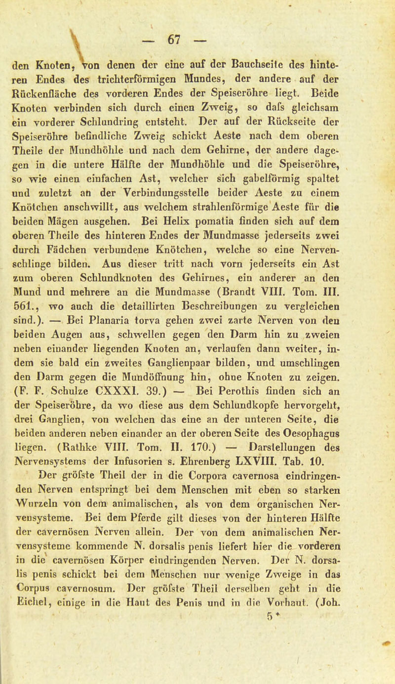 den Knoten, von denen der eine auf der Bauchseile des hinte- ren Endes des trichterförmigen Mundes, der andere auf der Rückenflächc des vorderen Endes der Speiseröhre liegt. Beide Knoten verbinden sich durch einen Zweig, so dafs gleichsam ein vorderer Sclilundring entsteht. Der auf der Rückseite der Speiseröhre beGndliche Zvpeig schickt Aeste nach dem oberen Theile der Mundhöhle und nach dem Gehirne, der andere dage- gen in die untere Hälfte der Mundhöhle und die Speiseröhre, so wie einen einfachen Ast, welcher sich gabelförmig spaltet und zuletzt an der Verbindungsstelle beider Aeste zu einem Knötchen anschwillt, aus welchem strahlenförmige Aeste für die beiden Mägen ausgehen. Bei Helix pomatia finden sich auf dem oberen Theile des hinteren Endes der Mundmasse jederseits zwei durch Fädchen verbundene Knötchen, welche so eine Nerven- schlinge bilden. Aus dieser tritt nach vorn jederseits ein Ast zum oberen Schlundknoten des Gehirnes, ein anderer an den Mund und mehrere an die Mundmasse (Brandt VIII. Tom. III. 561., wo auch die detaillirten Beschreibungen zu vergleichen sind.). — Bei Planaria torva gehen zwei zarte Nerven von den beiden Augen aus, schwellen gegen den Darm hin zu zweien neben einander liegenden Knoten an, verlaufen dann weiter, in- dem sie bald ein zweites Ganglienpaar bilden, und umschlingen den Darm gegen die MundölTnung hin, ohne Knoten zu zeigen. (F. F. Schulze CXXXl. 39.) ~ Bei Perothis finden sich an der Speiseröhre, da wo diese aus dem Schlundkopfe hervorgeht, drei Ganglien, von welchen das eine an der unteren Seite, die beiden anderen neben einander an der oberen Seite des Oesophagus liegen. (Rathke VIII. Tom. II. 170.) — Darstellungen des Nervensystems der Infusorien s. Ehrenberg LXVIII. Tab. 10. Der gröfste Theil der in die Corpora cavernosa eindringen- den Nerven entspringt bei dem Menschen mit eben so starken Wurzeln von dem animalischen, als von dem organischen Ner- vensysteme. Bei dem Pferde gilt dieses von der hinteren Hälfte der cavernösen Nerven allein. Der von dem animalischen Ner- vensysteme kommende N. dorsalis penis liefert hier die vorderen in die cavernösen Körper eindringenden Nerven. Der N. dorsa- lis penis schickt bei dem Menschen nur wenige Zweige in das Corpus cavernosum. Der gröfste Theil derselben geht in die Eichel, einige in die Hanl des Penis und in die Vorhaut. (Job. 5*