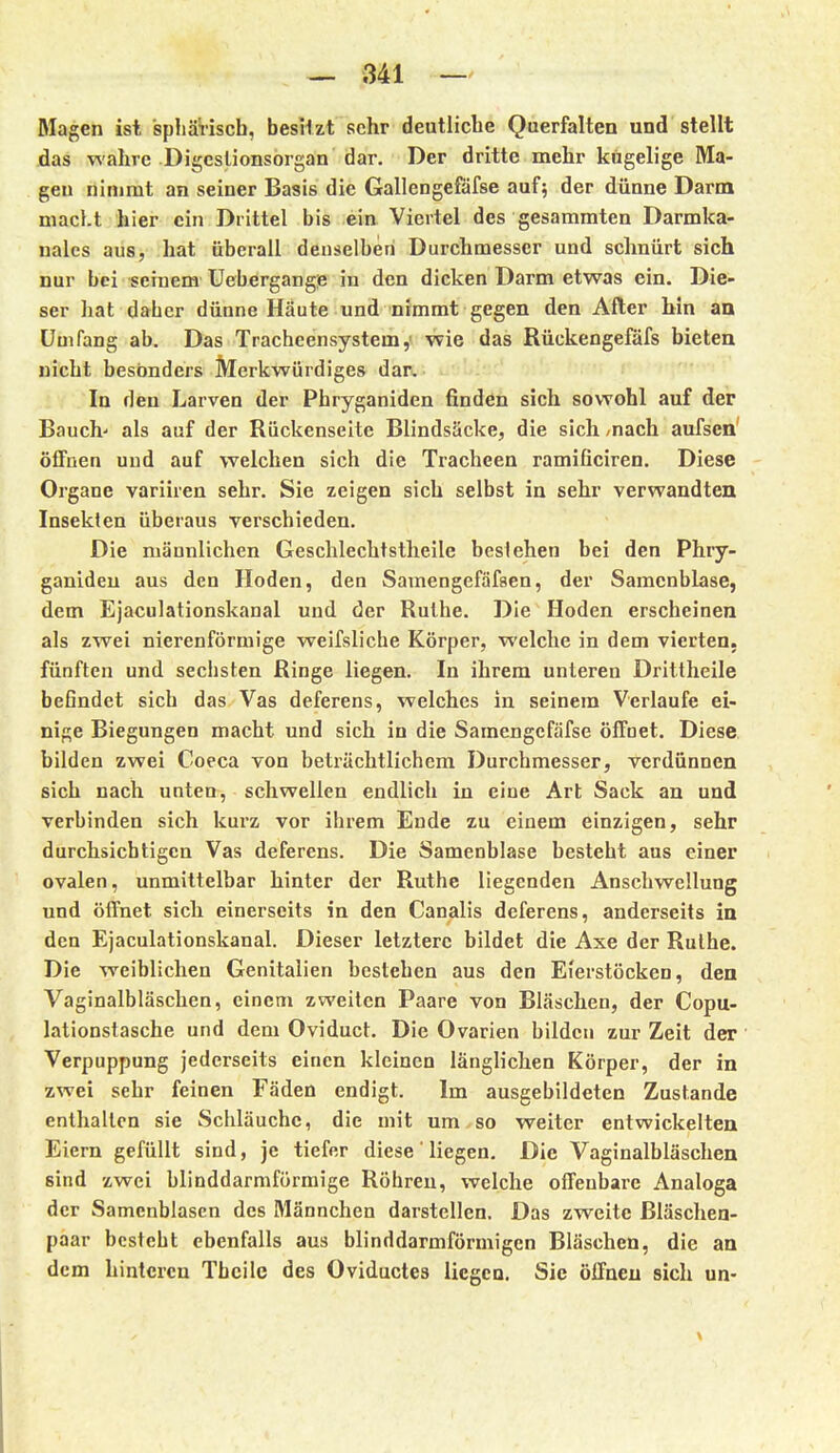 Magen ist 'sphäriscb, besilzt sehr deutliche Querfalten und stellt das wahre Digcslionsorgan dar. Der dritte mehr kugelige Ma- gen nimmt an seiner Basis die Gallengefäfse auf; der dünne Darm macht hier ein Drittel bis ein Viertel des gesammten Darmka- nalcs aus, hat überall denselben Durchmesser und schnürt sich nur bei seinem Uebergangie in den dicken Darm etwas ein. Die- ser hat daber dünne Häute und nimmt gegen den After hin an Umfang ab. Das Tracheensystem,' wie das ßückengefäfs bieten nicht besonders Merkwürdiges dar. In den Larven der Phryganiden finden sich sowohl auf der Bauch' als auf der Rückenseite Blindsäcke, die sich /nach aufsen' öffnen und auf welchen sich die Tracheen ramificiren. Diese Organe variiren sehr. Sie zeigen sich selbst in sehr verwandten Insekten überaus verschieden. Die männlichen Geschlechtstheile bestehen bei den Phry- ganiden aus den Hoden, den Samengefäfaen, der Samenblase, dem Ejaculationskanal und der Ruthe. Die Hoden erscheinen als zwei nierenförmige weifsliche Körper, welche in dem vierten, fünften und secbsten Ringe liegen. In ihrem unteren Drittheile beGndet sich das Vas deferens, welches in seinem Verlaufe ei- nige Biegungen macht und sich in die Samengcfäfse öffoet. Diese bilden zwei Coeca von beträchtlichem Durchmesser, verdünnen sich nach unten, schwellen endlich in eine Art Sack an und verbinden sich kurz vor ihrem Ende zu einem einzigen, sehr durchsichtigen Vas deferens. Die Samenblase besteht aus einer ovalen, unmittelbar hinter der Ruthe liegenden Anschwellung und öffnet sich einerseits in den Canalis deferens, anderseits in den Ejaculationskanal. Dieser letztere bildet die Axe der Ruthe. Die weiblichen Genitalien bestehen aus den Eierstöcken, den Vaginalbläschen, einem zweiten Paare von Bläschen, der Copu- lationstasche und dem Oviduct. Die Ovarien bilden zur Zeit der Verpuppung jederseits einen kleinen länglichen Körper, der in zwei sehr feinen Fäden endigt. Im ausgebildeten Zustande enthalten sie Schläuche, die mit um so weiter entwickelten Eiern gefüllt sind, je tiefer diese' liegen. Die Vaginalbläschen sind zwei blinddarmförmige Röhren, welche offenbare Analoga der Samenblascn des Männchen darstellen. Das zweite Bläschen- paar bcstcbt ebenfalls aus blinddarmförmigen Bläschen, die an dem hinteren Tbcile des Oviductes licgcD. Sic öffnen sich un-