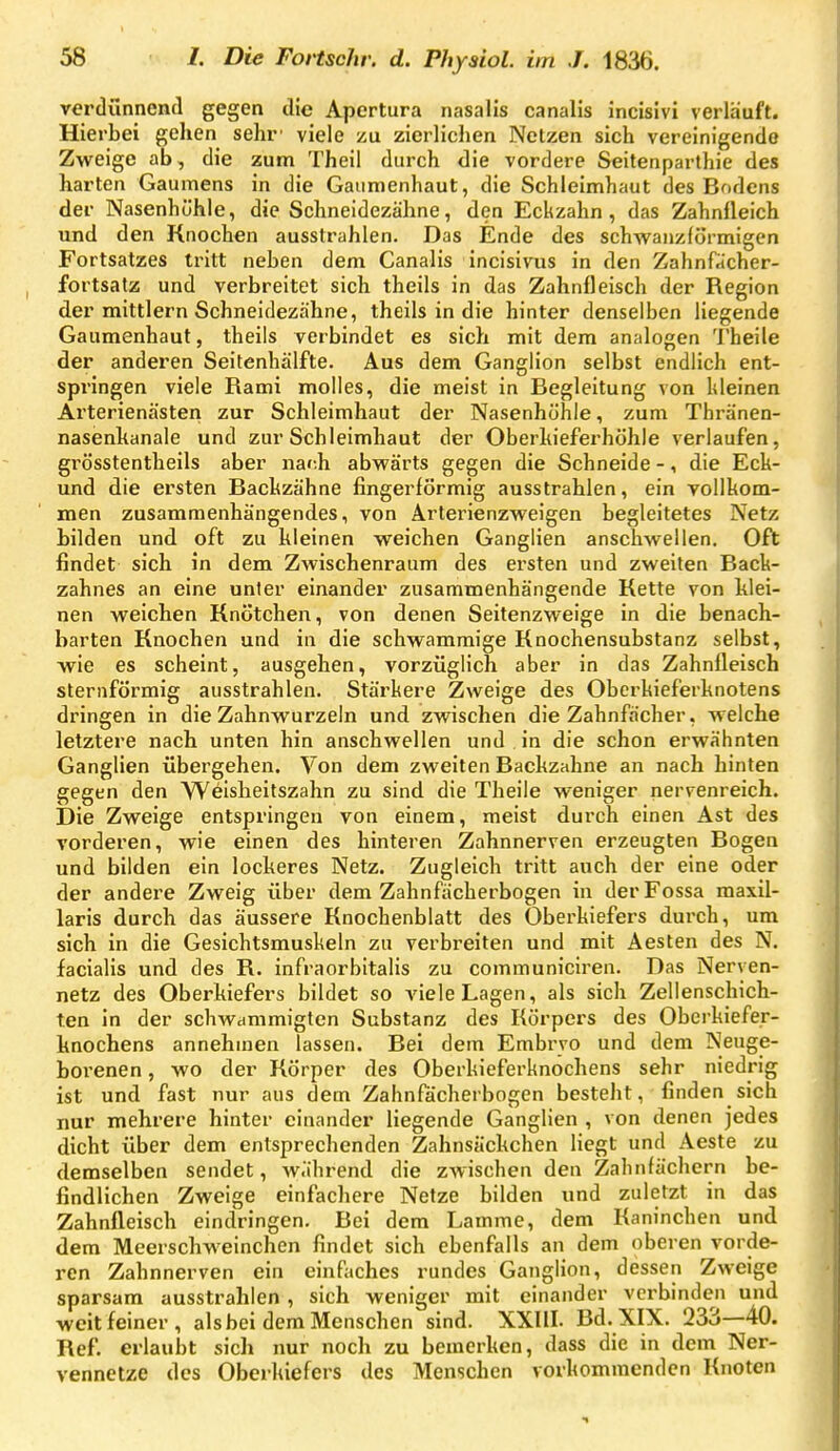 verdünncncl gegen die Apertura nasalis canalis incisivi verläuft. Hierbei gehen sehr' viele zu zierlichen Netzen sich vereinigende Zweige ab , die zum Theil durch die vordere Seitenparthie des harten Gaumens in die Gaiimenhaut, die Schleimhaut des Bodens der Nasenhühle, die Schneidezähne, den Eckzahn, das Zahnüeich und den Knochen ausstrahlen. Das Ende des schwanzförmigen Fortsatzes tritt neben dem Canalis incisivus in den Zahnfächer- fortsatz und verbreitet sich theils in das Zahnfleisch der Region der mittlem Schneidezähne, theils in die hinter denselben liegende Gaumenhaut, theils verbindet es sich mit dem analogen 'I'heile der anderen Seitenhälfte. Aus dem Ganglion selbst endlich ent- springen viele Rami molles, die meist in Begleitung von Ideinen Arterienästen zur Schleimhaut der Nasenhühle, zum Thränen- nasenkanale und zur Schleimhaut der Oberhieferhöhle verlaufen, grösstentheils aber na»;h abwärts gegen die Schneide -, die Eck- und die ersten Bachzähne fingerförmig ausstrahlen, ein vollkom- men zusammenhängendes, von Arterienzweigen begleitetes Netz bilden und oft zu kleinen weichen Ganglien anschwellen. Oft findet sich in dem Zwischenraum des ersten und zweiten Back- zahnes an eine unier einander zusammenhängende Kette von klei- nen weichen Knötchen, von denen Seitenzweige in die benach- barten Knochen und in die schwammige Knochensubstanz selbst, wie es scheint, ausgehen, vorzüglich aber in das Zahnfleisch sternförmig ausstrahlen. Stärkere Zweige des Oberkief'erknotens dringen in die Zahnwurzeln und zwischen die Zahnfächer, welche letztere nach unten hin anschwellen und in die schon erwähnten Ganglien übergehen. Von dem zweiten Backzahne an nach hinten gegen den Weisheitszahn zu sind die Theile weniger nervenreich. Die Zweige entspringen von einem, meist durch einen Ast des vorderen, wie einen des hinteren Zahnnerven erzeugten Bogen und bilden ein lockeres Netz. Zugleich tritt auch der eine oder der andere Zweig über dem Zahnfächerbogen in der Fossa maxil- laris durch das äussere Knochenblatt des Oberkiefers durch, um sich in die Gesichtsmuskeln zu verbreiten und mit Aesten des N. facialis und des R. infraorbitalis zu communiciren. Das Nerven- netz des Oberkiefers bildet so viele Lagen, als sich Zellenschich- ten in der schwammigten Substanz des Körpers des Obcrkiefer- knochens annehmen lassen. Bei dem Embryo und dem Neuge- borenen , wo der Körper des Oberkieferknochens sehr niedrig ist und fast nur aus dem Zahnfächerbogen besteht, finden sich nur mehrere hinter einander liegende Ganglien , von denen jedes dicht über dem entsprechenden Zahnsäckchen liegt und Aeste zu demselben sendet, während die zwischen den Zahnfächern be- findlichen Zweige einfachere Netze bilden und zuletzt in das Zahnfleisch eindringen. Bei dem Lamme, dem Kaninchen und dem Meerschweinchen findet sich ebenfalls an dem oberen vorde- ren Zahnnerven ein einfaches rundes Ganglion, dessen Zweige sparsam ausstrahlen , sich weniger mit einander verbinden und weit feiner, als bei dem Menschen sind. XXIII. Bd. XIX. 233—40. Ref. erlaubt sich nur noch zu bemerken, dass die in dem Ner- vennetze des Oberkiefers des Menschen vorkommenden Knoten