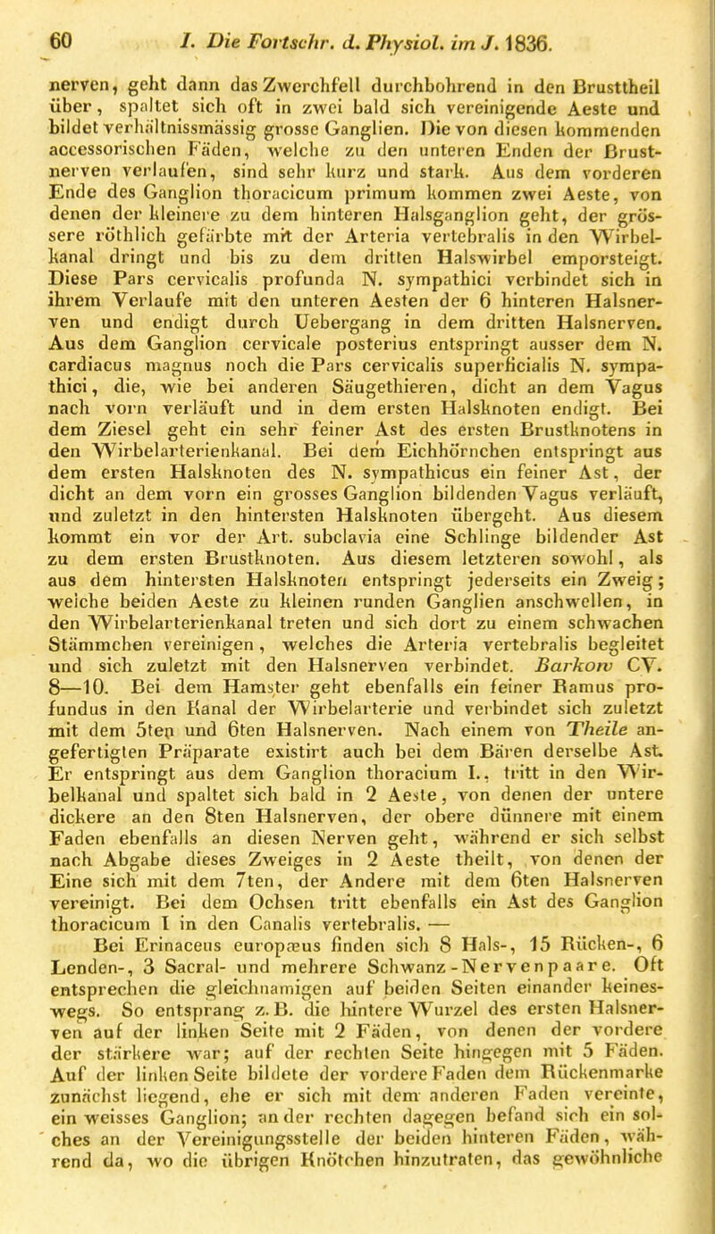 nerven, geht dann das Zwerchfell durchbohrend in den Brusttheil über, spaltet sich oft in zwei bald sich vereinigende Aeste und bildet verhaltnissmhssig grosse Ganglien. Die von diesen hommenden accessorischen Fäden, welche zu den unteren Enden der ßrust- neiven verlaufen, sind sehr luirz und stark. Aus dem vorderen Ende des Ganglion thoracicum primum kommen zwei Aeste, von denen der kleineie zu dem hinteren Halsganglion geht, der grös- sere röthlich gefärbte mit der Arteria vertebralis in den Wirbel- kanal dringt und bis zu dem dritten Halswirbel emporsteigt. Diese Pars cervicalis profunda N. sympathici verbindet sich in ihrem Verlaufe mit den unteren Aesten der 6 hinteren Halsner- ven und endigt durch Uebergang in dem dritten Halsnerven. Aus dem Ganglion cervicale posterius entspringt ausser dem N. cardiacus magnus noch die Pars cervicalis superficialis N. sympa- thici, die, wie bei anderen Säugethieren, dicht an dem Vagus nach vorn verläuft und in dem ersten Halsknoten endigt. Bei dem Ziesel geht ein sehr feiner Ast des ersten Brustknotens in den VVirbelarterienkanal. Bei dem Eichhörnchen entspringt aus dem ersten Halsknoten des N. sympathicus ein feiner Ast, der dicht an dem vorn ein grosses Ganglion bildenden Vagus verläuft, und zuletzt in den hintersten Halsknoten übergeht. Aus diesem kommt ein vor der Art. subclavia eine Schlinge bildender Ast zu dem ersten Brustknoten. Aus diesem letzteren sowohl, als aus dem hintersten Halsknoten entspringt jederseits ein Zweig; ■welche beiden Aeste zu kleinen runden Ganglien anschwellen, in den Wirbelarterienkanal treten und sich dort zu einem schwachen Stämmchen vereinigen, welches die Arteria vertebralis begleitet und sich zuletzt mit den Halsnerven verbindet. Barkorv CV- 8—10. Bei dem Hamster geht ebenfalls ein feiner Bamus pro- fundus in den Kanal der Wirbelarterie und verbindet sich zuletzt mit dem Step und 6ten Halsnerven. Nach einem von Theile an- gefertigten Präparate existirt auch bei dem Bären derselbe Ast. Er entspringt aus dem Ganglion thoracium I., tritt in den Wir- belkanal und spaltet sich bald in 2 Aesle, von denen der untere dickere an den Sten Halsnerven, der obere dünnere mit einem Faden ebenfalls an diesen Nerven geht, während er sich selbst nach Abgabe dieses Zweiges in 2 Aeste theilt, von denen der Eine sich mit dem 7ten, der Andere mit dem 6ten Halsnerven vereinigt. Bei dem Ochsen tritt ebenfalls ein Ast des Ganglion thoracicum I in den Canalis vertebralis. — Bei Erinaceus europaeus finden sich 8 Hals-, 15 Rücken-, 6 Lenden-, 3 Sacral- und mehrere Schwanz-Nervenp aar e. Oft entsprechen die g^leichnamigen auf beiden Seiten einander keines- wegs. So entsprang z. B. die hintere Wurzel des ersten Halsner- ven auf der linken Seite mit 2 Fäden, von denen der vordere der stärkere war; auf der rechten Seite hingegen mit 5 Fäden. Auf der linken Seite bildete der vordere Faden dem Rückenniarke zunächst liegend, ehe er sich mit dem- anderen Faden vereinte, ein weisses Ganglion; an der rechten dagegen befand sich ein sol- ches an der Vereinigungsstelle der beiden hinteren Fäden, wäh- rend da, wo die übrigen Knötchen hinzutraten, das gewöhnliche