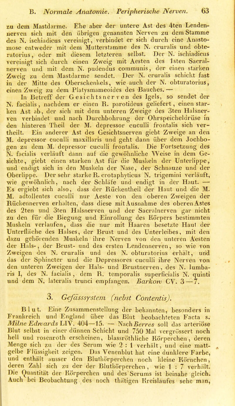 KU dem Mastdarme. Ehe aber der untere Ast des 4ten Lenden- nerveii sich mit den übrigen genannten Nerven zu dem Stamme des N. ischiadicus vereinigt, verbindet er sich durch eine Anasto- mose entweder mit dem Mutterstamme des N. cruralis und obte- ratorius, oder mit diesem letzteren selbst. Der N. ischiadicus vereinigt sich durch einen Zweig mit Aesten des Isten Sacral- nerven und mit dem N. pudendus communis, der einen starken Zweig zu dem Mastdarme sendet. Der N. cruralis schickt fast in der Milte des Oberschenkels, wie auch der N. obturatorius, einen Zweig zu dem Platysmameoides des Bauches. — In Betreff der Gesichtsner ven des Igels, so sendet der N. facialis, nachdem er einen R. parotideus geliefert, einen star- ken Ast ab, der sich mit dem unteren Zweige des 3ten Halsner- ven verbindet und nach Durchbohrung der Ohrspeicheldrüse in den hinteren Theil der M. depressor cuculli frontalis sich ver- theilt. Ein anderer Ast des Gesichtsnerven giebt Zweige an den M. depressor cuculli maxillaris und geht dann über dem Jochbo- gen zu dem M. depressor cuculli frontalis. Die Fortsetzung des N. facialis verläuft dann auf die gewöhnliche Weise in dem Ge- sichte, giebt einen starken Ast für die Muskeln der Unterlippe, und endigt sich in den Muskeln der Nase, der Schnauze und der Oberlippe. Der sehr starke R. crotaphyticus N. trigemini verläuft, wie gewöhnlich, nach der Schläfe und endigt in der Haut. — Es ergiebt sich also, dass der Rückentheil der Haut und die M. M. adtollentes cuculli nur Aeste von den oberen Zweigen der Rückennerven erhalten, dass diese mit Ausnahme des oberen Astes des 2ten und 3ten Halsnerven und der Sacralnerven gar nicht zu den für die Biegung und Einrollung des Körpers bestimmten Muskeln verlaufen, dass die nur mit Haaren besetzte Haut der ünterfläche des Halses, der Brust und des Unterleibes, mit den dazu gehöienden Muskeln ihre Nerven von den unteren A'esten der Hals-5 der Brust- und des ersten Lendennerven, so wie von Zweigen des N. cruralis und des N. obturatorius erhält, urid das der Sphincter und die Depressores cuculli ihre Nerven von den unteren Zweigen der Hals- und Brustnerven, des N. lumba- ris I, des N. facialis , dem R. temporalis superficialis N. quinti und dem N. lateralis trunci empfangen. Barkonj CV. 3—7. 3. Gefässsystem (nebst Contentis). Blut. Eine Zusammenstellung der bekannten, besonders in Frankreich und England über das Blut beobachteten Facta s. Milne Edwards lÄY. 404—15. — Nachße/re* soll das arteriöse Blut selbst in einer dünnen Schicht und 750 Mal vergrüssert noch hell und rosenroth erscheinen, blassröthliche Körperchen, deren Menge sich ^u der des Serum wie 2 : 1 verhält, und eine matt- gelbe Flüssigkeit zeigen. Das Venenblut hat eine dunklere Farbe, imd enthält ausser den Blutkörperchen noch kleine Körnchen, deren Zahl sich zu der der Blutkörperchen, wie 1 : 7 verhält. Die Quantität der Körperchen und des Serums ist beinahe gleich. Auch bei Beobachtung des noch thätigen Kreislaufes sehe man,