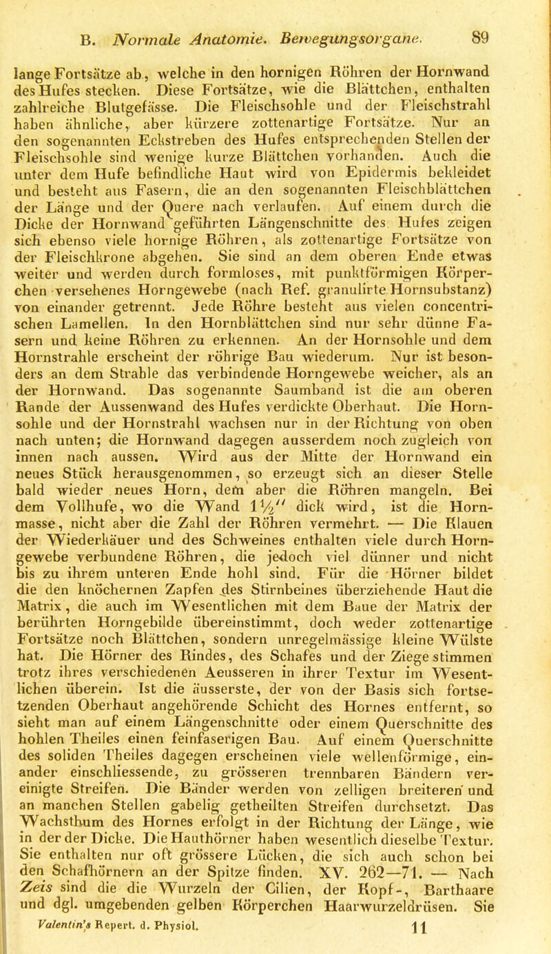 lange Fortsätze ab, welche in den hornigen Röhren der Hornwand des Hufes stecken. Diese Fortsätze, wie die Blättchen, enthalten zahlreiche Blutgefässe. Die Fleischsohle und der Fleischstrahl haben ähnliche, aber kürzere zottenartige Fortsätze. Nur an den sogenannten Eckstreben des Hufes entsprechenden Stellen der Fleisehsohle sind wenige kurze Blättchen vorhanden. Auch die unter dem Hufe befindliche Haut wird von Epidermis bekleidet und besteht aus Fasern, die an den sogenannten Fleischblättchen der Länge und der Quere nach verlaufen. Auf einem durch die Dicke der Hornwand geführten Längenschnitte des Hufes zeigen sich ebenso viele hornige Röhren, als zottenartige Fortsätze von der Fleischkrone abgehen. Sie sind an dem oberen Ende etwas welter und werden durch formloses, mit pvmktförmigen Körper- chen versehenes Horngewebe (nach Ref. granulirte Hornsubstanz) von einander getrennt. Jede Rohre besieht aus vielen concentri- schen Lamellen. In den Hornblüttchen sind nur sehr dünne Fa- sern und keine Röhren zu erkennen. An der Hornsohle und dem Hoi'nstrahle erscheint der röhrige Bau wiederum. Nur ist beson- ders an dem Strahle das verbindende Horngewebe weicher, als an der Hornwand, Das sogenannte Saumband ist die am oberen Rande der Aussenwand des Hufes verdickte Oberhaut. Die Horn- sohle und der Hornstrahl wachsen nur in der Richtung von oben nach unten; die Hornwand dagegen ausserdem noch zugleich von innen nach aussen. Wird aus der Mitte der Hornwand ein neues Stück herausgenommen, so erzeugt sich an dieser Stelle bald wieder neues Horn, derti aber die Röhren mangeln. Bei dem Vollhufe, wo die Wand IV2 dick wird, ist die Horn- masse, nicht aber die Zahl der Röhren vermehrt. — Die Klauen der Wiederliäuer und des Schweines enthalten viele durch Horn- gewebe verbundene Röhren, die jedoch viel dünner und nicht bis zu ihrem unleren Ende hohl sind. Für die 'Horner bildet die den knöchernen Zapfen ^es Stirnbeines überziehende Haut die Matrix, die auch im Wesentlichen mit dem Baue der Matrix der berülirten Horngebilde übereinstimmt, doch weder zottenartige Fortsätze noch Blättchen, sondern unregelmässige kleine Wülste hat. Die Hörner des Rindes, des Schafes und der Ziege stimmen trotz ihres verschiedenen Aeusseren in ihrer Textur im Wesent- lichen überein. Ist die äusserste, der von der Basis sich fortse- tzenden Oberhaut angehörende Schicht des Hornes entfernt, so sieht man auf einem Längenschnitte oder einem Querschnitte des hohlen Theiles einen feinfaserigen Bau. Auf einem Querschnitte des soliden Theiles dagegen erscheinen viele wellenförmige, ein- ander einschliessende, zu grösseren trennbaren Bändern ver- einigte Streifen. Die Bänder werden von zelligen breiteren und an manchen Stellen gabelig getheilten Streifen durchsetzt. Das Wachslbum des Hornes erfolgt in der Richtung der Länge, wie in der der Dicke, Die Hauthörner haben wesentlich dieselbe Textur. Sie enthalten nur oft grössere Lücken, die sich auch schon bei den Schafhörnern an der Spitze finden, XV. 2Ö2—71. — Nach Zeis sind die die Wurzeln der Cilien, der Kopf-, Barthaare und dgl. umgehenden gelben Körperchen Haarwurzeldrüsen. Sie Valentin'« Repei-l. d. Physiol. '[ \