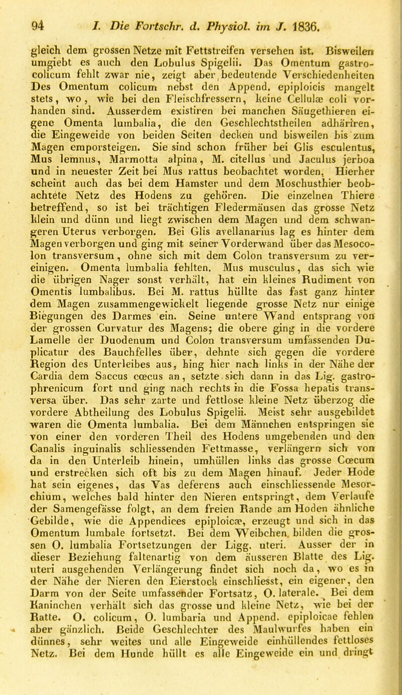 gleich dem grossen Netze mit Fettstreifen versehen ist. Bisweilen umgiebt es auch den Lobulus Spigelii. Das Omentum gastro- colicum fehlt zwar nie, zeigt aber,bedeutende Verschiedenheiten Des Omentum coHcum nebst den Append. epiploicis mangelt stets, wo, wie bei den Fleischfressern, keine Celiulaj coli vor- handen sind. Ausserdem existiren bei manchen Säugethieren ei- gene Omenta lumbalia, die den Geschlechtstheilen adhäriren, die Eingeweide von beiden Seiten decken und bisweilen bis zum Magen emporsteigen. Sie sind schon früher bei Glis esculentus, Mus lemnus, Marraotta alpina, M. citellus und Jaculus jerboa und in neuester Zeit bei Mus rattus beobachtet worden, Hierher scheint auch das bei dem Hamster und dem Moschusthier beob- achtete Netz des Hodens zu gehören. Die einzelnen Thiere betreffend, so ist bei trächtigen Fledermäusen das grosse Netz klein und dünn und Hegt zwischen dem Magen und dem schwan- geren Uterus verborgen. Bei Glis avellanarius lag es hinter dem Magen verborgen und ging mit seiner Vorderwand über das Mesoco- lon transversum, ohne sich mit dem Colon transversum zu ver- einigen. Omenta lumbalia fehlten. Mus musculus, das sich wie die übrigen Nager sonst verhält, hat ein kleines Rudiment von Omentis lumbalibus. Bei M. rattus hüllte das fast ganz hinter dem Magen zusammengewickelt liegende grosse Netz nur einige Biegungen des Darmes ein. Seine untere Wand entsprang von der grossen Curvatur des Magens; die obere ging in die vordere Lamelle der Duodenum und Colon transversum umfassenden Du- plicatur des Bauchfelles über, dehnte sich gegen die vordere Region des Unterleibes aus, hing hier nach links in der Nähe der Cardia dem Saccus coecus an, setzte sich dann in das Lig. gastro- phrenicum fort und ging nach rechts in die Fossa hepatis trans- versa über. Das sehr zarte und fettlose kleine Netz überzog die vordere Abtheilung des Lobulus Spigelii. Meist sehr ausgebildet ■waren die Omenta lumbalia. Bei dem Männchen entspringen sie von einer den vorderen Theil des Hodens umgebenden und den Canalis inguinalis schliessenden Fettmasse, verlängern sich von da in den Unterleib hinein, umhüllen links das grosse Ccecum und erstrecken sich oft bis zu dem Magen hinauf. Jeder Hode hat sein eigenes, das Vas deferens auch elnschliessende Mesor- chium, welches bald hinter den Nieren entspringt, dem Verlaufe der Samengefässe folgt, an dem freien Rande am Hoden ähnliche Gebilde, wie die Appendices epiploicap, erzeugt und sich in das Omentum lumbale fortsetzt. Bei dem VVeibchen. bilden die gros- sen 0. lumbalia Fortsetzungen der Ligg. uteri. Ausser der in dieser Beziehung faltenartig von dem äusseren Blatte des Lig. uteri ausgehenden Verlängerung findet sich noch da, wo es m der Nähe der Nieren den Eierstock einschliesst, ein eigener, den Darm von der Seite umfassender Fortsatz, O. laterale. ^ Bei dem Kaninchen verhält sich das grosse und kleine Netz, wie bei der Ratte. O. colicura, 0. lumbaria und Append. epiploicae fehlen ^ aber gänzlich. Beide Geschlechter des Maulwurfes haben ein dünnes, sehr weites und alle Eingeweide einhüllendes fettloses Netz. Bei dem Hunde hüllt es alle Eingeweide ein und dringt