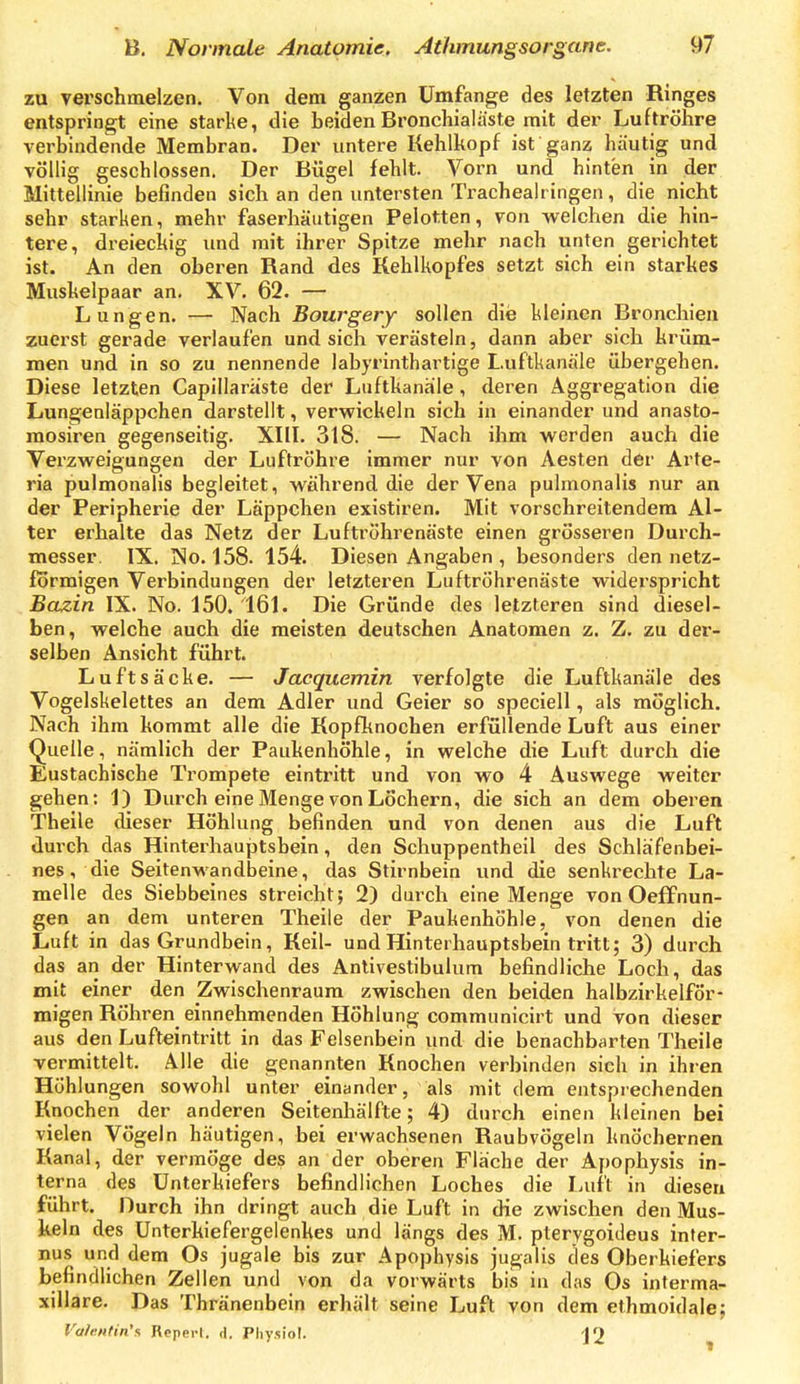 zu verschmelzen. Von dem ganzen Umfange des letzten Ringes entspringt eine starke, die beidenBronchialiiste mit der Luftröhre verbindende Membran. Der untere Kehlkopf ist ganz häutig und völlig geschlossen. Der Bügel fehlt. Vorn und hinten in der Mittellinie befinden sich an den untersten Tracheairingen, die nicht sehr starken, mehr faserhäutigen Pelotten, von welchen die hin- tere, dreieckig und mit ihrer Spitze mehr nach unten gerichtet ist. An den oberen Rand des Kehlkopfes setzt sich ein starkes Muskelpaar an. XV. 62. — Lungen. — Nach Bourgery sollen die kleinen Bronchien zuerst gerade verlaufen und sich verästeln, dann aber sich krüm- men und in so zu nennende labyrinthartige Luftkanäle übergehen. Diese letzten Capillaraste der Luftkanäle, deren Aggregation die Lungenläppchen darstellt, verwickeln sich in einander und anasto- mosiren gegenseitig. XIII. 318. — Nach ihm werden auch die Verzweigungen der Luftröhre immer nur von Aesten der Arte- ria pulmonalis begleitet, während die der Vena pulmonalis nur an der Peripherie der Läppchen existiren. Mit vorschreitendem Al- ter erhalte das Netz der Luftröhrenäste einen grösseren Durch- messer. IX. No. 158. 154. Diesen Angaben , besonders den netz- förmigen Verbindungen der letzteren Luftröhrenäste widerspricht Bazin IX. No. 150. 161. Die Gründe des letzteren sind diesel- ben, welche auch die meisten deutschen Anatomen z. Z. zu der- selben Ansicht führt. Luftsäcke. — Jaequemin verfolgte die Luftkanäle des Vogelskelettes an dem Adler und Geier so speciell, als möglich. Nach ihm kommt alle die Kopfknochen erfüllende Luft aus einer Quelle, nämlich der Paukenhöhle, in welche die Luft durch die Eustachische Trompete eintritt und von wo 4 Auswege weiter gehen: 1) Durch eine Menge von Löchern, die sich an dem oberen Theile dieser Höhlung befinden und von denen aus die Luft durch das Hinterhauptsbein, den Schuppentheil des Schläfenbei- nes, die Seitenwandbeine, das Stirnbein und die senkrechte La- melle des Siebbeines streicht; 2) durch eine Menge von Oeffnun- gen an dem unteren Theile der Paukenhöhle, von denen die Luft in das Grundbein, Keil- und Hinterhauptsbein tritt; 3) durch das an der Hinterwand des Antivestibulum befindliche Loch, das mit einer den Zwischenraum zwischen den beiden halbzirkelför- migen Röhren einnehmenden Höhlung communicirt und von dieser aus den Lufteintritt in das Felsenbein und die benachbarten Theile vermittelt. Alle die genannten Knochen verbinden sich in ihren Höhlungen sowohl unter einander, als mit dem entsprechenden Knochen der anderen Seitenhälfte; 4) durch einen kleinen bei vielen Vögeln häutigen, bei erwachsenen Raubvögeln knöchernen Kanal, der vermöge des an der oberen Fläche der Apophysis in- terna des Unterkiefers befindlichen Loches die luift in diesen führt. Durch ihn dringt auch die Luft in die zwischen den Mus- keln des Unterhiefergelenkes und längs des M. pterygoideus inter- nus und dem Os jugale bis zur Apophysis jugalis des Oberkiefers befindlichen Zellen und von da vorwärts bis in das Os interma- xillare. Das Thränenbein erhält seine Luft von dem ethmoidale; Valentin's Repei-I. d. Physiol. J2