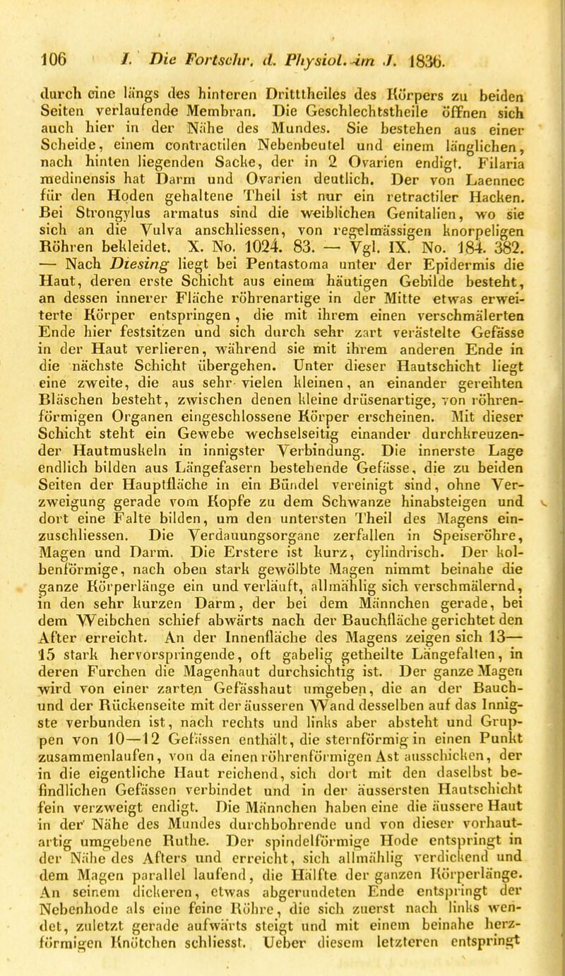durch eine längs des hinteren Dritttheiles des Körpers zu beiden Seiten verlaufende Membran. Die Geschlechtsthcile öffnen sich auch hier in der Nahe des Mundes. Sie bestehen aus einer Scheide, einem contractilen Nebenbeutel und einem länglichen, nacli hinten liegenden Sacke, der in 2 Ovarien endigt. Filaria medinensis hat Darm und Ovarien deutlich. Der von Laennec für den Hoden gehaltene Theil ist nur ein retractiler Hacken. Bei Strongylus armalus sind die weiblichen Genitalien, wo sie sich an die Vulva anschliessen, von regelmässigen knorpeligen Röhren bekleidet. X. No. 1024. 83. — Vgl. IX. No. 184. 382. — Nach Diesing liegt bei Pentastoma unter der Epidermis die Hant, deren erste Schicht aus einem häutigen Gebilde besteht, an dessen innerer Fläche röhrenartige in der Mitte etwas erwei- terte Körper entspringen, die mit ihrem einen verschmälerten Ende hier festsitzen und sich durch sehr zart verästelte Gefasse in der Haut verlieren, während sie mit ihrem anderen Ende in die nächste Schicht übergehen. Unter dieser Hautschicht liegt eine zweite, die aus sehr vielen kleinen, an einander gereihten Bläschen besteht, zwischen denen kleine drüsenartige, von röhren- förmigen Organen eingeschlossene Körper erscheinen. Mit dieser Schicht steht ein Gewebe wechselseitig einander durchkreuzen- der Hautmuskeln in innigster Verbindung. Die innerste Lage endlich bilden aus Längefasern bestehende Gefässe, die zu beiden Seiten der Hauptfläche in ein Bündel vereinigt sind, ohne Ver- zweigung gerade vom Kopfe zu dem Schwänze hinabsteigen und dort eine Falte bilden, um den untersten Theil des Magens ein- zuschliessen. Die Verdauungsorgane zerfallen in Speiseröhre, Magen und Darm. Die Erstere ist kurz, cylindrisch. Der kol- benförmige, nach oben stark gewölbte Magen nimmt beinahe die ganze Körperlänge ein und verläuft, allraählig sich verschmälernd, in den sehr kurzen Darm, der bei dem Männchen gerade, bei dem VVeibchen schief abwärts nach der Bauchfläche gerichtet den After erreicht. An der Innenfläche des Magens zeigen sich 13— 15 stark hervorspringende, oft gabelig getheilte Längefalten, in deren Furchen die Magenhaut durchsichtig ist. Der ganze Magen wird von einer zartexi Gefässhaut umgebep, die an der Bauch- und der Rückenseite mit der äusseren VVand desselben auf das Innig- ste verbunden ist, nach rechts und links aber absteht und Grup- pen von 10—12 Gefässen enthält, die sternförmig in einen Punkt zusammenlaufen, von da einenröhrenföi-migen Ast ausschicken, der in die eigentliche Haut reichend, sich dort mit den daselbst be- findlichen Gefässen verbindet und in der äussersten Hautschicht fein verzweigt endigt. Die Männchen haben eine die äussere Haut in der' Nähe des Mundes durchbohrende und von dieser vorhaut- artig umgebene Ruthe. Der spindelförmige Hode entspringt in der Nähe des Afters und erreicht, sich allmählig verdickend und dem Magen parallel laufend, die Hälfte der ganzen Körperlänge. An seinem dickeren, etwas abgerundeten Ende entspringt der Nebenhode als eine feine Röhre, die sich zuerst nach links wen- det, zuletzt gerade aufwärts steigt und mit einem beinahe herz- förmigen Knötchen schliesst. Ueber diesem letzteren entspringt