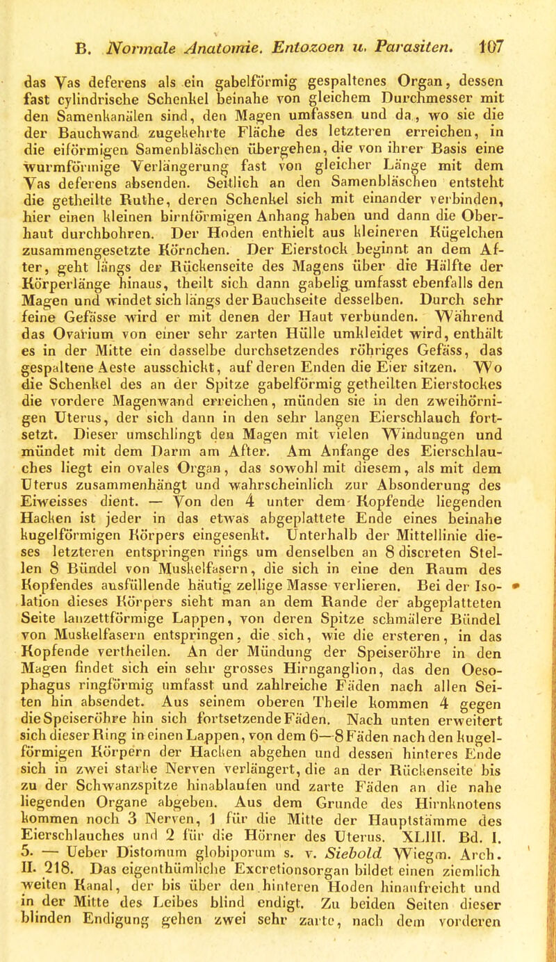 das Vas deferens als ein gabelförmig gespaltenes Organ, dessen fast cylindrische Schenkel beinahe von gleichem Durchmesser mit den SamenUanälen sind, den Magen umfassen und da, wo sie die der Bauchwand zugekehrte Fläche des letzteren erreichen, in die eiförmigea Samenbläschen übergehen, die von ihrer Basis eine wurmforuiige Verlängerung fast von gleicher Länge mit dem Vas deferens absenden. Seitlich an den Samenbläschen entsteht die getheilte Ruthe, deren Schenkel sich mit einander veibinden, hier einen kleinen birnformigen Anhang haben und dann die Ober- haut durchbohren. Der Hoden enthielt aus kleineren Kügelchen zusammengesetzte Körnchen. Der Eierstock beginnt an dem Af- ter, geht längs der Rückenseite des Magens über dre Hälfte der Körperlänge hinaus, theilt sich dann gabelig umfasst ebenfalls den Magen und windet sich längs der Rauchseite desselben. Durch sehr feine Gefässe wird er mit denen der Haut verbunden. Während das Ovarium von einer sehr zarten Hülle umkleidet wird, enthält es in der Mitte ein dasselbe durchsetzendes röhriges Gefäss, das gespaltene Aeste ausschickt, auf deren Enden die Eier sitzen. Wo die Schenkel des an der Spitze gabelförmig getheilten Eierstockes die vordere Magenwand erreichen, münden sie in den zweihörni- gen Uterus, der sich dann in den sehr langen Eierschlauch fort- setzt. Dieser umschlingt den Magen mit vielen W^indungen und mündet mit dem Darm am After. Am Anfange des Eierschlau- ches liegt ein ovales Organ, das sowohl mit diesem, als mit dem Uterus zusammenhängt und wahrscheinlich zur Absonderung des Eiweisses dient. — Von den 4 unter dem Kopfende liegenden Hacken ist jeder in das etwas abgeplattete Ende eines beinahe kugelförmigen Körpers eingesenkt. Unterhalb der Mittellinie die- ses letzteren entspringen riiigs um denselben an 8 disci'eten Stel- len 8 Bündel von Muskelfasern, die sich in eine den Raum des Kopfendes ausfüllende häutig zellige Masse verlieren. Bei der Iso- lation dieses Körpers sieht man an dem Rande der abgeplatteten Seite lanzettförmige Lappen, von deren Spitze schmälere Ründel von Muskelfasern entspringen, die sich, wie die ersteren, in das Kopfende vertheilen. An der Mündung der Speiseröhre in den Magen findet sich ein sehr grosses Hirnganglion, das den Oeso- phagus ringförmig umfasst und zahlreiche Fäden nach allen Sei- ten hin absendet. Aus seinem oberen Theile kommen 4 gegen die Speiseröhre hin sich fortsetzende Fäden. Nach unten erweitert sich dieser Ring in einen Lappen, von dem 6—8 Fäden nach den kugel- förmigen Körpern der Hacken abgehen und dessen hinteres Ende sich in zwei starke Nerven verlängert, die an der Rückenseite bis zu der Schwanzspitze hinablaufen und zarte Fäden an die nahe liegenden Organe abgeben. Aus dem Grunde des Hirnknotens kommen noch 3 Nerven, 1 für die Mitte der Hauptstämme des Eierschlauches und 2 für die Hörner des Uterus. XLllI. Bd. I. 5. — Ueber Distomum globiporum s. v. Siebold Wiegm. Arch. II- 218. Das eigenthümliche Excretionsorgan bildet einen ziemlich weiten Kanal, der bis über den hinteren Hoden hinaufreicht und in der Mitte des Leibes blind endigt. Zu beiden Seiten dieser blinden Endigung gehen zwei sehr zarte, nach dem vorderen