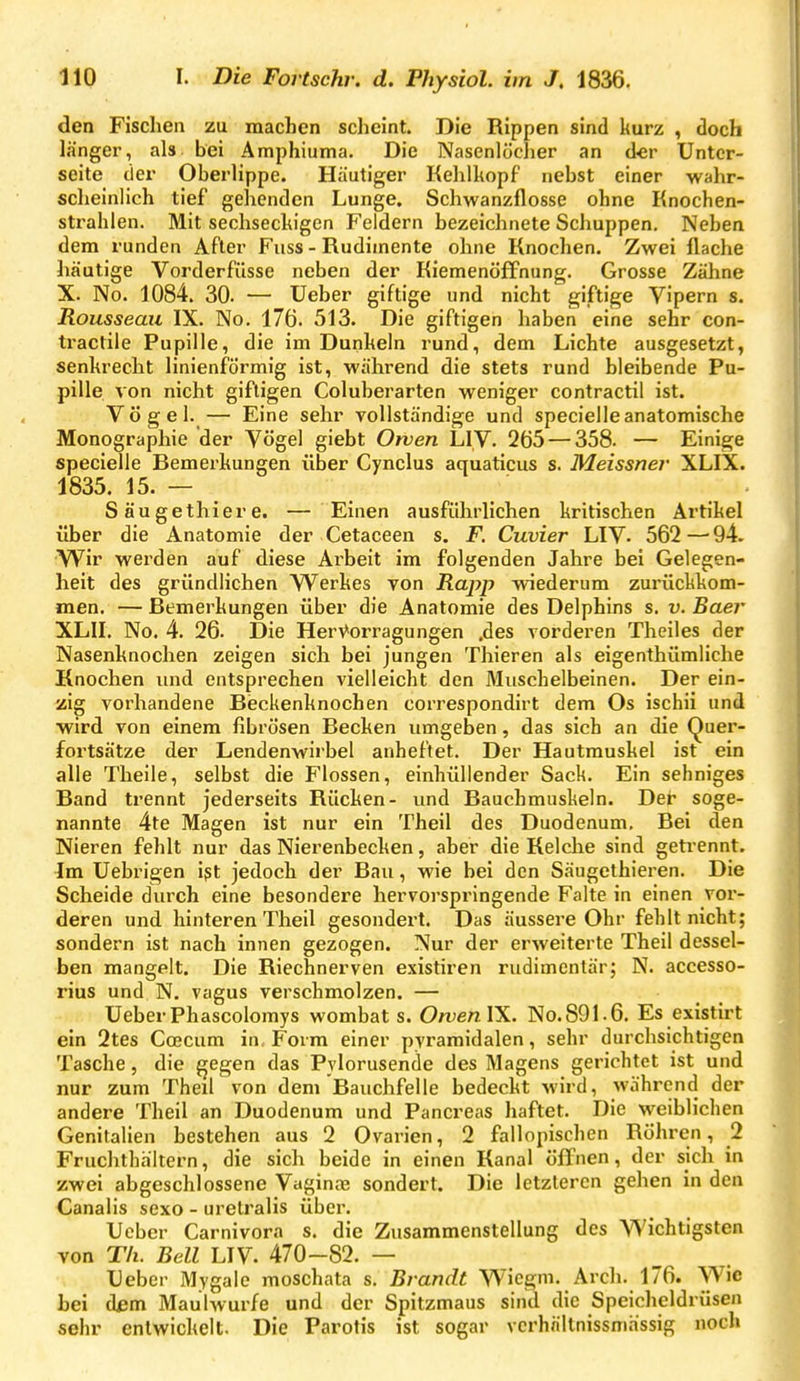 den Fischen zu machen scheint. Die Rippen sind kurz , doch länger, als. bei Amphiuma. Die Nasenlöcher an der Unter- seite der Oberlippe. Häutiger Kehlkopf nebst einer wahr- scheinlich tief gehenden Lunge. Schwanzflosse ohne Knochen- strahlen. Mit sechseckigen Feldern bezeichnete Schuppen. Neben dem runden After Fuss - Rudimente ohne Knochen. Zwei flache häutige Vorderfüsse neben der Kiemenöffnung. Grosse Zähne X. No. 1084. 30. — lieber giftige und nicht giftige Vipern s. Rousseau IX. No. 176. 513. Die giftigen haben eine sehr con- tractile Pupille, die im Dunkeln rund, dem Lichte ausgesetzt, senkrecht linienförmig ist, während die stets rund bleibende Pu- pille von nicht giftigen Coluberarten weniger contractil ist. Vögel. — Eine sehr vollständige und specielleanatomische Monographie der Vögel giebt Owen LIV. 265 — 358. — Einige specielle Bemerkungen über Cynclus aquaticus s. Meissner XLIX. 1835. 15. — Säugethiere. — Einen ausführlichen kritischen Artikel über die Anatomie der Cetaceen s. F. Cuvier LIV. 562—94. Wir werden auf diese Arbeit im folgenden Jahre bei Gelegen- heit des gründlichen VVerkes von Rapp wiederum zurückkom- men. — Bemerkungen über die Anatomie des Delphins s. v. Baer XLII. No. 4. 26. Die HerVorragungen .des vorderen Theiles der Nasenknochen zeigen sich bei jungen Thieren als eigenthümliche Knochen und entsprechen vielleicht den Äluschelbeinen. Der ein- zig vorhandene Beckenknochen correspondirt dem Os ischii und wird von einem fibrösen Becken umgeben, das sich an die Quer- fortsätze der Lendenwirbel anheftet. Der Hautmuskel ist ein alle Theile, selbst die Flossen, einhüllender Sack. Ein sehniges Band trennt jederseits Rücken- und Bauchmuskeln. Der soge- nannte 4te Magen ist nur ein Theil des Duodenum, Bei den Nieren fehlt nur das Nierenbecken, aber die Kelche sind geti-ennt. Im Uebrigen ißt jedoch der Bau, wie bei den Säugethieren. Die Scheide durch eine besondere hervorspringende Falte in einen vor- deren und hinteren Theil gesondert. Das äussere Ohr fehlt nicht; sondern ist nach innen gezogen. Nur der erweiterte Theil dessel- ben mangelt. Die Riechnerven existiren rudimentär; N. accesso- rius und N. vagus verschmolzen, — UeberPhascolomys wombat s. OwenVS.. No.891.6. Es existirt ein 2tes Ccecum in. Form einer pyramidalen, sehr durchsichtigen Tasche , die gegen das Pylorusende des Magens gerichtet ist und nur zum Theil von dem Bauchfelle bedeckt wird, während der andere Theil an Duodenum und Pancreas haftet. Die weiblichen Genitalien bestehen aus 2 Ovarien, 2 fallopischen Röhren, 2 Fruchthältern, die sich beide in einen Kanal öfTnen, der sich in zwei abgeschlossene Vaginte sondert. Die letzteren gehen in den Canalis sexo - uretralis über. Ueber Carnivora s. die Zusammenstellung des VN'ichtigsten von Th. Bell LIV. 470-82. — Ueber Mygale moschata s. Brandt VVicgm. Arch. 176. Wie bei d£m Maulwurfe und der Spitzmaus sind die Speicheldrüsen sehr entwickelt. Die Parotis ist sogar vcrhnitnissmässig noch