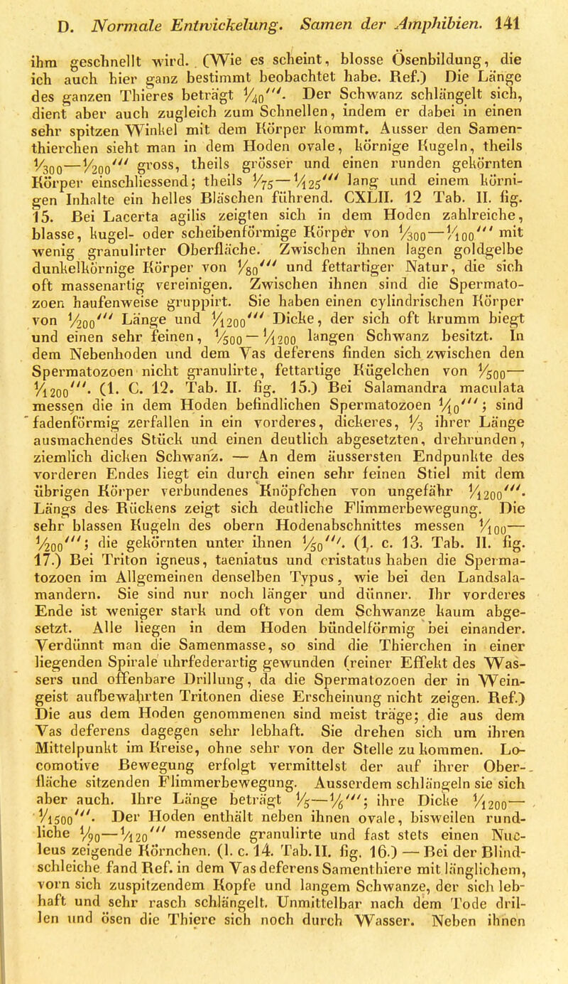 ihm geschnellt wird. , (Wie es scheint, blosse Ösenbildung, die ich auch hier ganz bestimmt beobachtet habe. Ref.) Die Länge des ganzen Thieres betragt ^40'. Der Schwanz schlängelt sich, dient aber auch zugleich zum Schnellen, indem er dabei in einen sehr spitzen Winkel mit dem Körper kommt. Ausser den Saroen- thierchen sieht man in dem Hoden ovale, körnige Kugeln, theils l/gpjj—V200' gross, theils grösser und einen i^unden gekörnten Körper einschliessend; theils V75—1^^ d einem körni- gen Inhalte ein helles Bläschen führend. CXLII. 12 Tab. II. fig. 15. Bei Lacerta agilis zeigten sich in dem Hoden zahlreiche, blasse, kugel- oder scheibenförmige Körpdr von V300 — Koo' ™t wenig granulirter Oberfläche. Zwischen ihnen lagen goldgelbe dunkelkörnige Körper von Vgo' d fettartiger Natur, die sich oft massenartig vereinigen. Zwischen ihnen sind die Spermato- zoen haufenweise griippirt. Sie haben einen cylindrischen Körper von V200' Länge und ^1200' Dicke, der sich oft krumm biegt und einen sehr feinen, V^oo —Vi20O langen Schwanz besitzt. In dem Nebenhoden vmd dem Vas deferens finden sich zwischen den Spermatozoen nicht granulirte, fettartige Kügelchen von ^500— ^200'- Cl. C. 12. Tab. II. fig. 15.) Bei Salamandra maculata messen die in dem Hoden befindlichen Spermatozoen V{q^'<> sind fadenförmig zerfallen in ein vorderes, dickeres, V3 ihrer Länge ausmachendes Stück und einen deutlich abgesetzten, drehrunden, ziemlich dicken Schwanz. — An dem äussersten Endpunkte des vorderen Endes liegt ein durch einen sehr feinen Stiel mit dem übrigen Körper verbundenes Knöpfchen von ungefähr yi2oo'* Längs des Rückens zeigt sich deutliche Flimmerbewegung. Die sehr blassen Kugeln des obern Hodenabschnittes messen Viqq— ^/ioo'' ^^^^ gekörnten unter ihnen Vso^. (1,. c. 13. Tab. II. fig. 17.) Bei Triton igneus, taeniatus und cristatus haben die Sperma- tozoen im Allgemeinen denselben Typus, wie bei den Landsala- mandern. Sie sind nur noch länger und dünner. Ihr vorderes Ende ist weniger stark und oft von dem Schwänze kaum abge- setzt. Alle liegen in dem Hoden bündelfÖrmig bei einander. Verdünnt man die Samenmasse, so sind die Thierchen in einer liegenden Spirale uhrfederartig gewunden (reiner Effekt des Was- sers und offenbare Drillung, da die Spermatozoen der in Wein- geist aufbewahrten Tritonen diese Erscheinung nicht zeigen. Ref.) Die aus dem Hoden genommenen sind meist träge; die aus dem Vas deferens dagegen sehr lebhaft. Sie drehen sich um ihren Mittelpunkt im Kreise, ohne sehr von der Stelle zu kommen. Lo- comotive Bewegung erfolgt vermittelst der auf ihrer Ober-, fläche sitzenden Flimmerbewegung. Ausserdem schlängeln sie sich aber auch. Ihre Länge beträgt V5—Vö'; ihre Dicke V1200— Visoo'' ßei' Hoden enthält neben ihnen ovale, bisweilen rund- liche V90—Vi 20' messende granulirte und fast stets einen Nuß- leus zeigende Körnchen. (1. c. 14. Tab.II. fig. 16.) — Bei der Blind- schleiche fand Ref. in dem Vas deferens Samenthiere mit länglichem, vorn sich zuspitzendem Kopfe und langem Schwänze, der sich leb- haft und sehr rasch schlängelt. Unmittelbar nach dem Tode dril- len und Ösen die Thiere sich noch durch Wasser. Neben ihnen