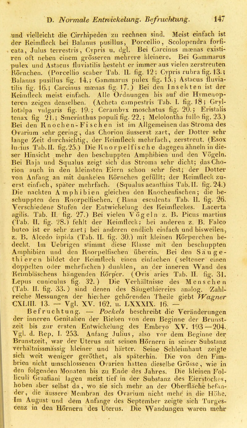 und vielleicht die Cirrhipeden zu rechnen sind. Meist einfach ist der Keimfleck hei Baianus pusillus, Porcellio, Scolopondra forfi- cata, Julus terrestris, Cypris u. dgl. Bei Carcinus maenas existi- ren oft neben einem grösseren mehrere kleinere. Bei Gammarus pulex und Astacus fluviatilis besteht er immer aus vielen zerstreuten Körnchen. (Porcellio scaber Tab. II. fig. 12; Cypris rubra fig. 13.; Baianus pusillus fig. 14.; Gammarus pulex fig. 15.; Astacus fluvia- tilis fiff. 16.; Carcinus macnas fig. 17.) Bei den Insekten ist der Keimileck meist einfach. Alle Ordnungen bis auf die Hvmenop- teren zeigen denselben. (Acheta campestris Tab. I. fig. 18; Gryl- lotalpa vulgaris fig. 19.; Cerambvx moschatus fig. 20.; Eristalis tenax fig 21.; Smerinthus populi fig. 22.; Melolontha fnllo fig, 23.) Bei den R noche n-Fi sch en ist im Allgemeinen das Slroma des Ovarium sehr gering, das Chorion äusserst zart, der Dotter sehr lange Zeit durchsichtig, der Keimfleck mehrfach, zerstreut. (Esox lu'ius Tab. II. fig.25.) Die Knorpelfische dagegen ahnein in die- ser Hinsicht mehr den beschuppten Amphibien und den Vögeln. Bei Kaja und Squalus zeigt sich das Stroma sehr dicht; das Cho- rion auch in den kleinsten Eiern schon sehr fest; der Dotter von Anfang an mit dunkelen Körnchen gefüllt; der Keimfleck zu- erst einfach, spater mehrfach. (SqiialusacanthiasTab.il. fig. 24.) Die nackten Amphibien gleichen den Knochenfischen; die be- schuppten den Knorpelfischen. (Rana esculenta Tab. II. fig. 2!6. Verschiedene Stufen der Entwickelung des Keimfleckes. Lacerta a'gilis. Tab. II. fig. 27.) Bei vielen Vögeln z. B. Picus martius (Tab. II. fig. 'i8.) fehlt der Keimfleck; bei anderen z. B. Falco buteo ist er sehr zart; bei anderen endlich einfach und bisweilen, z. B. AIcedo ispida (Tab. II. fig. 30.) mit kleinen Körperchen be- deckt. Im Uebrigen stimmt diese Klasse mit den beschuppten Amphibien und den Knorpelfischen überein. Bei den Säuge- thieren bildet der Keimfleck einen einfachen (seltener einen doppelten oder mehrfachen) dunklen, an der inneren Wand des Keimbläschens hängenden Körper. (Ovis aries Tab. II. fig. 31. Lepus cuniculus fig. 32.) Die Verhältnisse des Menschen (Tab. II. fig. 33.) sind denen des Säugethiereies analog. Zahl- reiche Messungen der hierher gehörenden Theile giebt Wagner CXLIII. 13. — Vgl. XV. 162. u. LXXXIX. 16. — Befruchtung. — Pockels beschreibt die Veränderungen der inneren Genitalien der Ricken von dem Beginne der Brunst- zeit bis zur ersten Entwickelung des Embryo XV. 193—204., Vgl. d. Rep. I. 253. Anfang Julius, also vor dem Beginne der Brunstzeit, war der Uterus mit seinen Hörnern in seiner Substanz verhältnissmassig kleiner und härter. Seine Schleimhaut zeigte sich -weit weniger geröthet, als späterhin. Die von den Fim- brien nicht umschlossenen Ovarien hatten dieselbe Grösse , wie in den folgenden Monaten bis zu Ende des Jahres. Die kleinen Fol- liculi Graafiani lagen meist tief in der Substanz des Eierstockes, hoben aber selbst da , wo sie sich mehr an der Oberfläche befan- der, die äussere Membran des Ovarium nicht meht' in die Hübe. Im August und dem Anfange des September zeigte sich Turges- cenz in den Hörnern des Uterus. Die Wandungen waren mehr
