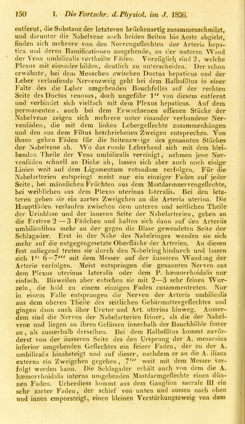entfernt, die Substanz der letzteren brücltenartig zusammenschmilzt^ und darunter die Nabelvene n;ich beiden Seiten hin Acste abf^iebt, linden sich mehrere von den Nervengeüechlen der Arteria hepa- tica und deren Ramificatinnen ausgehende, an der unteren Wand der V^«na umbilicalis vertheille Faden. Vorzüglich sind 2, welche Plexus mit eiuftnder bilden, deutlich zu unterscheiden. Derschen erwähnte, bei dem Menschen zwischen Ductus hepaticus und der Leber verlaufende Nervenzweig geht bei dem Kalbsfotus ia einer Falte des die Leber umgebenden Bauchfelles auf der rechten Seite des Ductus venosus, doch ungefähr 1 von diesem entfernt und verbindet sich vielfach mit dem Plexus hepaticus. Auf dem permanenten, auch bei dem Erwachsenen offenen Stücke der Nabelvene zeigen sich mehrere unter einander verbundene Ner- venfäden, die mit dem linhen Lebergeflechte zusammenhängen und den aus dem Fötus beschriebenen Zweigen entsprechen. Von ihnen gehen Fäden für die Seitenzwt ige des genannten Stückes der Nabelvene ab. Wo das runde Leberband sich mit dem blei- benden Theile der Vena umbilicalis vereinigt, nehmen jene Ner- venfäden schnell an Dicke ab, lassen sich aber auch noch einige Linien weit auf dem Ligamentum rotundum verfolgen. Für die Nabelarterien entspringt meist nur ein einziger Faden auf jeder Seite, bei männlichen Früchten aus dem Mastdarmnervengeflechte, bei weiblichen aus dem Plexus uterinus lateralis. Bei den letz- teren geben sie ein zartes Zweigchen an die Arteria uterina. Die Hauptfäden verlaufen zwischen dem unteren und seitlichen Theile der ürinblase und der inneren Seite der Nabelarterien, geben an die Erstcre 2—3 Fädchen und halten sich dann auf den Arteriis umbilicalibus mehr an der gegen die Blase gewendeten Seite der Schlagader. Erst in der Nähe des Nabelringes wenden sie sich mehr auf die entgegengesetzte Oberfläche der Arterien. An diesen fest anliegend treten sie durch den Nabelring hindurch und lassen sieb 1'' 6—7' mit dem Messer auf der äusseren Wand mg der Arterie verfolgen. Meist entspringen die genannten Nerven aus dem Plexus uterinus lateralis oder dem P. hfemorrhoidalis nur einfach. Bisweilen aber entsehen sie mit 2—3 sehr feinen '^'^ur- zeln, die bald zu einem einzigen Faden zusammentreten. Nur in einem Falle entsprangen die Nerven der Arteria umbilicalis aus dem oberen Theile des seil liehen Gebärmuttergeflechtes und gingen dann auch über Ureter und Art. uterina hinweg. Ausser- dem sind die Nerven der Nabelarterien feiner, als die der Nabel- vene und liegen an ihren Gelassen innerhalb der Bauchhöhle fester an, als ausserhalb derselben. Bei dem Kalbsfölus kommt zuvör- derst von der äusseren Seite des den Ursprung der A. mesaraica inferior umgebenden Gellechtes ein feiner Faden, der zu der A. umbilicalis hinabsteigt und auf dieser, nachdem er an die A. iliaca externa ein Zweigchen gegeben , 1' Aveit mit dem Messer ver- folgt werden kann. Die Schlagader erhält auch von dem die A. hämorrhoidalis interna unigebenden Mastdarmgellechte einen dün- nen Faden. Üeberdiess hommt aus dem Ganglion sacrale HI ein sehr zarter Faden, der schief von unten und aussen nach oben und innen emporsteigt, einen kleinen Verstärkungszweig von dem