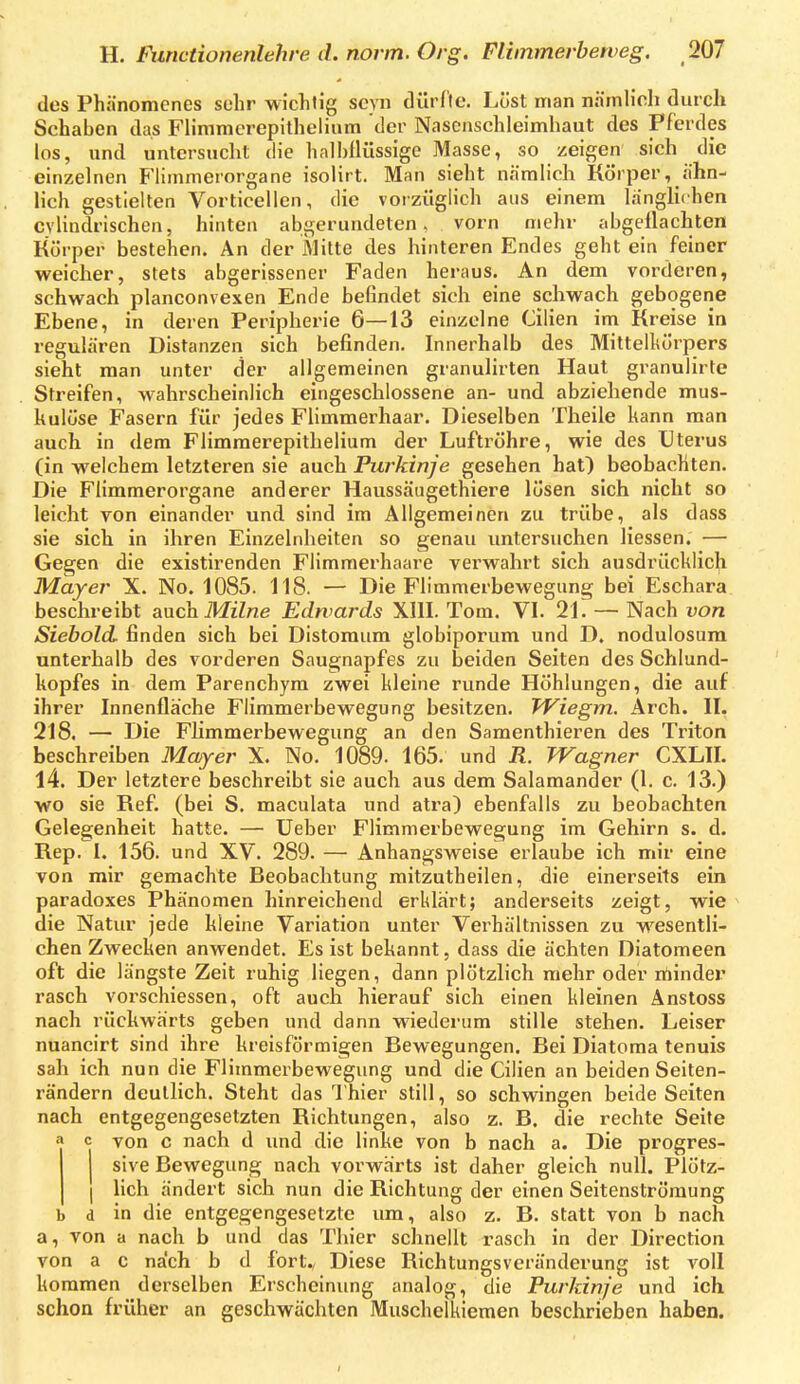 des Phänomenes sehr wichtig seyn dürfle. Lüst man nämlich durch Schaben das Flimmerepithelium der Nascnschleimhaut des Pferdes los, und untersucht die halhllüssige Masse, so zeigen sich die einzelnen F'limmerorgane isolirt. Man sieht nämlich Körper, ähn- lich gestielten Vorticellen, die vorzüglich aus einem länglichen cvlindrischen, hinten abgerundeten, vorn mehr abgeflachten Körper bestehen. An der Milte des hinteren Endes geht ein feiner weicher, stets abgerissener Faden heraus. An dem vorderen, schwach planconvexen Ende befindet sich eine schwach gebogene Ebene, in deren Peripherie 6—13 einzelne Cilien im Kreise in regulären Distanzen sich befinden. Innerhalb des Mittelkörpers sieht man unter der allgemeinen granulirten Haut granulirte Streifen, wahrscheinlich eingeschlossene an- und abziehende mus- kulöse Fasern für jedes Flimmerhaar. Dieselben Theile kann man auch in dem Flimmerepithelium der Luftröhre, wie des Uterus (in welchem letzteren sie auch Purkinje gesehen hat) beobachten. Die Flimmerorgane anderer Haussäugethiere lösen sich nicht so leicht von einander und sind im Allgemeinen zu trübe, als dass sie sich in ihren Einzelnheiten so genau untersuchen Hessen. — Gegen die existirenden Flimmerhaare verwahrt sich ausdrücklich Mayer X. No. 1085. 118. — Die Flimmerbewegung bei Eschara beschreibt auch ikfzZwe Edwards XIII. Tom. VI. 21. — Nach von Siebold, finden sich bei Distoraum globiporum und D. nodulosum unterhalb des vorderen Saugnapfes zu beiden Seiten des Schlund- kopfes in dem Parenchym zwei kleine runde Höhlungen, die auf ihrer Innenflache Fiimmerbewegung besitzen. TViegm. Arch. II. 218. — Die Flimmerbewegung an den Samenthieren des Triton beschreiben Mayer X. No. 1089. 165. und R. Wagner CXLII. 14. Der letztere beschreibt sie auch aus dem Salamaniler (1. c. 13.) wo sie Ref. (bei S. maculata und atra) ebenfalls zu beobachten Gelegenheit hatte. — Ueber Flimmerbewegung im Gehirn s. d. Rep. 1. 156. und XV. 289. — Anhangsweise erlaube ich mir eine von mir gemachte Beobachtung mitzutheilen, die einerseits ein paradoxes Phänomen hinreichend erklärt; anderseits zeigt, wie die Natur jede kleine Variation unter Verhältnissen zu wesentli- chen Zwecken anwendet. Es ist bekannt, dass die ächten Diatomeen oft die längste Zeit ruhig liegen, dann plötzlich mehr oder rtiinder rasch vorschiessen, oft auch hierauf sich einen kleinen Anstoss nach rückwärts geben und dann wiederum stille stehen. Leiser nuancirt sind ihre kreisförmigen Bewegungen. Bei Diatoma tenuis sah ich nun die Fiimmerbewegung und die Cilien an beiden Seiten- rändern deutlich. Steht das Thier still, so schwingen beide Seiten nach entgegengesetzten Richtungen, also z. B. die rechte Seite c von c nach d und die linke von b nach a. Die progres- sive Bewegung nach vorwärts ist daher gleich null. Plötz- lich ändert sich nun die Richtung der einen Seitenströraung b d in die entgegengesetzte um, also z. B. statt von b nach a, von a nach b und das Thier schnellt rasch in der Direction von a c nach b d fort., Diese Richtungsveränderung ist voll kommen derselben Erscheinung analog, die Purkinje und ich schon früher an geschwächten Muschelkiemen beschrieben haben.