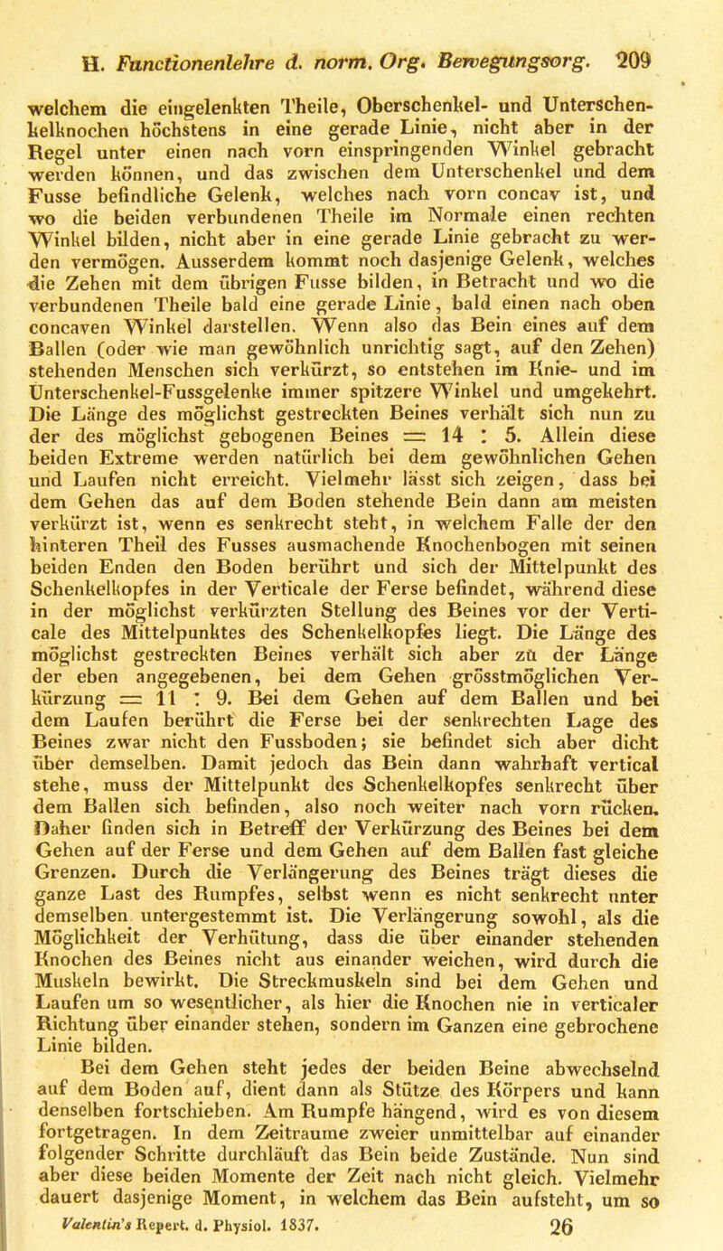 welchem die eingelenkten Theile, Oberschenitel- und Unterschen- kelknochen höchstens in eine gerade Linie, nicht aber in der Regel unter einen nach vorn einspringenden Winkel gebracht werden können, und das zwischen dem Unterschenkel und dem Fusse befindliche Gelenk, welches nach vorn concav ist, und wo die beiden verbundenen Theile im Normale einen rechten Winkel bilden, nicht aber in eine gerade Linie gebracht zu wer- den vermögen. Ausserdem kommt noch dasjenige Gelenk, welches ^ie Zehen mit dem übrigen Fusse bilden, in Betracht und wo die verbundenen Theile bald eine gerade Linie, bald einen nach oben concaven Winkel darstellen. Wenn also das Bein eines auf dem Ballen (oder wie man gewöhnlich unrichtig sagt, auf den Zehen) stehenden Menschen sich verkürzt, so entstehen im Knie- und im Unterschenkel-Fussgelenke immer spitzere Winkel und umgekehrt. Die Länge des möglichst gestreckten Beines verhält sich nun zu der des möglichst gebogenen Beines =: 14 I 5. Allein diese beiden Extreme werden natürlich bei dem gewohnlichen Gehen und Laufen nicht erreicht. Vielmehr lässt sich zeigen, dass bei dem Gehen das auf dem Boden stehende Bein dann am meisten verkürzt ist, wenn es senkrecht steht, in welchem Falle der den hinteren Theil des Fusses ausmachende Knochenbogen mit seinen beiden Enden den Boden berührt und sich der Mittelpunkt des Schenkelkopfes in der Verticale der Ferse befindet, während diese in der möglichst verkürzten Stellung des Beines vor der Verti- cale des Mittelpunktes des Schenkelkopfes liegt. Die Länge des möglichst gestreckten Beines verhält sich aber zü der Länge der eben angegebenen, bei dem Gehen grosstmoglichen Ver- kürzung =: 11 : 9. Bei dem Gehen auf dem Ballen und bei dem Laufen berührt die Ferse bei der senkrechten Lage des Beines zwar nicht den Fussboden; sie befindet sich aber dicht über demselben. Damit jedoch das Bein dann wahrhaft vertical stehe, muss der Mittelpunkt des Schenkelkopfes senkrecht über dem Ballen sich befinden, also noch weiter nach vorn rücken. Daher finden sich in Betreff der Verkürzung des Beines bei dem Gehen auf der Ferse und dem Gehen auf dem Ballen fast gleiche Grenzen. Durch die Verlängerung des Beines trägt dieses die ganze Last des Rumpfes, selbst wenn es nicht senkrecht unter demselben untergestemmt ist. Die Verlängerung sowohl, als die Möglichkeit der Verhütung, dass die über einander stehenden Knochen des Beines nicht aus einander weichen, wird durch die Muskeln bewirkt. Die Streckmuskeln sind bei dem Gehen und Laufen um so wesentlicher, als hier die Knochen nie in verticaler Richtung über einander stehen, sondern im Ganzen eine gebrochene Linie bilden. Bei dem Gehen steht jedes der beiden Beine abwechselnd auf dem Boden auf, dient dann als Stütze des Körpers und kann denselben fortschieben. Am Rumpfe hängend, wird es von diesem fortgetragen. In dem Zeiträume zweier unmittelbar auf einander folgender Schritte durchläuft das Bein beide Zustä'nde. Nun sind aber diese beiden Momente der Zeit nach nicht gleich. Vielmehr dauert dasjenige Moment, in welchem das Bein aufsteht, um so ValeHlin's Repert. d. Physiol. 1837. 26