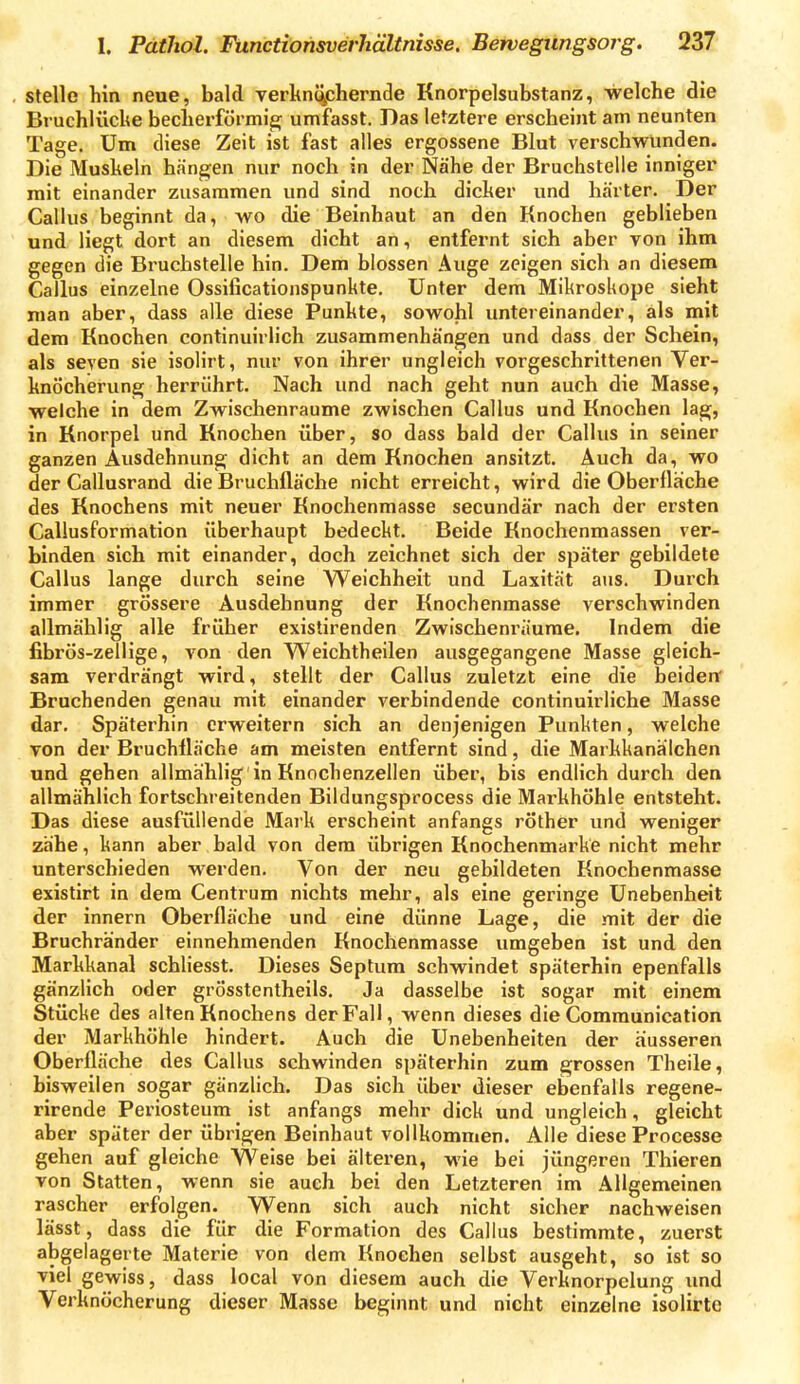 stelle hin neue, bald verknc^chernde Knorpelsubstanz, welche die Bruchlüche becherförmig; umfasst. Das letztere erscheint am neunten Tage. Um diese Zeit ist fast alles ergossene Blut verschwunden. Die Muskeln hängen nur noch in der Nähe der Bruchstelle inniger mit einander zusammen und sind noch dicker und härter. Der Gallus beginnt da, wo die Beinhaut an den Knochen geblieben und liegt dort an diesem dicht an, entfernt sich aber von ihm gegen die Bruchstelle hin. Dem blossen Auge zeigen sich an diesem Gallus einzelne Ossificationspunkte. Unter dem Mikroskope sieht man aber, dass alle diese Punkte, sowohl untereinander, als mit dem Knochen continuirlich zusammenhängen und dass der Schein, als Seyen sie isolirt, nur von ihrer ungleich vorgeschrittenen Ver- knöcherung herrührt. Nach und nach geht nun auch die Masse, welche in dem Zwischenräume zwischen Gallus und Knochen lag, in Knorpel und Knochen über, so dass bald der Gallus in seiner ganzen Ausdehnung dicht an dem Knochen ansitzt. Auch da, wo der Gallusrand die Bruchfläche nicht erreicht, wird die Oberfläche des Knochens mit neuer Knochenmasse secundär nach der ersten Gallusformation überhaupt bedeckt. Beide Knochenmassen ver- binden sich mit einander, doch zeichnet sich der später gebildete Gallus lange durch seine Weichheit und Laxität aus. Durch immer grössere Ausdehnung der Knochenmasse verschwinden allmählig alle früher existirenden Zwischenräume. Indem die fibrös-zellige, von den Weichtheilen ausgegangene Masse gleich- sam verdrängt wird, stellt der Gallus zuletzt eine die beiden Bruchenden genau mit einander verbindende continuirliche Masse dar. Späterhin erweitern sich an denjenigen Punkten, welche von der Bruchlläche am meisten entfernt sind, die Markkanälchen und gehen allmählig in Knochenzellen über, bis endlich durch den allmählich fortschreitenden Bildungsprocess die Markhöhle entsteht. Das diese ausfüllende Mai-k erscheint anfangs röther und weniger zähe, kann aber bald von dem übrigen Knochenmarke nicht mehr unterschieden werden. Von der neu gebildeten Knochenmasse existirt in dem Centrum nichts mehr, als eine geringe Unebenheit der innern Oberfläche und eine dünne Lage, die mit der die Bruchränder einnehmenden Knochenmasse umgeben ist und den Markkanal schliesst. Dieses Septum schwindet späterhin epenfalls gänzlich oder grösstentheils. Ja dasselbe ist sogar mit einem Stücke des alten Knochens der Fall, wenn dieses die Gommunication der Markhöhle hindert. Auch die Unebenheiten der äusseren Oberfläche des Gallus schwinden späterhin zum grossen Theile, bisweilen sogar gänzlich. Das sich über dieser ebenfalls regene- rirende Periosteum ist anfangs mehr dick und ungleich, gleicht aber spater der übrigen Beinhaut vollkommen. Alle diese Processe gehen auf gleiche Weise bei älteren, wie bei jüngeren Thieren von Statten, wenn sie auch bei den Letzteren im Allgemeinen rascher erfolgen. Wenn sich auch nicht sicher nachweisen lässt, dass die für die Formation des Gallus bestimmte, zuerst abgelagerte Materie von dem Knochen selbst ausgeht, so ist so viel gewiss, dass local von diesem auch die Verknorpelung und Verknöcherung dieser Masse beginnt und nicht einzelne isolirto