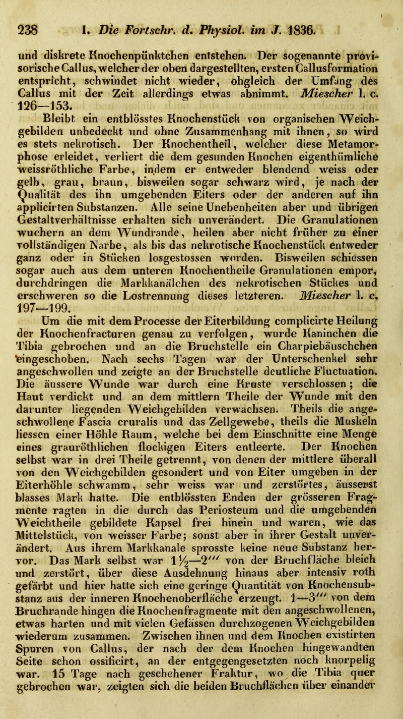 I und diskrete Knochenpünktchen entstehen. Der sogenannte provi- sorische Gallus, welcher der oben dargestellten, ersten CallusFormation entspricht, schwindet nicht wieder, obgleich der Umfang des Gallus mit der Zeit allerdings etwas abnimmt. Miescher 1. c. 126—153. Bleibt ein entblösstes Knochenstück von organischen Weich- gebilden unbedeckt und ohne Zusammenhang mit ihnen, so wird es stets nekrotisch. Der Knochentheil, welcher diese Metamor- phose erleidet, verliert die dem gesunden Knochen eigenthümliche weissröthliche Farbe, indem er entweder blendend weiss oder gelb, grau, braun, bisweilen sogar schwarz wird, je nach der (Qualität des ihn umgebenden Eiters oder der anderen auf ihn applicirten Substanzen. Alle seine Unebenheiten aber und übrigen Gestaltverliältnisse erhalten sich unverändert. Die Granulationen wuchern an dem Wundrande, heilen aber nicht früher zu einer vollständigen Narbe, als bis das nekrotische Rnochenstück entweder ganz oder in Stücken losgestossen worden. Bisweilen schiessen sogar auch aus dem unteren Knochentheile Granulationen empor, durchdringen die Markkanälchen des nekrotischen Stückes und erschweren so die Lostrennung dieses letzteren. Miescher 1. 197—199.^ Um die mit dem Processe der Eiterbildung complicirte Hellung der Knochenfracturen genau zu verfolgen, wurde Kaninchen die Tibia gebrochen und an die Bruchstelle ein Charpiebäuschchen \2ingeschoben. Nach sechs Tagen war der Unterschenkel sehr angeschwollen und zeigte an der Bruchstelle deutliche Fluctuation. Die äussere Wunde war durch eine Kruste verschlossen; die Haut verdickt und an dem mittlem Theile der Wunde mit den darunter liegenden Weichgebilden verwachsen. Theils die ange- schwollene Fascia cruralis und das Zellgewebe, theils die Muskeln Hessen einer Höhle Raum, welche bei dem Einschnitte eine Menge eines grauröthlichen flockigen Eiters entleerte. Der Knochen selbst war in drei Theile getrennt, von denen der mittlere überall von den Weichgebilden gesondert und von Eiter umgeben in der Eiterhöhle schwamm, sehr weiss war und zerstörtes, äusserst blasses Mark hatte. Die entblössten Enden der grösseren Frag- mente ragten in die durch das Periosteum und die umgebenden Weichtheile gebildete Kapsel frei hinein und waren, wie das Mittelstück, von weisser Farbe; sonst aber in ihrer Gestalt unver- ändert. Aus ihrem Markkanale sprosste keine neue Substanz her- vor. Das Mark selbst war 1—2' von der ßruchflache bleich und zerstört, über diese Ausdehnung hinaus aber intensiv roth gefärbt und hier hatte sich eine geringe Quantität von Knochensub- stanz aus der inneren Knochenoberfläche erzeugt. 1—3' von dem Bruchrande hingen die Knochenfragmente mit den angeschwollenen, etwas harten und mit vielen Gefässen durchzogenen Weichgebilden wiederum zusammen. Zwischen ihnen und dem Knochen existirten Spuren von Gallus, der nach der dem Knochen hingewandten Seite schon ossificirt, an der entgegengesetzten noch knorpelig war. 15 Tage nach geschehener Fraktur, wo die Tibia quer gebrochen war, zeigten sich die beiden Brucbflächen über einander