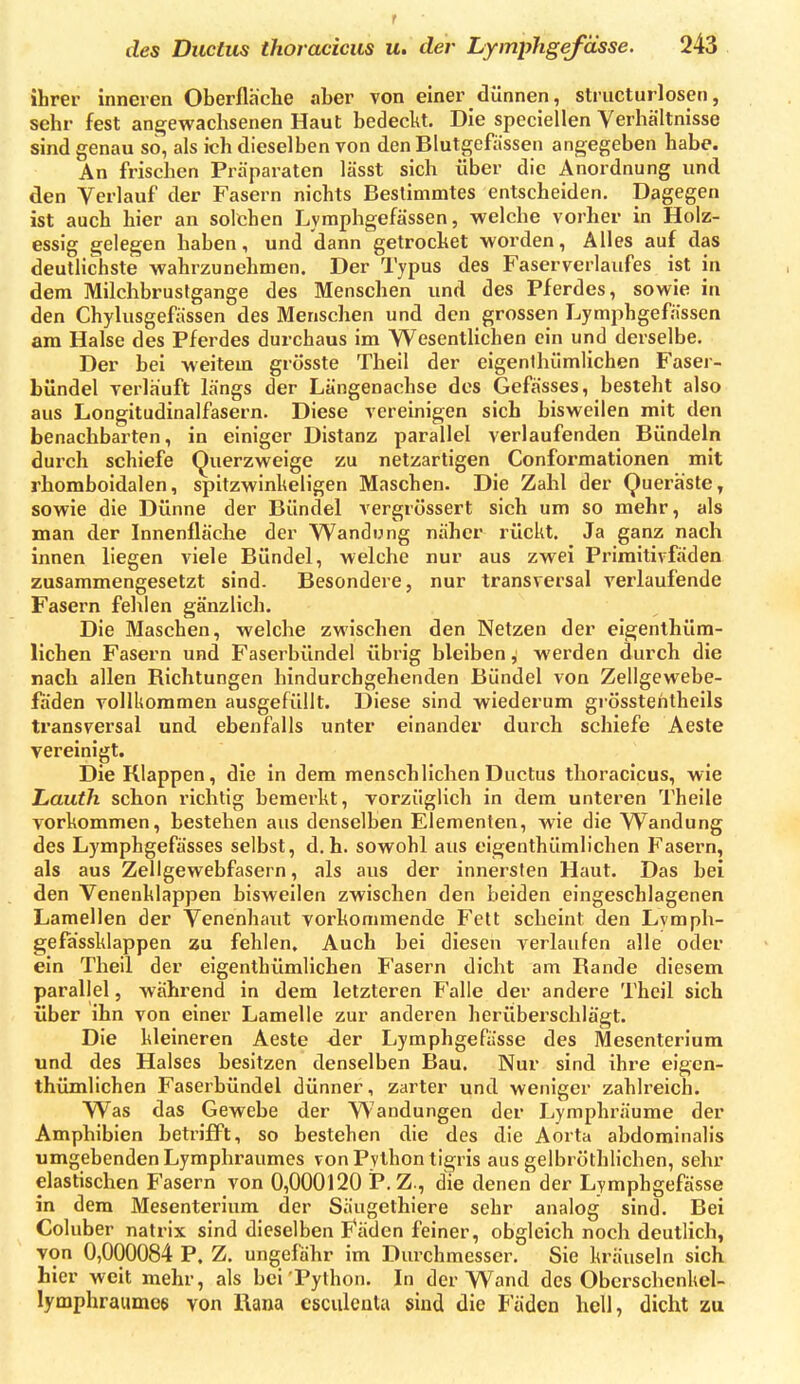 r des Ductus thoracicus u. der Lymiiligefässe. 243 ihrer inneren Oberfläche aber von einer dünnen, striicturlosen, sehr fest angewachsenen Haut bedeckt. Die speciellen Verhältnisse sind genau so, als ich dieselben von den Blutgefässen angegeben habe. An frischen Präparaten lässt sich über die Anordnung und den Verlauf der Fasern nichts Bestimmtes entscheiden. Dagegen ist auch hier an solchen Lymphgefässen, welche vorher in Holz- essig gelegen haben, und dann getrochet worden, Alles auf das deutlichste wahrzunehmen. Der Typus des Faserverlaufes ist in dem Milchbrustgange des Menschen und des Pferdes, sowie in den Chylusgefässen des Menschen und den grossen Lymphgefiissen am Halse des Pferdes durchaus im Wesentlichen ein und derselbe. Der bei weitem grösste Theil der eigenihümlichen Faser- bündel verläuft längs der Längenachse des Gefässes, besteht also aus Longitudinalfasern. Diese vereinigen sich bisweilen mit den benachbarten, in einiger Distanz parallel verlaufenden Bündeln durch schiefe Querzweige zu netzartigen Conformationen mit rhomboidalen, spitzwinkeligen Maschen. Die Zahl der Queräste, sowie die Dünne der Bündel vergrössert sich um so mehr, als man der Innenfläche der Wandung näher rückt. Ja ganz nach innen liegen viele Bündel, welche nur aus zwei Primitivfäden zusammengesetzt sind. Besondere, nur transversal verlaufende Fasern fehlen gänzlich. Die Maschen, welche zwischen den Netzen der eigenthüm- lichen Fasern und Faserbündel übrig bleiben ^ werden durch die nach allen Bichtungen hindurchgehenden Bündel von Zellgewebe- fäden vollkommen ausgefüllt. Diese sind wiederum grösstehtheils transversal und ebenfalls unter einander durch schiefe Aeste vereinigt. Die Klappen, die in dem menschlichen Ductus thoracicus, wie Lauth schon richtig bemei'kt, vorzüglich in dem unteren Theile vorkommen, bestehen aus denselben Elementen, wie die Wandung des Lymphgefässes selbst, d.h. sowohl aus eigenthümlichen Fasern, als aus Zellgewebfasern, als aus der innersten Haut. Das bei den Venenklappen bisweilen zwischen den beiden eingeschlagenen Lamellen der Venenhaut vorkommende Fett scheint den Lvmph- gefässklappen zu fehlen. Auch bei diesen verlaufen alle oder ein Theil der eigenthümlichen Fasern dicht am Bande diesem parallel, während in dem letzteren Falle der andere Theil sich über ihn von einer Lamelle zur anderen herüberschlägt. Die kleineren Aeste <ler Lymphgefässe des Mesenterium und des Halses besitzen denselben Bau. Nur sind ihre eigen- thümlichen Faserbündel dünner, zarter und weniger zahlreich. Was das Gewebe der Wandungen der Lymphräume der Amphibien betrifft, so bestehen die des die Aorta abdominalis umgebenden Lymphraumes von Python tigi is aus gelbröthlichen, sehr elastischen Fasern von 0,000120 P. Z., die denen der Lymphgefässe in dem Mesenterium der Säugethiere sehr analog sind. Bei Coluber natrix sind dieselben Fäden feiner, obgleich noch deutlich, von 0,000084 P. Z. ungefähr im Durchmesser. Sie kräuseln sich hier weit mehr, als bei Python. In der Wand des Obcrschenkel- lymphraumce von Rana esculeata sind die Fäden hell, dicht zu