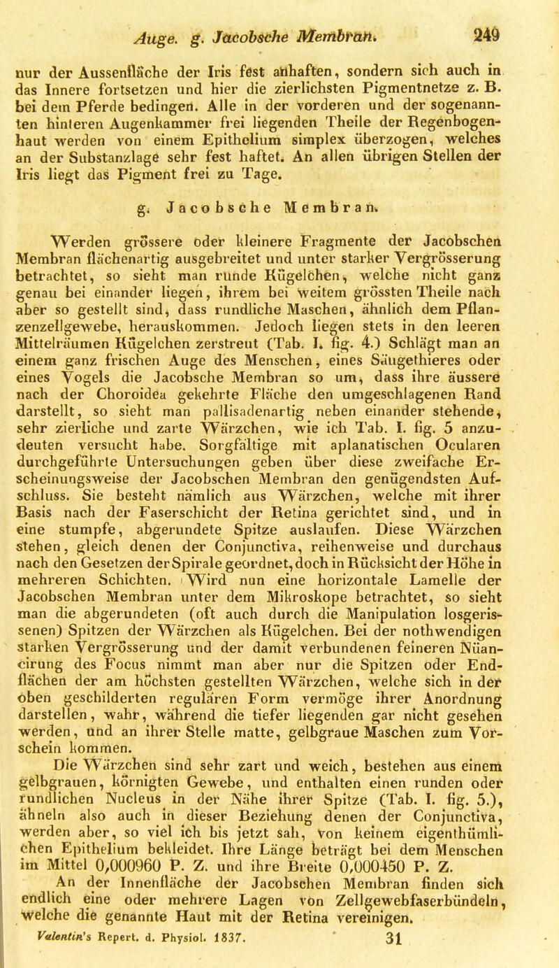 Auge. g. Jücobsche Merribtank 240 nur der Aussenflache der Iris fest anhaften, sondern sich auch in das Innere fortsetzen und hier die zierlichsten Pigmentnetze z. B. bei dem Pferde bedingen. Alle in der vorderen und der sogenann- ten hinleren Augenkammer frei liegenden Theile der Regenbogen- haut werden von einem Epithelium siraplex überzogen, welches an der Substanzlage sehr fest haftet. An allen übrigen Stellen der Iris liegt das Pigment frei zu Tage. JacobscheMembram Werden grossere oder kleinere Fragmente der Jacobsehen Membran flflchenartig ausgebreitet und unter starker Vergrösserung betrachtet, so sieht man runde Kügelchen, welche nicht ganz genau bei einander liegen, ihrem bei weitem grossten Theile nach aber so gestellt sind, dass rundliche Maschen, ähnlich dem Pflan- zenzellgewebe, herauskommen. Jedoch liegen stets in den leeren Mittelriiumen Rügelchen zerstreut (Tab. I. fig. 4.) Schlägt man an einem ganz frischen Auge des Menschen, eines Säugethieres oder eines Vogels die Jacobsche Membran so um, dass ihre äussere nach der Choroidea gekehrte Flache den umgeschlagenen Rand darstellt, so sieht man pallisadenartig neben einander stehende, sehr zierliche und zarte Wärzchen, wie ich Tab. I. fig. 5 anzu- deuten versucht habe. Sorgfaltige mit aplanatischen Ocularen durchgeführte Untersuchungen geben über diese zweifache Er- scheinungsweise der Jacobschen Membran den genügendsten Auf- schluss. Sie besteht nämlich aus Wärzchen, welche mit ihrer Basis nach der Faserschicht der Retina gerichtet sind, und in eine stumpfe, abgerundete Spitze auslaufen. Diese Wärzchen stehen, gleich denen der Conjunctiva, reihenweise und durchaus nach den Gesetzen der Spirale geordnet, doch in Rücksicht der Höhe in mehreren Schichten. > Wird nun eine horizontale Lamelle der Jacobschen Membran unter dem Mikroskope betrachtet, so sieht man die abgerundeten (oft auch durch die Manipulation losgeris- senen) Spitzen der Wärzchen als Kügelchen. Bei der nothwendigen starken Vergrösserung und der damit verbundenen feineren Nüan- cirung des Focus nimmt man aber nur die Spitzen oder End- flächen der am höchsten gestellten Wärzchen, welche sich in deif öben geschilderten regulären Form vermöge ihrer Anordnung darstellen, wahr, während die tiefer liegenden gar nicht gesehen werden, und an ihrer Stelle matte, gelbgraue Maschen zum Vor- schein kommen. Die Wärzchen sind sehr zart und weich, bestehen aus einem gelbgrauen, kornigten Gewebe, und enthalten einen runden odet rundlichen Nucleus in der Nähe ihrer Spitze (Tab. I. flg. 5.), ähneln also auch in dieser Beziehung denen der Conjunctiva, werden aber, so viel ich bis jetzt sah, Von keinem eigenthümli- ehen Epithelium bekleidet. Ihre Länge beträgt bei dem Menschen im Mittel 0,000960 P. Z. und ihre Breite 0,000450 P. Z. An der Innenfläche der Jacobsehen Membran finden sich endlich eine oder mehrere Lagen von Zell^ewebfaserbündeln, welche die genannte Haut mit der Retina vereinigen. VmUntin's Repert. d. Physiol. 1837. 31