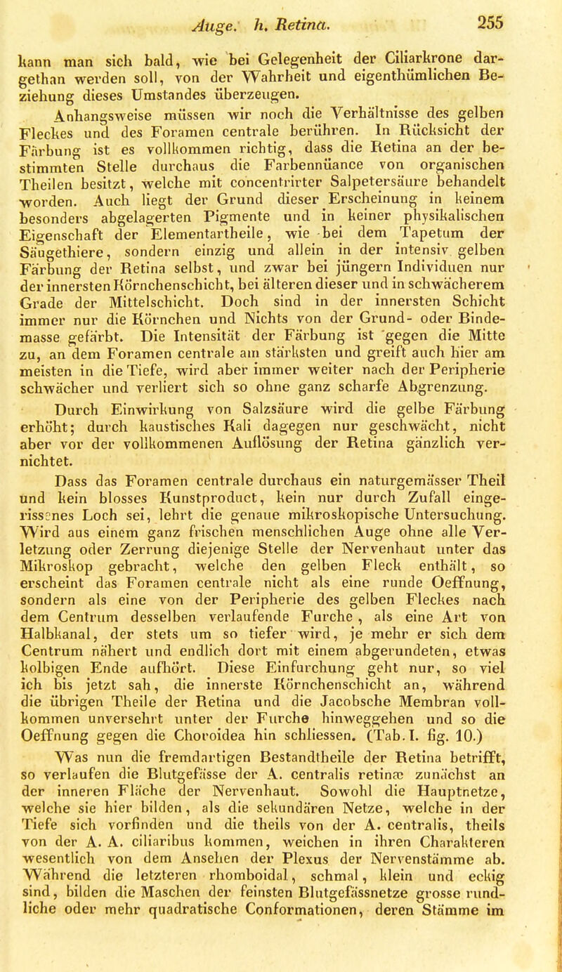 kann man sich bald, wie bei Gelegenheit der Ciliarkrone dar- gethan werden soll, von der Wahrheit und eigenthümlichen Be-- Ziehung dieses Umstandes überzeugen. Anhangsweise müssen wir noch die Verhältnisse des gelben Fleckes und des Foramen centrale berühren. In Rücksicht der Färbung ist es vollkommen richtig, dass die Retina an der be- stimmten Stelle durchaus die Farbennüance von organischen Theilen besitzt, welche mit concentrirter Salpetersäure behandelt ■worden. Auch liegt der Grund dieser Erscheinung in keinem besonders abgelagerten Pigmente und in keiner physikalischen Eigenschaft der Elementartheile, wie bei dem Tapetum der Säugethiere, sondern einzig und allein in der intensiv gelben Färbung der Retina selbst, und zwar bei jüngern Individuen nur der innersten Körnchenschicht, bei älteren dieser und in schwächerem Grade der Mittelschicht. Doch sind in der innersten Schicht immer nur die Körnchen und Nichts von der Grund- oder Binde- masse gefärbt. Die Intensität der Färbung ist gegen die Mitte zu, an dem Foramen centrale am stärksten und greift auch hier am meisten in die Tiefe, wird aber immer weiter nach der Peripherie schwächer und verliert sich so ohne ganz scharfe Abgrenzung. Durch Einwirkung von Salzsäure wird die gelbe Färbung • erhöht; durch kaustisches Kali dagegen nur geschwächt, nicht aber vor der vollkommenen Auflösung der Retina gänzlich ver- nichtet. Dass das Foramen centrale durchaus ein naturgemässer Theil und kein blosses Kunstproduct, kein nur durch Zufall einge- rissmes Loch sei, lehrt die genaue mikroskopische Untersuchung. Wird aus einem ganz frischen menschlichen Auge ohne alle Ver- letzung oder Zerrung diejenige Stelle der Nervenhaut imter das Mikroskop gebracht, welche den gelben Fleck enthält, so erscheint das Foramen centrale nicht als eine runde Oeffnung, sondern als eine von der Peripherie des gelben Fleckes nach dem Centrum desselben vei4aufende Furche, als eine Art von Halbkanal, der stets um so tiefer wird, je mehr er sich dem Centrum nähert und endlich dort mit einem abgerundeten, etwas kolbigen Ende aufhört. Diese Ein furchung geht nur, so viel ich bis jetzt sah, die innerste Rörnchenschicht an, während die übrigen Theile der Retina und die Jacobsche Membran voll- kommen unversehrt unter der Furche hinweggehen und so die Oeffnung gegen die Choroidea hin schliessen. (Tab.I. fig. 10.) Was nun die fremdartigen Bestandtheile der Retina betrifft, so verlaufen die Blutgefässe der A. centralis retinae zunächst an der inneren Fläche der Nervenhaut. Sowohl die Hauptnetze, welche sie hier bilden, als die sekundären Netze, welche in der Tiefe sich vorfinden und die theils von der A. centralis, theils von der A. A. ciliaribus kommen, weichen in ihren Charakteren wesentlich von dem Ansehen der Plexus der Nervenstämme ab. Während die letzteren rhomboidal, schmal, klein und eckig sind, bilden die Maschen der feinsten Blutgefässnetze grosse rund- liche oder mehr quadratische Conformationen, deren Stämme im