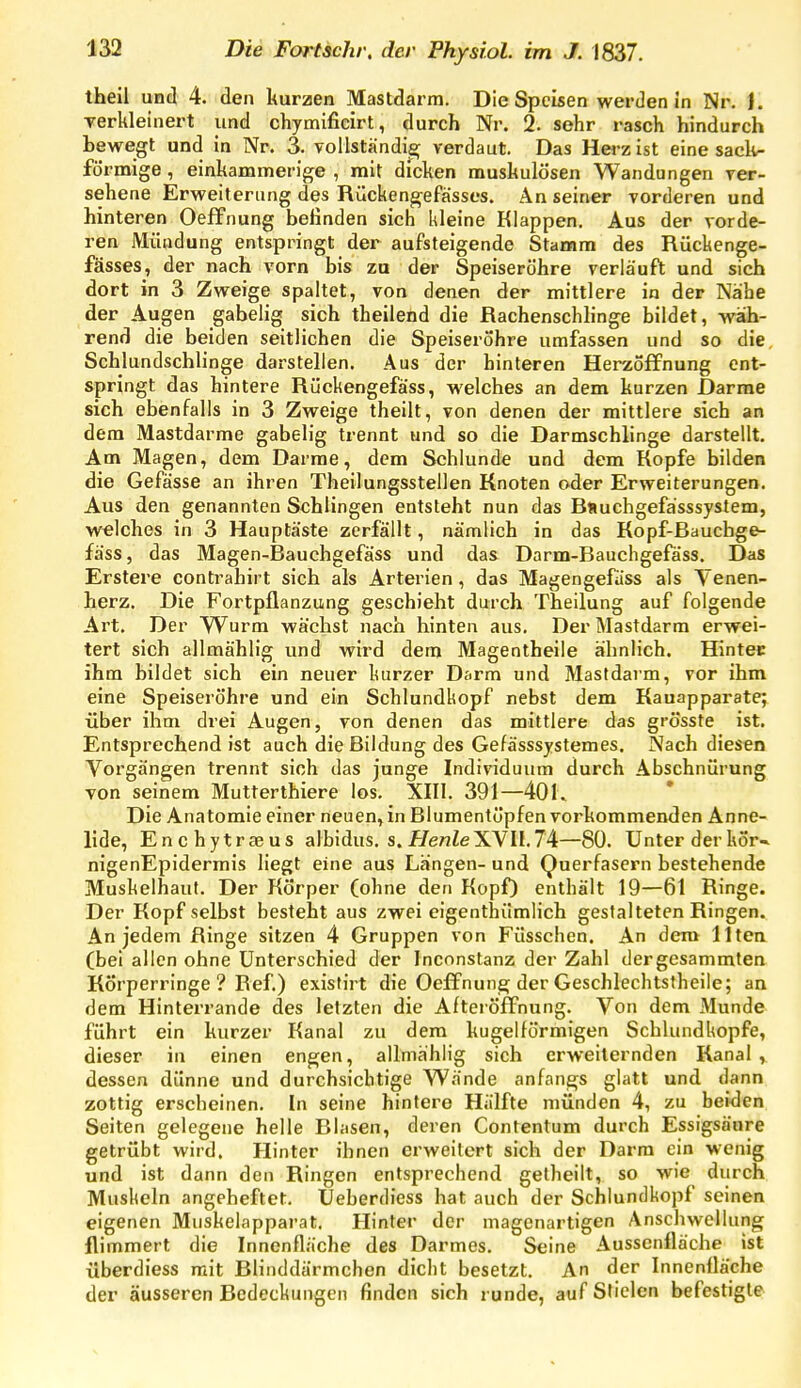 theil und 4. den kurzen Mastdarm. Die Speisen werden in Nr. 1. yerkleinert und chymificirt, durch Nr. 2. sehr rasch hindurch bewegt und in Nr. 3. voUständis; verdaut. Das Herz ist eine sack- •mige , einkammerige , mit dicken nauskulösen Wandungen ver- sehene Erweiterung des Rückengefässes. An seiner vorderen und hinteren Oeffnung belinden sich kleine Klappen. Aus der vorde- ren Mündung entspringt der aufsteigende Stamm des Rückenge- fässes, der nach vorn bis zu der Speiseröhre verläuft und sich dort in 3 Zweige spaltet, von denen der mittlere in der Nähe der Augen gabelig sich theilend die fiachenschhnge bildet, wäh- rend die beiden seitlichen die Speiserohre umfassen und so die Schlundschlinge darstellen. Aus der hinteren Herzoffnung ent- springt das hintere Rückengefäss, welches an dem kurzen Darme sich ebenfalls in 3 Zweige theilt, von denen der mittlere sich an dem Mastdarme gabelig trennt und so die Darmschlinge darstellt. Am Magen, dem Darme, dem Schlünde und dem Kopfe bilden die Gefässe an ihren Theilungsstellen Knoten oder Erweiterungen. Aus den genannten Schlingen entsteht nun das Bttuchgefässsystem, welches in 3 Hauptäste zerfällt, nämlich in das Kopf-Baucbge- fäss, das Magen-Bauchgefäss und das Darm-Bauchgefäss. Das Erstere contrahirt sich als Arterien , das Magengefass als Venen- herz. Die Fortpflanzung geschieht durch Theilung auf folgende Art. Der Wurm wächst nach hinten aus. Der Mastdarm erwei- tert sich allmählig und wird dem Magentheile ähnlich. Hinter ihm bildet sich ein neuer kurzer D&rm und Mastdarm, vor ihm eine Speiseröhre und ein Schlundkopf nebst dem Kauapparate; über ihm drei Augen, von denen das mittlere das grösste ist. Entsprechend ist auch die Bildung des Gefässsystemes. Nach diesen Vorgängen trennt sich das junge Individuum durch Abschnürung von seinem Mutterthiere los. XIII. 391—401. Die Anatomie einer neuen, in Blumentöpfen vorkommenden Anne- lide, Enchytrseus albidus. s. He^ZeXVH. 74—80. Unter der kör- nigenEpidermis liegt eine aus Längen- und Querfasern bestehende Muskelhaut. Der Körper (ohne den KopO enthält 19—61 Ringe. Der Kopf selbst besteht aus zwei eigenthümlich gestalteten Ringen. An jedem Ringe sitzen 4 Gruppen von Füsschen. An dem Ilten (bei allen ohne Unterschied der Inconstanz der Zahl dergesammten Körperringe ? Ref.) exisfirt die Oeffnung der Geschlechtstheile; an dem Hinterrande des letzten die Afteröffnung. Von dem Munde führt ein kurzer Kanal zu dem kugelförmigen Schlundl^opfe, dieser in einen engen, allmählig sich erweiternden Kanal, dessen dünne und durchsichtige Wände anfangs glatt und dann zottig erscheinen. In seine hintere Hälfte münden 4, zu beiden Seiten gelegene helle Blasen, deren Contentum durch Essigsäure getrübt wird. Hinter ihnen erweitert sich der Darm ein wenig und ist dann den Ringen entsprechend gelheilt, so wie durch Muskeln angeheftet. Ueberdiess hat auch der Schlundkopf seinen eigenen Muskelapparat. Hinter der magenartigen Anschwellung flimmert die Innenfläche des Darmes. Seine Aussenfläche ist überdiess mit Blinddärmchen dicht besetzt. An der Innenfläche der äusseren Bedeckungen finden sich runde, auf Stielen befestigte