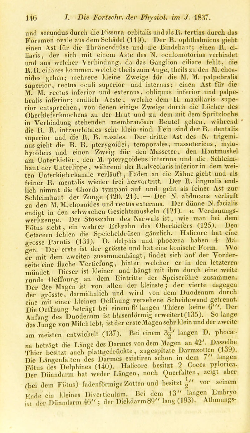 und secundus durch die Fissura orbitalis undalsR. tertius durch da» Foramen ovale aus dem Schädel (119). Der R. ophthalmicus giebt einen Ast für die Thränendrüse und die Bindehaut; einen R. ci- liaris, der sich mit einem Aste des N. oculomotorius verbindet und aus welcher Verbindung, da das Ganglion ciliare fehlt, die R. R. ciliares kommen, welche theils zum Auge, theils zu den M. choa- nides gehen; mehrere kleine Zweige für die M. M. palpebralis superior, rectus oculi superior und internus; einen Ast für die M. M. rectus inferior und > externus, obliquus inferior und palpe- bralis inferior; endlich Aeste, welche dem R. maxillaris supe- rior entsprechen, von denen einige Zweige durch die Löcher des Oberkieferknochens zu der Haut und zu dem mit dem Spritzloche in Verbindung stehenden membranösen Beutel gehen, während die R. R. infraorbitales sehr klein sind. Fein sind der R. dentaiis superior und die R. R. nasales. Der dritte Ast des N. trigemi- mis giebt die R. R. pterygoidei, temporales, massetericus , mylo- hyoideus und einen Zweig für den Masseter, den Hautmuskel am Unterkiefer , den M. pterygoideus internus und die Schleim- haut der Unterlippe, während 3er R.alveolaris inferior in dem wei- ten Unterkieferkanale verläuft, Fäden an die Zähne giebt und als feiner R. mentalis wieder frei hervortritt. Der R. lingualis end- lich nimmt die Chorda tympani auf und geht als feiner Ast zur Schleimhaut der Zunge (120. 21). — Der N. abducens verläuft zu den M. M. choanides und rectus externus. Der dünne N. facialis endigt in den schwachen Gesichtsmuskeln (121). e. Verdauungs- werkzeuge. Der Stosszahn des Narwals ist, wie man bei dem Fötus sieht, ein wahrer Eckzahn des Oberkiefers (125). D_^en Cetaceen fehlen die Speicheldrüsen gänzlich. Halicore hat eine grosse Parotis (131). D. delphis und phocaena haben 4 Mä- gen. Der erste ist der grösste und hat eine konische Form. Wo er mit dem zweiten zusammenhängt, findet sich auf der Vorder- seite eine flache Vertiefung, hinter welcher er in den letzteren mündet. Dieser ist kleiner und hängt mit ihm durch eine weite runde Oeffnung an dem Eintritte der Speiseröhre zusammen. Der 3te Magen ist von allen der kleinste; der vierte dagegen der grösste, darmähnlich und wird von dem Duodenum durch eine mit einer kleinen Oeffnung versehene Scheidewand getrennt. Die Oeffnung beträgt bei einem 6'langen Thiere keine 6'. Der Anfang des Duodenum Ist blasenförmig erweitert (135). So lange das Junge von Milch lebt, ist der erste Magen sehr klein und der zweite am meisten entwickelt (137). Bei einem 3^' langen D. phoca;- na beträgt die Länge des Darmes von dem Magen an 42'. Dasselbe Thier besitzt auch plattgedrückte, zugespitzte Darmzolten (löJJ. Die Längenfalten des Darraes existiren schon in dem 7 langen Fötus des Delphines (140). Halicore besitzt 2 Coeca pylorica. Der Dünndarm hat weder Längen, noch (luerfaltcn, zeigt aber (bei dem Fötus) fadenförmige Zotion und besitzt vor seinem Ende ein kleines Divcrticulum. Bei dem 13 langen Embryo der Dünndarm 46 ; der Dickdarm 89 lang (193). Athmungs-