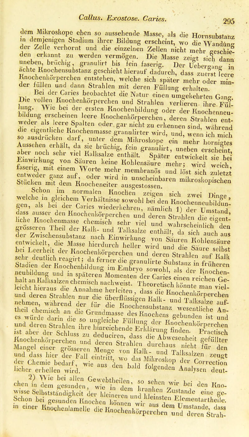 aem Miltrosliope eben so aussehende Masse, als die Hornsubstahz in demjenigen Stadium ihrer Bildung erscheint, wo die Wandung der Ze le verhornt und die einzelnen Zellen nicht mehr eescHe^ den erkannt zu werden vermögen. Die Masse zeigt sich dann uneben, bruchig granuiirt bis feinfaserig. Der Ueberganr in achte Knochensubstanz geschieht hierauf dadurch, dass zuerst leere Knochenkorperchen entstehen, welche sich später mehr oder min- der füllen und dann Strahlen mit deren Füllung erhalten r»;. ^'.1 '^''rP'^T ^'P^'^'^l'^ Natur einen umgekehrten Gang. Die vollen Knochenkorperchen und Strahlen verlieren- ihre Fö- lling. Wie bei der ersten Knochenbildung oder der Knochennen bi dung erscheinen leere Knochenkörperchln, dere^ Stralilen ent- weder als leere Spalten oder gar nicht zu erkennen sind, Srend die eigentliche Knochenmasse granulirter wird, und, wen^ S mich so ausdrucken darf, unler dem Mikroskope ein mehr hornS es Aussehen erhalt, da sie brüchig, fein granilirt, uneben erscheint aber noch sehr viel Kalksalze enthält.^ Später' entSeTt sie bei Einwirkung von Säuren keine Kohlensäure mehr; wird weich faserig mit emem Worte mehr membranös und löst s ch Zuletzt entweder ganz auf oder wird in unscheinbaren mLrSp'^hen Stucken mit dem Knocheneiter ausgestossen. ^osKopischen Schon im normalen Knochen zeigen sich zwei Din^e ret\\bf t'caT£^''rYr^'^^ Knochrn^eu^E: gen, als Jjei der Caries wiederkehren, nämlich 1) der Umst;,n^ dass ausser den Knochenkörperchen und deren StiiferdVe etent' hche Knochenmasse chemisch sehr viel und w;,!...»^!.'• ^ grösseren Theil der Kalk- und Talksalze enthälT 7 ? '\ der Zwischensubstanz nach Einwirkung vo^ShuSn K m'^--'* entwickelt, die Masse hierdurchTelIer^wiIT»ni ^ Kohlensaure bei Leerheit der Knochenkörpäcien „nd reIt^lL'l^^^^^^^ leicht hieraus die ^n^hL IierTei e„ .t j? u und deren Strahlen nufd^irerSgot «11^^^^^^ nehmen, während dpr i;\r- rV,^ v i ,  lalKsalze auf- theil chemisch an die Gru'ndmLsf l^K''^r'' wesentliche An- es würde darin die so nn le^n^P Knochens gebunden ist und und deren Strahlen ilre hitSende  ^^-?«^--perchen ist aber der Schluss zu ^^ ^'^^''''^^ Knochenkörperchen und d^renl ^a'h e durtw'i^d;; P''''^ Mangel einer grösseren Menge von Kalk nn!l t m und dass hier der Fall eintrin l i ? Talksalzen zeugt der Chemie bedarf wie aus den h^d^l'^'^'P Correction lieber erhellen wird. ^ ^^'^ folgenden Analysen deut- w sse Selbststa^ndigkeit dei'kle/neit nd kfi^tefl^r'^ i^'f ^ Schon bei gesunden Knochen können wir 3'.^^ TT f'/'^^ - einer Kaochenlamelie die Knochenk^;eS;^unÄen ^sÄ