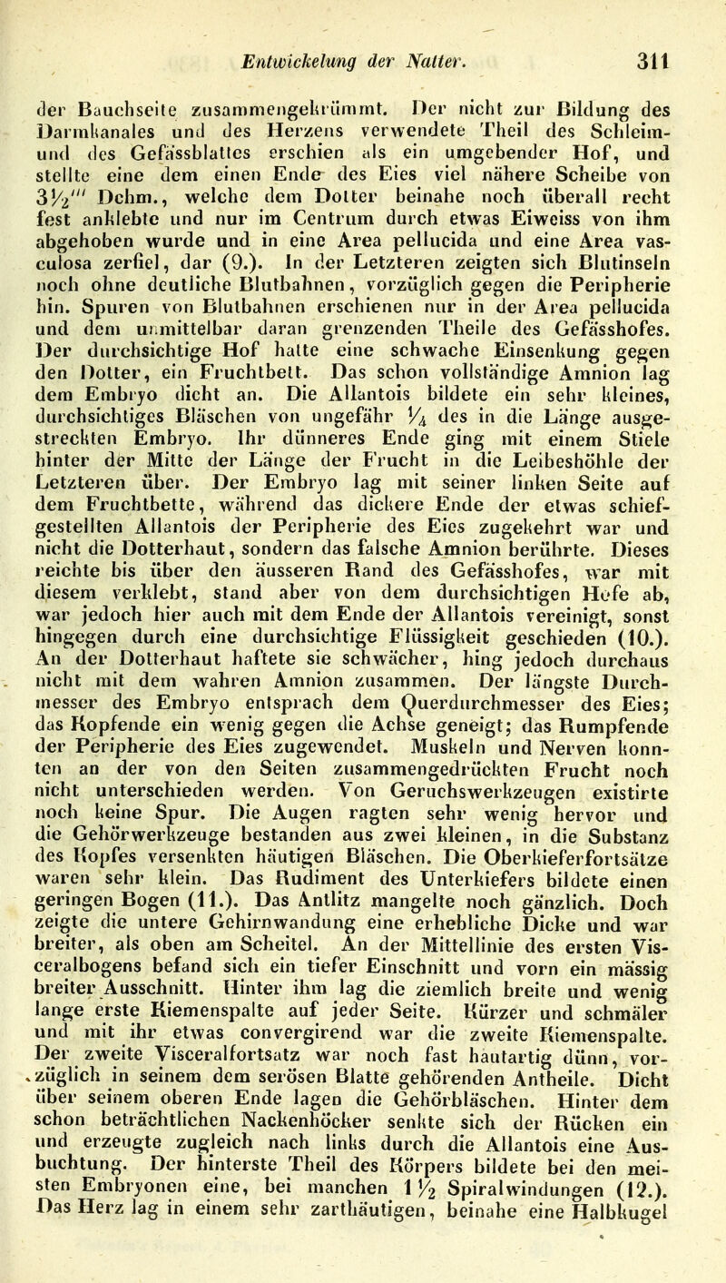 der Bauchseite zusammengekrümmt. Der nicht zur Bildung des Darmkanales und des Herzens verwendete Theil des Schleim- und des Gefassblattes erschien als ein umgebender Hof, und stellte eine dem einen Ende des Eies viel nähere Scheibe von ZV-i Dehrn., welche dem Dotier beinahe noch überall recht fest anklebte und nur im Centrum durch etwas Eiweiss von ihm abgehoben wurde und in eine Area pellucida und eine Area vas- culosa zerfiel, dar (9.)« In der Letzteren zeigten sich Blutinseln noch ohne deutliche Blutbahnen, vorzüglich gegen die Peripherie hin. Spuren von Blutbahnen erschienen nur in der Area pellucida und dem unmittelbar daran grenzenden Theile des Gefässhofes. Der durchsichtige Hof hatte eine schwache Einsenkung gegen den Dotter, ein Fruchtbett. Das schon vollständige Amnion lag dem Embryo dicht an. Die AUantois bildete ein sehr kleines, durchsichtiges Bläschen von ungefähr Vi des in die Länge ausge- streckten Embryo. Ihr dünneres Ende ging mit einem Stiele hinter der Mitte der Länge der Frucht in die Leibeshöhle der Letzteren über. Der Embryo lag mit seiner linken Seite auf dem Fruchtbette, während das dickere Ende der etwas schief- gestellten AUantois der Peripherie des Eies zugekehrt war und nicht die Dotterhaut, sondern das falsche Amnion berührte. Dieses reichte bis über den äusseren Band des Gefässhofes, war mit diesem verklebt, stand aber von dem durchsichtigen Hofe ab, war jedoch hier auch mit dem Ende der AUantois vereinigt, sonst hingegen durch eine durchsichtige Flüssigkeit geschieden (10.). An der Dotterhaut haftete sie schwächer, hing jedoch durchaus nicht mit dem wahren Amnion zusammen. Der längste Durch- messer des Embryo entsprach dem Querdurchmesser des Eies; das Kopfende ein wenig gegen die Achse geneigt; das Rumpfende der Peripherie des Eies zugewendet. Muskeln und Nerven konn- ten an der von den Seiten zusammengedrückten Frucht noch nicht unterschieden werden. Von Geruchswerkzeugen existirte noch keine Spur. Die Augen ragten sehr wenig hervor und die Gehörwerkzeuge bestanden aus zwei kleinen, in die Substanz des Kopfes versenkten häutigen Bläschen. Die Oberkieferfortsätze waren sehr klein. Das Rudiment des Unterkiefers bildete einen geringen Bogen (11.). Das Antlitz mangelte noch gänzlich. Doch zeigte die untere Gehirnwandung eine erhebliche Dicke und war breiter, als oben am Scheitel. An der Mittellinie des ersten Vis- ceralbogens befand sich ein tiefer Einschnitt und vorn ein mässig breiter Ausschnitt. Hinter ihm lag die ziemlich breite und wenig lange erste Kiemenspalte auf jeder Seite. Kürzer und schmäler und mit ihr etwas convergirend war die zweite Kiemenspalte. Der zweite Visceralfortsatz war noch fast hautartig dünn, vor- züglich in seinem dem serösen Blatte gehörenden Antheile. Dicht über seinem oberen Ende lagen die Gehörbläschen. Hinter dem schon beträchtlichen Nackenhöcker senkte sich der Rücken ein und erzeugte zugleich nach links durch die AUantois eine Aus- buchtung. Der hinterste Theil des Körpers bildete bei den mei- sten Embryonen eine, bei manchen V/2 Spiralwindungen (12.). Das Herz lag in einem sehr zarthäutigen, beinahe eine Halbkugel