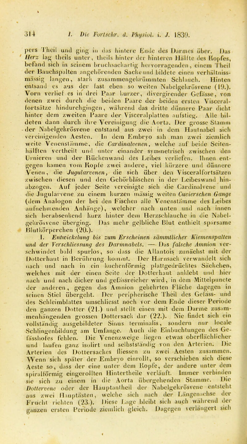 t 314 7. Die Furlschr. d. Physiol. i. J. 1839. pers Thdil und ging in das hintere Ende des Darmes über. Das ' Herz lag llicils unter, tlieils hinter der hinteren Hüllte des Hopfes, befand sich in seinem bruchsachartig hervorragenden, einem Theil der Bauchspalten angehörenden Sache und bildete einen verhaltniss- mässig langen, stark zusammengehrümmten Schlauch. Hinten enlsand es aus der last eben so weiten Nabelgekrüsvene (19.). Vorn verlief es in drei Paar kurzer, divergirender Gefässe, von denen zwei durch die beiden Paare der beiden ersten Visceral- fortsätze hindurchgingen, wahrend das dritte dünnere Paar dicht hinter dem zweiten Paare der Visceralplatten aufstieg. Alle bil- deten dann durch ihre Vereinigung die Aorta. Der grosse Stamm der Nabelgekrösvene entstand aus zwei in dem Hautnabel sich vereinigenden Aesten. In dem Embryo sah man zwei ziemlich weile Venenstämme, die Cardinalvenen, welche auf beide Seiten- hälflen vertheilt und unter einander symmetrisch zwischen den Urnieren und der Rüchenwand des Leibes verliefen. Ihnen ent- gegen harnen vom Kopfe zwei andere, viel kürzere und dünnere Venen, die Jugularvenen, die sich über den Visceralfortsätzen zwischen diesen und den Gehörbläschen in der Leibeswand hin- abzogen. Auf jeder Seite vereinigte sich die Cardinalvene und die Jugularvene zu einem kurzen massig weiten Cuvierschen Gange (dem Analogon der bei den Fischen alle Venenslämme des Leibes aufnehmenden Anhänge), welcher nach unten und nach innen sieh herabsenkend kurz hinter dem Herzschlauche in die Nabel- gekrösvene überging. Das mehr gelbliche Blut enthielt sparsame Blutkörperchen (20.). 1. Entwicklung bis zum Erscheinen sämmtlicher Kiemenspalten und der Verschliessung des Darmnabels. — Das falsche Amnion ver- schwindet bald spurlos, so dass die Allantois zunächst mit der Dotterhaut in Berührung kommt. Der Harnsack verwandelt sich nach und nach in ein kuchenförmig plattgedrücktes Sächchen, welches mit der einen Seite der Dotterhaut anklebt und hier1 nach und nach dicker und gefässreicher wird, in dem Mittelpuncle der anderen, gegen das Amnion gekehrten F'läche dagegen in seinen Stiel übergeht. Der peripherische Theil des Gefa'ss- und des Schleimblattes umschlicsst noch vor dem Ende dieser Periode den ganzen Dotter (21.) und stellt einen mit dem Darme zusam- menhängenden grossen Dotiersack dar (22.). Nie findet sich ein vollständig ausgebildeter Sinus terminalis, sondern nur locale Schlingenbildung am Umfange. Auch die Einbuchtungen des Ge- fässhofes fehlen. Die Venenzweige liegen etwas oberflächlicher und laufen ganz isolirt und selbstständig von den Arterien. Die Arterien des Dottersaches (Hessen zu zwei Aesten zusammen. Wenn sich später der Embryo einrollt, so verschieben sich diese Aeste so, dass der eine unter dem Kopfe, der andere unter dem spiralförmig eingerollten Hintertheile verläuft. Immer verbinden sie sich zu einem in die Aorta übergehenden Stamme. Die Dottervene oder der Hauptantheil der Nabelgehrösvene entsteht aus zwei Hauptästen, welche sich nach der Längennchse der Frucht richten (23.)- |)iese '';,Se Weifet sich auch während der ganzen ersten Periode ziemlich gleich. Dagegen verlängert sich t