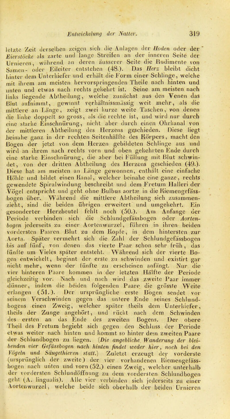 letzte Zeit derselben zeigen sich die Anlagen der Hoden oder der Eierstöcke als zarte und lange Streifen an der inneren Seite der Urnieren, während an deren äusserer Seite die Rudimente von Samen- oder Eileiter entstehen (48.)- Das Herz bleibt dicht hinter dem Unterkiefer und erhält die Form einer Schlinge, welche mit ihrem am meisten hervorspringenden Theile nach hinten und unten und etwas nach rechts gekehrt ist. Seine am meisten nach links liegende Abtheilung, welche zunächst aus den Venen das Blut aufnimmt, gewinnt verhältnissmässig weit mehr, als die mittlere an Länge, zeigt zwei kurze weite Taschen, von denen die linke doppelt so gross, als die rechte ist, und wird nur durch eine starke Einschnürung, nicht aber durch einen Ohrkanal von der mittleren Abtheilung des Herzens geschieden. Diese liegt heinahe ganz in der rechten Seitenhälfte des Körpers, macht den Bogen der jetzt von dem Herzen gebildeten Schlinge aus und wird an ihrem nach rechts vorn und oben gekehrten Ende durch eine starke Einschnürung, die aber bei Füllung mit Blut schwin- det, von der dritten Abtheilung des Herzens geschieden (49.). Diese hat am meisten an Länge gewonnen, enthält eine einfache Höhle und bildet einen Kanal, welcher beinahe eine ganze, rechts gewendete Spiralwindung beschreibt und dem Fretum Hallen' der Vögel entspricht und geht ohne Bulbus aortae in die Kiemengefäss- bogen über. Wahrend die mittlere Abiheilung sich zusammen- zieht, sind die beiden übrigen erweitert und umgekehrt. Ein gesonderter Herzbeutel fehlt noch (50.). Am Anfange der Periode verbinden sich die Schlundgefässbogen oder Aorten- bogen jederseits zu einer Aorlenwurzel, führen in ihren beiden vordersten Paaren Blut zu dem Kopfe, in dem hintersten zur Aorta. Spater vermehrt sich die Zahl der Schlundgefässbogen bis auf fünf, von denen das vierte Paar schon sehr früh, das fünfte um Vieles später entsteht. Während sich der vierte Bo- gen entwickelt, beginnt der erste zu schwinden und existirt gar nicht mehr, wenn der fünfte zu erscheinen anfängt. Nur die vier hinteren Paare kommen in der letzten Hälfte der Periode gleichzeitig vor. ISach und nach wird das .zweite Paar immer dünner, indem die beiden folgenden Paare die grösste Weite erlangen (51.). Der ursprüngliche erste Bogen sendet vor seinem Verschwinden gegen das untere Ende seines Schlund- bogens einen Zweig, welcher später theils dem Unterkiefer, thcils der Zunge angehört, und rückt nach dem Schwinden des ersten an das Ende des zweiten Bogens. Der obere Theil des Fretum begiebt sich gegen den Schluss der Periode etwas weiter nach hinten und kommt so hinter dem zweiten Paare der Schlundbogen zu liegen. {Die angebliche Wanderung der blei- benden vier Gefässbogen nach hinten findet weder hier, noch bei den Vögeln und Säugethieren statt.) Zuletzt erzeugt der vorderste (ursprünglich der zweite) der vier vorhandenen Kiemengefäss- bogen nach unten und vorn (52.) einen Zweig, welcher unterhalb der vordersten Schlundöffnung zu dem vordersten Schlundbogen geht (A. lingualis). Alle vier verbinden sich jederseits zu einer Aortenwurzel, welche beide sich oberhalb der beiden Urnieren