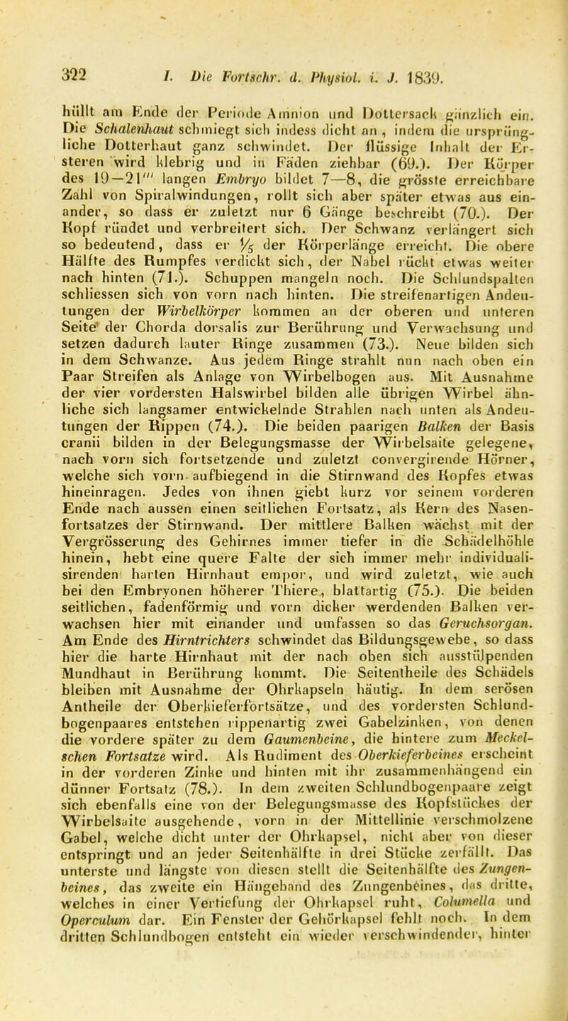 hüllt am Ende der Periode Amnion und Dottersach gänzlich ein. Die SchalenJiaut schmiegt sich indess dicht nn , indem die ursprüng- liche Dotterhaut ganz schwindet. Der flüssige Inhalt der lä- steren wird klebrig und in Fäden ziehbar (69.). Der Körper des 19 — 21' langen Embryo bildet 7—8, die grösste erreichbare Zahl von Spiralwindungen, rollt sich aber spater etwas aus ein- ander, so dass er zuletzt nur 6 Gänge beschreibt (70.)- Der Kopf rundet und verbreitert sich. Der Schwanz verlängert sich so bedeutend, dass er % der Körperlänge erreicht. Die obere Hälfte des Rumpfes verdickt sich, der Nabel rückt etwas weiter nach hinten (71.). Schuppen mangeln noch. Die Schlundspalten schliessen sich von vorn nach hinten. Die streifenartigen Andeu- tungen der Wirbelkörper kommen an der oberen und unteren Seite* der Chorda dorsalis zur Berührung und Verwachsung und setzen dadurch lauter Ringe zusammen (73.). Neue bilden sich in dem Schwänze. Aus jedem Ringe strahlt nun nach oben ein Paar Streifen als Anlage von Wirbelbogen aus. Mit Ausnahme der vier vordersten Halswirbel bilden alle übrigen Wirbel ähn- liche sich langsamer entwickelnde Strahlen nach unten als Andeu- tungen der Rippen (74.). Die beiden paarigen Balken der Basis cranii bilden in der Belegungsmasse der Wirbelsaite gelegene, nach vorn sich fortsetzende und zuletzt convergirende Hörner, welche sich vorn, aufbiegend in die Stirnwand des Kopfes etwas hineinragen. Jedes von ihnen giebt kurz vor seinem vorderen Ende nach aussen einen seitlichen Fortsatz, als Kern des Nasen- fortsatzes der Stirnwand. Der mittlere Balken wächst mit der Vergrößerung des Gehirnes immer tiefer in die Schädelhöhle hinein, hebt eine quere Falte der sich immer mehr individuali- sirenden harten Hirnhaut empor, und wird zuletzt, wie auch bei den Embryonen höherer Thiere., blattartig (75.). Die beiden seitlichen, fadenförmig und vorn dicker werdenden Balken ver- wachsen hier mit einander und umfassen so das Geruchsorgan. Am Ende des Hirntrichters schwindet das Bildungsgewebe, so dass hier die harte Hirnhaut mit der nach oben sich ausstülpenden Mundhaut in Berührung kommt. Die Seitentheile des Schädels bleiben mit Ausnahme der Ohrkapseln häutig. In dem serösen Antheile der Oberkieferfortsätze, und des vordersten Schlund- bogenpaares entstehen rippenartig zwei Gabelzinken, von denen die vordere später zu dem Gaumenbeine, die hintere zum Meckvl- schen Fortsatze wird. Als Rudiment des Oberkieferbeines erscheint in der vorderen Zinke und hinten mit ihr zusammenhängend ein dünner Fortsalz (78.). In dem zweiten Schlundbogenpaare zeigt sich ebenfalls eine von der Belegungsmasse des Kopfstückes der Wirbelsaite ausgehende, vorn in der Mittellinie verschmolzene Gabel, welche dicht unter der Ohrkapsel, nicht aber von dieser entspringt und an jeder Seitenhälfte in drei Stücke zerfällt. Das unterste und längste von diesen stellt die Seitenhälfte des Zungen- beines, das zweite ein Hängcband des Zungenbeines, das dritte, welches in einer Vertiefung der Ohrkapsel ruht, Columella und Operculwn dar. Ein Fenster der Gehörkapsel fehlt noch. In dem dritten Schlundbogen entsteht ein wieder verschwindender, hinter