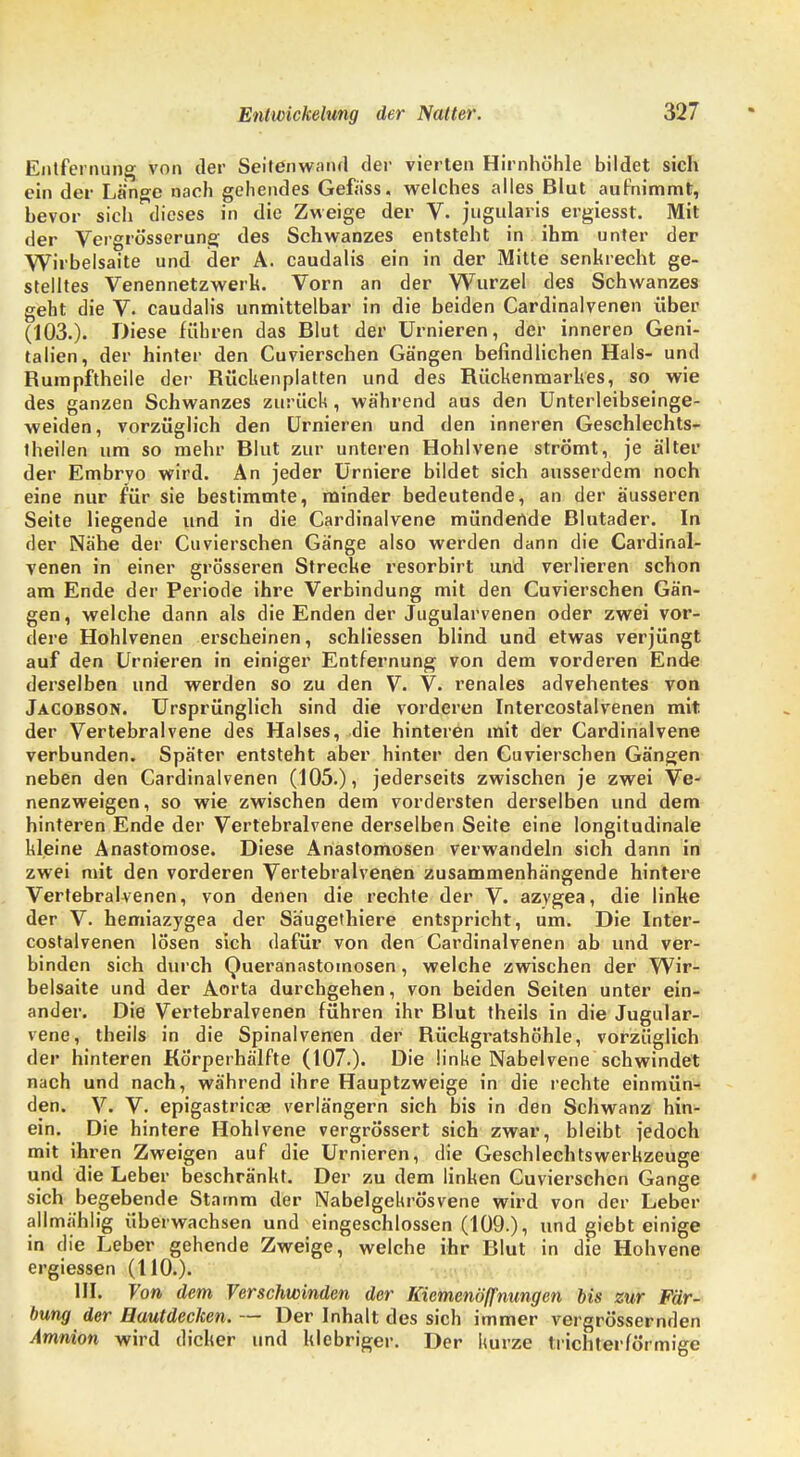 Entfernung von der Seitenwand der vierten Hirnhöhle bildet sich ein der Länge nach gehendes Gefäss. welches alles Blut aufnimmt, bevor sich dieses in die Zweige der V. jugularis ergiesst. Mit der Vergrösserung des Schwanzes entsteht in ihm unter der Wirbelsaite und der A. caudalis ein in der Mitte senkrecht ge- stelltes Venennetzwerk. Vorn an der Wurzel des Schwanzes geht die V. caudalis unmittelbar in die beiden Cardinalvenen über (103.). Diese führen das Blut der Urnieren, der inneren Geni- talien, der hinter den Cuvierschen Gängen befindlichen Hals- und Bumpftheile der Rückenplatten und des Rückenmarkes, so wie des ganzen Schwanzes zurück, während aus den Unterleibseinge- weiden, vorzüglich den Urnieren und den inneren Geschlechts- theilen um so mehr Blut zur unteren Hohlvene strömt, je älter der Embryo wird. An jeder Urniere bildet sich ausserdem noch eine nur für sie bestimmte, minder bedeutende, an der äusseren Seite liegende und in die Cardinalvene mündende Blutader. In der Nähe der Cuvierschen Gänge also werden dann die Cardinal- venen in einer grösseren Strecke resorbirt und verlieren schon am Ende der Periode ihre Verbindung mit den Cuvierschen Gän- gen, welche dann als die Enden der Jugularvenen oder zwei vor- dere Hohlvenen erscheinen, schliessen blind und etwas verjüngt auf den Urnieren in einiger Entfernung von dem vorderen Ende derselben und werden so zu den V. V. renales advehentes von Jacobson. Ursprünglich sind die vorderen Intercostalvenen mit der Vertebralvene des Halses, die hinteren mit der Cardinalvene verbunden. Später entsteht aber hinter den Cuvierschen Gängen neben den Cardinalvenen (105.), jederseits zwischen je zwei Ve- nenzweigen, so wie zwischen dem vordersten derselben und dem hinteren Ende der Vertebralvene derselben Seite eine longitudinale kleine Anastomose. Diese Anastomosen verwandeln sich dann in zwei mit den vorderen Vertebralvenen zusammenhängende hintere Vertebralvenen, von denen die rechte der V. azygea, die linke der V. hemiazygea der Säugethiere entspricht, um. Die Inter- costalvenen lösen sich dafür von den Cardinalvenen ab und ver- binden sich durch Queranastoinosen, welche zwischen der Wir- belsaite und der Aorta durchgehen, von beiden Seiten unter ein- ander. Die Vertebralvenen führen ihr Blut theils in die Jugular- vene, theils in die Spinalvenen der Rückgratshöhle, vorzüglich der hinteren Körperhälfte (107.). Die linke Nabelvene schwindet nach und nach, während ihre Hauptzweige in die rechte einmün- den. V. V. epigastricae verlängern sich bis in den Schwanz hin- ein. Die hintere Hohlvene vergrössert sich zwar, bleibt jedoch mit ihren Zweigen auf die Urnieren, die Geschlechtswerkzeuge und die Leber beschränkt. Der zu dem linken Cuvierschen Gange sich begebende Stamm der Nabelgekrösvene wird von der Leber allmählig überwachsen und eingeschlossen (109.), und giebt einige in die Leber gehende Zweige, welche ihr Blut in die Hohvene ergiessen (110.). III. Von dem Verschwinden der Kiemenöffnungen bis zur Fär- bung der Hautdecken. — Der Inhalt des sich immer vergrössernden Amnion wird dicker und klebriger. Der kurze trichterförmige