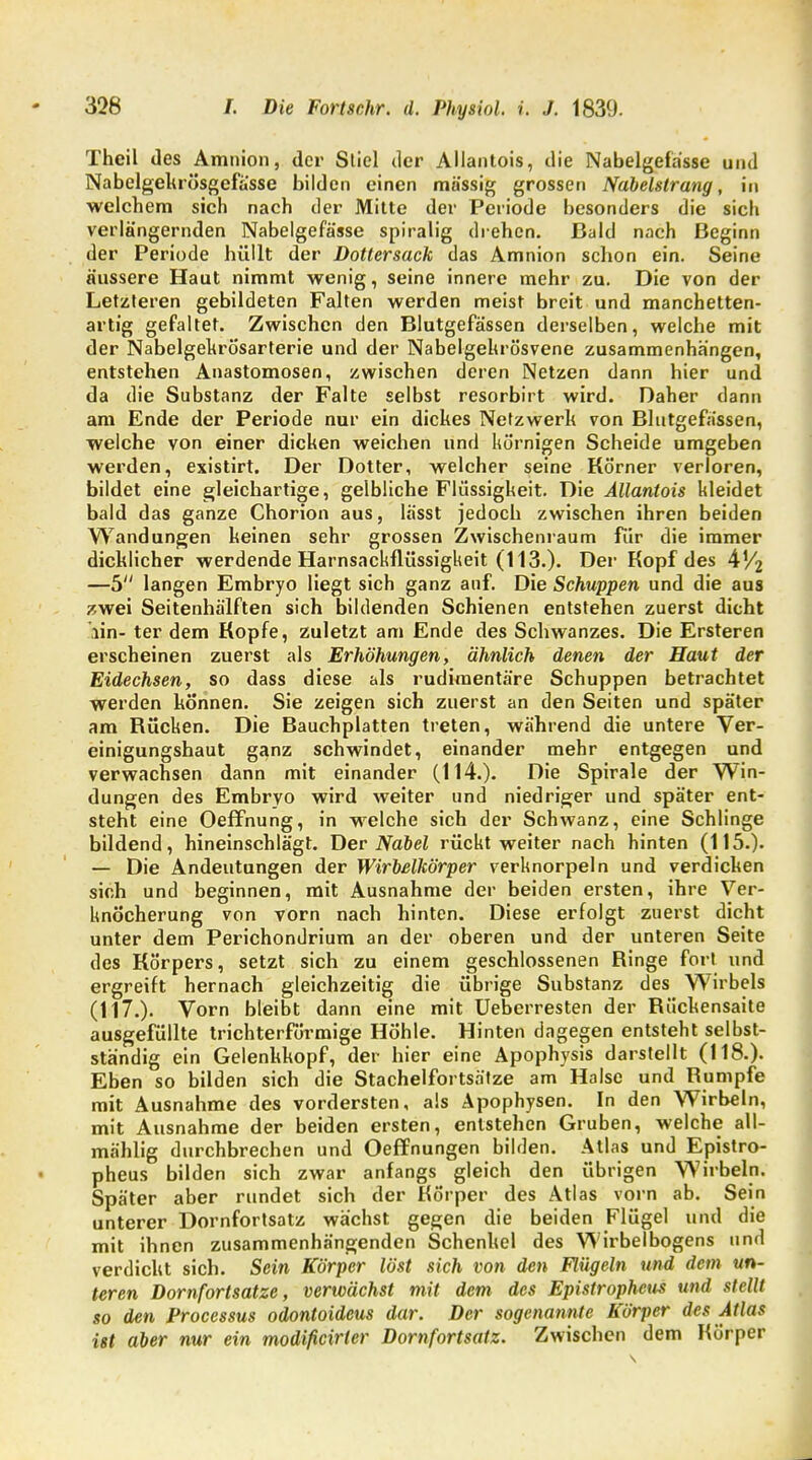 Theil des Amnion, der Sliel der Allantois, die Nabeigefasse und Nabelgekrösgefässe bilden einen massig grossen Nabelstrang, in welchem sich nach der Mitte der Periode besonders die sich verlängernden Nabelgefässe spiralig drehen. Bald nach Beginn der Periode hüllt der Dottersack das Amnion schon ein. Seine äussere Haut nimmt wenig, seine innere mehr zu. Die von der Letzteren gebildeten Falten werden meist breit und manchetten- artig gefaltet. Zwischen den Blutgefässen derselben, welche mit der Nabelgekrösarterie und der Nabelgehrösvene zusammenhängen, entstehen Anastomosen, zwischen deren Netzen dann hier und da die Substanz der Falte selbst resorbirt wird. Daher dann am Ende der Periode nur ein dickes Netzwerk von Blutgefässen, welche von einer dicken weichen und hörnigen Scheide umgeben werden, existirt. Der Dotter, welcher seine Körner verloren, bildet eine gleichartige, gelbliche Flüssigkeit. Die Allantois kleidet bald das ganze Chorion aus, lä'sst jedoch zwischen ihren beiden Wandungen keinen sehr grossen Zwischenraum für die immer dicklicher werdende Harnsachflüssigkeit (113.). Der Kopf des 41/2 —5 langen Embryo liegt sich ganz auf. Die Schuppen und die aus zwei Seitenhälften sich bildenden Schienen entstehen zuerst dicht lin- ter dem Kopfe, zuletzt am Ende des Schwanzes. Die Ersteren erscheinen zuerst als Erhöhungen, ähnlich denen der Haut der Eidechsen, so dass diese als rudimentäre Schuppen betrachtet werden können. Sie zeigen sich zuerst an den Seiten und später am Kücken. Die Bauchplatten treten, während die untere Ver- einigungshaut ganz schwindet, einander mehr entgegen und verwachsen dann mit einander (114.). Die Spirale der Win- dungen des Embryo wird weiter und niedriger und später ent- steht eine Oeffnung, in welche sich der Schwanz, eine Schlinge bildend, hineinschlägt. Der Nabel rückt weiter nach hinten (115.). — Die Andeutungen der Wirbelkörper verknorpeln und verdicken sir.h und beginnen, mit Ausnahme der beiden ersten, ihre Ver- knöcherung von vorn nach hinten. Diese erfolgt zuerst dicht unter dem Perichondrium an der oberen und der unteren Seite des Körpers, setzt sich zu einem geschlossenen Ringe fort und ergreift hernach gleichzeitig die übrige Substanz des Wirbels (117.). Vorn bleibt dann eine mit Ueberresten der Rückensaite ausgefüllte trichterförmige Höhle. Hinten dagegen entsteht selbst- ständig ein Gelenkkopf, der hier eine Apophysis darstellt (118.). Eben so bilden sich die Stachelfortsätze am Halse und Rumpfe mit Ausnahme des vordersten, als Apophysen. In den Wirbeln, mit Ausnahme der beiden ersten, entstehen Gruben, welche all- mählig durchbrechen und Oeffnungen bilden. Atlas und Epistro- pheus bilden sich zwar anfangs gleich den übrigen Wirbeln. Später aber rundet sich der Körper des Atlas vorn ab. Sein unterer Dornfortsatz wächst gegen die beiden Flügel und die mit ihnen zusammenhängenden Schenkel des Wirbelbogens und verdickt sich. Sein Körper löst sich von den Flügeln und dem un- teren Dornfortsatze, verwächst mit dem des Epislrophcus und stellt so den Processus odontoideus dar. Der sogenannte Körper des Atlas ist aber nur ein modificirter Dornfortsatz. Zwischen dem Körper