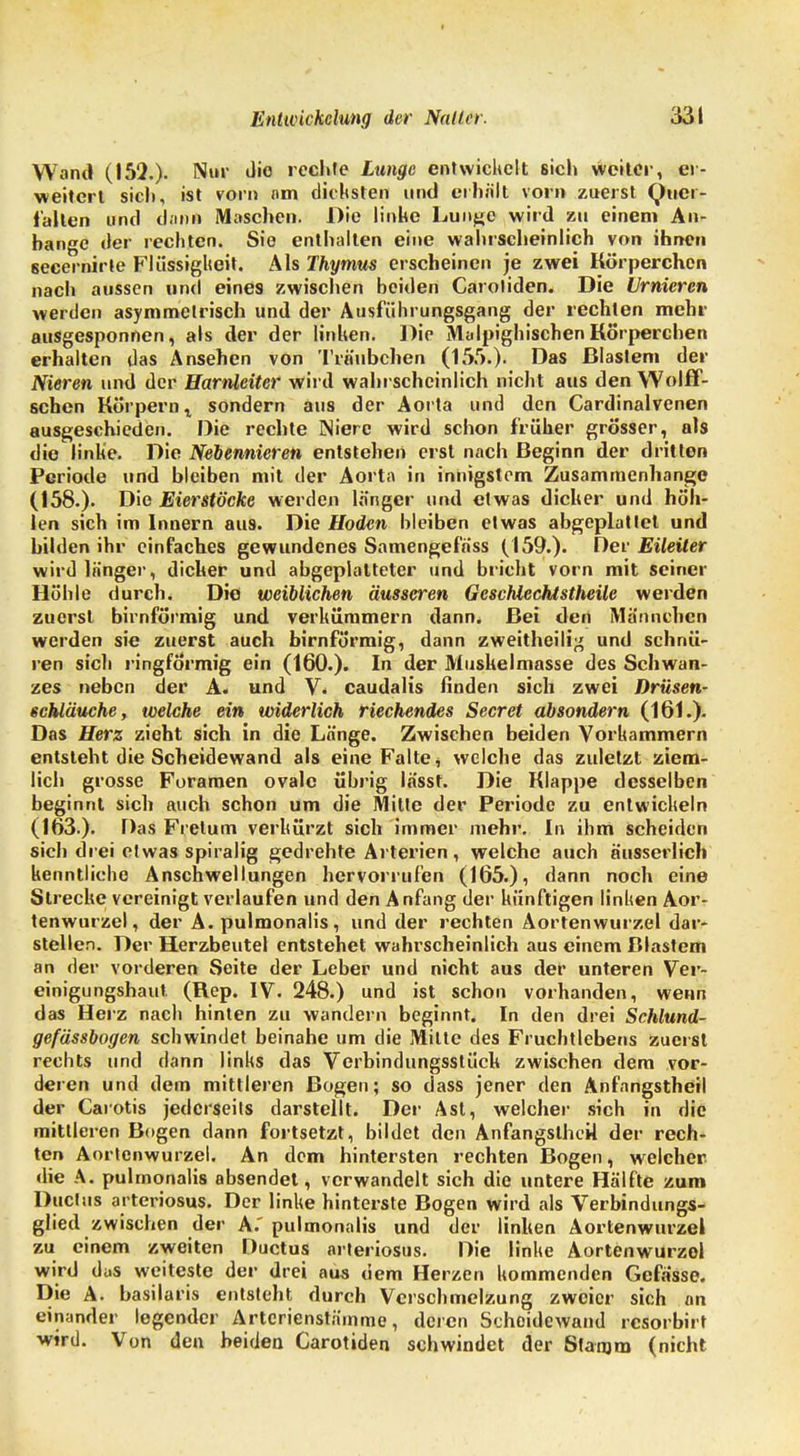 I Entwickelung der Naller. 331 Wand (152.). Nur üio rechte Lunge entwickelt 6ich weiter, er- weitert sich, ist vorn am dicksten und erhält vorn zuerst Quer- fallen und dann Maschen. Die linke Lunge wird zu einem An- bange der rechten. Sie enthalten eine wahrscheinlich von ihnen 6ecernirte Flüssigkeit. Als Thymus erscheinen je zwei Körperchen nach aussen und eines zwischen beiden Carotiden. Die Urnicrcn werden asymmetrisch und der Ausführungsgang der rechten mehr ausgesponnen, als der der linken. Die Malpighischen Körperchen erhalten das Ansehen von Träubchen (155.). Das Blastem der Nieren und der Harnleiter wird wahrscheinlich nicht aus den Wölfi- schen Körpern t sondern aus der Aorta und den Cardinalvenen ausgeschieden. Die rechte Niere wird schon früher grösser, als die linke. Die Nebennieren entstehen erst nach Beginn der dritten Periode und bleiben mit der Aorta in innigstem Zusammenhange (158.). Die Eierstöcke werden länger und etwas dicker und höh- len sich im Innern aus. Die Hoden bleiben etwas abgeplattet und bilden ihr einfaches gewundenes Samengefäss (159.). Der Eileiter wird länger, dicker und abgeplatteter und bricht vorn mit seiner Höhle durch. Die weiblichen äusseren Geschlechistheile werden zuerst birnförmig und verkümmern dann. Bei den Männchen werden sie zuerst auch birnförmig, dann zweit heilig und schnü- ren sich ringförmig ein (160.). In der Muskelmasse des Schwan- zes neben der A. und V. caudalis finden sich zwei Drüsen- schlauche > welche ein widerlich riechendes Secret absondern (161.). Das Herz zieht sich in die Länge. Zwischen beiden Vorkammern entsteht die Scheidewand als eine Falte * welche das zuletzt ziem- lich grosse Foramen ovale übrig lässt. Die Klappe desselben beginnt sich auch schon um die Mitte der Periode zu entwickeln (163.). Das Frelum verkürzt sich immer mehr. In ihm scheiden sich drei etwas spiralig gedrehte Arterien, welche auch äusserlich kenntliche Anschwellungen hervorrufen (165.), dann noch eine Strecke vereinigt verlaufen und den Anfang der künftigen linken Aor- tenwurzel, der A. pulmonalis, und der rechten Aortenwurzel dar- stellen. Der Herzbeutel entstehet wahrscheinlich aus einem Blastem an der vorderen Seite der Leber und nicht aus der unteren Ver- einigungshaut (Rep. IV. 248.) und ist schon vorhanden, wenn das Herz nach hinten zu wandern beginnt. In den drei Schlund- gefässbogen schwindet beinahe um die Mitte des Fruchtlebens zuerst rechts und dann links das Verbindungsstück zwischen dem vor- deren und dem mittleren Bogen; so dass jener den Anfangstheil der Carotis jederseits darstellt. Der Ast, welcher sich in die mittleren Bogen dann fortsetzt, bildet den Anfangstheil der rech- ten Aortenwurzel. An dem hintersten rechten Bogen, welcher die A. pulmonalis absendet, verwandelt sich die untere Hälfte zum Ductus arteriosus. Der linke hinterste Bogen wird als Verbindungs- glied zwischen der A: pulmonalis und der linken Aortenwurzel zu einem zweiten Ductus arteriosus. Die linke Aortenwurzol wird das weiteste der drei aus dem Herzen kommenden Gefässe. Die A. basilaris entsteht durch Verschmelzung zweier sich an einander legender Artcrienstämme, deren Scheidewand resorbirt wird. Von den beiden Carotiden schwindet der Stamm (nicht
