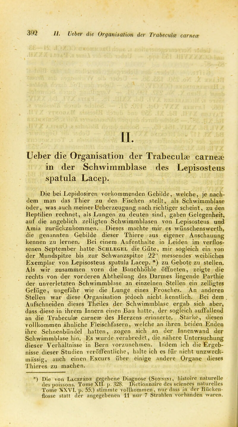 Ueber die Organisation der Trabeculse carnese in der Schwimmblase des Lepisosteus spatula Lacep. Die bei Lepidosiren vorkommenden Gebilde, welche, je nach- dem man das Thier zu den Fischen stellt, als Schwimmblase öder, was auch meinerUeberzeugung nach richtiger scheint, zu den Beptilien rechnet, als Lungen zu deuten sind, gaben Gelegenheit, auf die angeblich zelligten Schwimmblasen von Lepisosteus und Amia zurückzukommen. Dieses machte mir es wünschenswerth, die genannten Gebilde dieser Thiere aus eigener Anschauung kennen zu lernen. Bei einem Aufenthalte in Leiden im verflos- senen September hatte Schlegel die Güte, mir sogleich ein von der Mundspitze bis zur Schwanzspitze 22 messendes weibliches Exemplar von Lepisosteus spatula Lacep. *) zu Gebote zu stellen. Als wir zusammen vorn die Bauchhöhle öffneten, zeigte die rechts von der vorderen Abtheilung des Darmes liegende Parthie der unverletzten Schwimmblase an einzelnen Stellen ein zelligtes Gefüge, ungefähr wie die Lunge eines Frosches. An anderen Stellen war diese Organisation jedoch nicht kenntlich. Bei dem Aufschneiden dieses Theiles der Schwimmblase ergab sich aber, dass diese in ihrem Innern einen Bau hatte, der sogleich auffallend an die Trabecula? carneae des Herzens erinnerte. Starke, diesen vollkommen ähnliche Fleischfasern, welche an ihren beiden Enden ihre Sehnenbündel hatten, zogen sich an der Innenwand der Schwimmblase hin. Es wurde verabredet, die nähere Untersuchung dieser Verhältnisse in Bern vorzunehmen. Indem ich die Ergeb- nisse dieser Studien veröffentliche, halte ich es für nicht unzweck- mässig, auch einen Excurs über einige andere Organe dieses Thieres zu machen. *) Die von Lacepkde gegebene Diagnose (Sonmni, Iiistoire naturelle des poissons. Tonic XII. p. 328. Dictionnaire des scienecs naturelles Tome XXVI. p. 55.) stimmte vollkommen, nur dass in der Rücken-