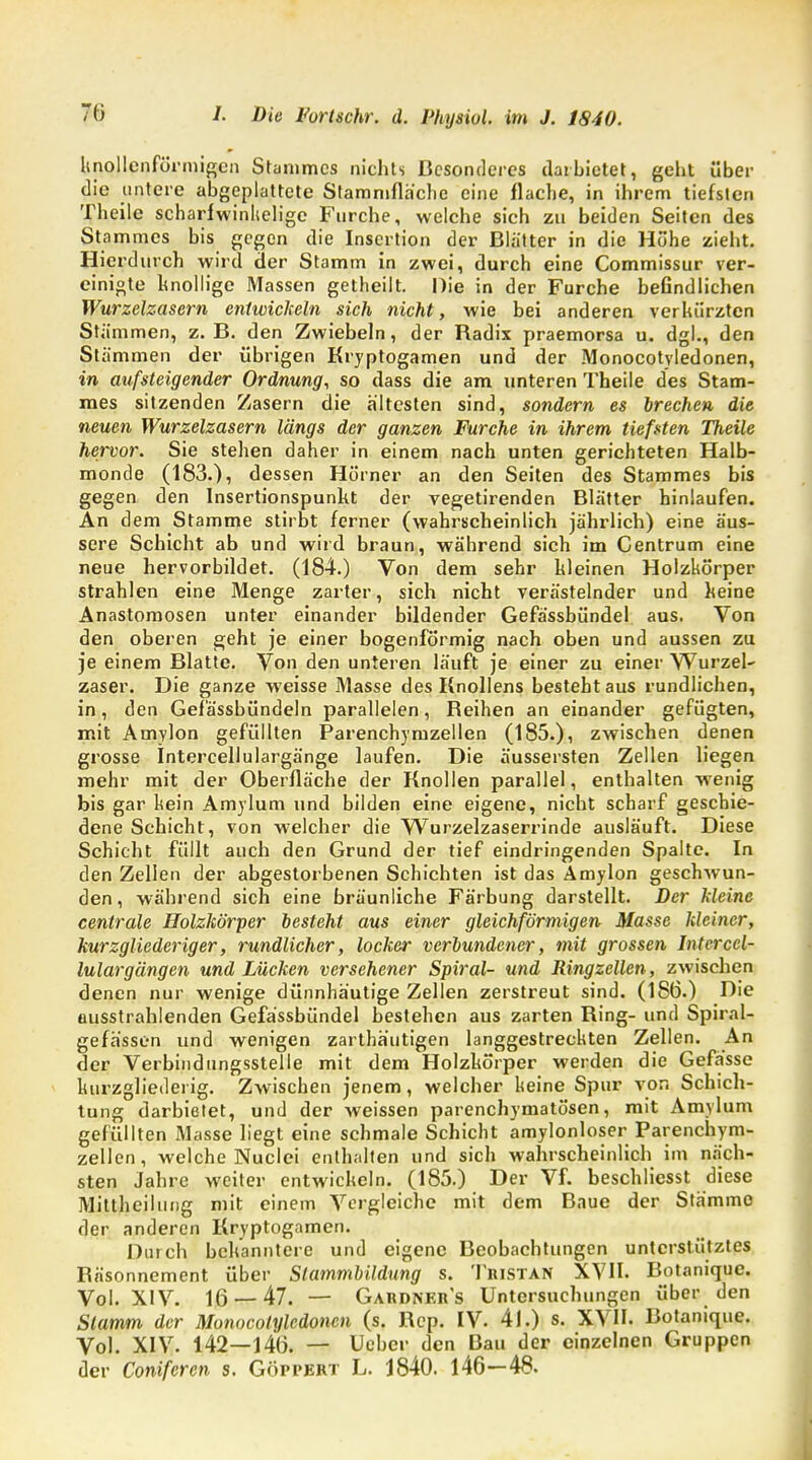 knollenförmigen Stammes niehts Besonderes darbietet, geht über die untere abgeplattete Stammfläche eine flache, in ihrem tiefsten Theile scharfwinlielige Furche, welche sich zu beiden Seiten des Stammes bis gegen die Insertion der Blätter in die Höhe zieht. Hierdurch wird der Stamm in zwei, durch eine Commissur ver- einigte knollige Massen getheilt. Die in der Furche befindlichen Wurzelzasern entwickeln sich nicht, wie bei anderen verkürzten Stämmen, z.B. den Zwiebeln, der Badix praemorsa u. dg]., den Stämmen der übrigen Kryptogamen und der Monocotvledonen, in aufsteigender Ordnung, so dass die am unteren Theile des Stam- mes sitzenden Zasern die ältesten sind, sondern es brechen die neuen Wurzelzasern längs der ganzen Furche in ihrem tiefsten Theile hervor. Sie stehen daher in einem nach unten gerichteten Halb- monde (183.), dessen Hörner an den Seiten des Stammes bis gegen den Insertionspunkt der vegetirenden Blätter hinlaufen. An dem Stamme stirbt ferner (wahrscheinlich jährlich) eine äus- sere Schicht ab und wird braun, während sich im Centrum eine neue hervorbildet. (184.) Von dem sehr hleinen Holzkörper strahlen eine Menge zarter, sich nicht verästelnder und heine Anastomosen unter einander bildender Gefässbündel aus. Von den oberen geht je einer bogenförmig nach oben und aussen zu je einem Blatte. Von den unteren läuft je einer zu einer Wurzel- zaser. Die ganze weisse Masse des Knollens besteht aus rundlichen, in, den Gefässbündeln parallelen, Beihen an einander gefügten, mit Amylon gefüllten Parenchymzellen (185.), zwischen denen grosse Intercellulargänge laufen. Die äussersten Zellen liegen mehr mit der Oberfläche der Knollen parallel, enthalten wenig bis gar kein Amylum und bilden eine eigene, nicht scharf geschie- dene Schicht, von welcher die Wurzelzaserrinde ausläuft. Diese Schicht füllt auch den Grund der tief eindringenden Spalte. In den Zellen der abgestorbenen Schichten ist das Amylon geschwun- den, während sich eine bräunliche Färbung darstellt. Der Meine centrale Holzlcörper besteht aus einer gleichförmigen Masse Meiner, kurzgliederiger, rundlicher, locker verbundener, mit grossen Interccl- lulargängen und Lücken versehener Spiral- und Ringzellen, zwischen denen nur wenige dünnhäutige Zellen zerstreut sind. (186.) Die ausstrahlenden Gefässbündel bestehen aus zarten King- und Spiral- gefässen und wenigen zarthäutigen langgestreckten Zellen. An der Verbindungsstelle mit dem Holzkörper werden die Gefasse kurzgliederig. Zwischen jenem, welcher keine Spur vor. Schich- tung darbietet, und der weissen parenchymatösen, mit Amylum gefüllten Masse liegt eine schmale Schicht amylonloser Parenchym- zellen, welche Nuclci enthalten und sich wahrscheinlich im näch- sten Jahre weiter entwickeln. (185.) Der Vf. beschliesst diese Mittheilung mit einem Vergleiche mit dem Baue der Stämme der anderen Kryptogamen. Durch bekanntere und eigene Beobachtungen unterstütztes Bnsonnement über Slammbildung s. Tristan XVII. Botanique. Vol. XIV. 16 — 47. — Gardner's Untersuchungen über den Stamm der Monocolylcdonen (s. Bcp. IV. 41.) s. XVII. Botanique. Vol. XIV. 142—146. — Ueber den Bau der einzelnen Gruppen der Coniferen s. Göppert L. 1840. 146—48.