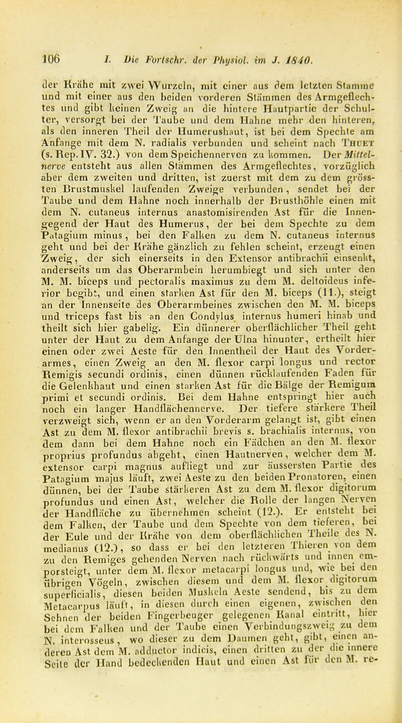 der Krähe mit zwei Wurzeln, mit einer aus dem letzten Stamme und mit einer aus den beiden vorderen Stämmen des Armgeflech- tes und gibt lieinen Zweig an die hintere Hautpartie der Schul- ter, versorgt bei der Taube und dem Hahne mehr den hinteren, als den inneren Theil der Humerushaut, ist bei dem Spechte am Anfange mit dem N. radialis verbunden und scheint nach Tauet (s. Rep. IV. 32.) von dem Speichennerven zukommen. Der Miltel- nerve entsteht aus allen Stämmen des Armgeflechtes, vorzüglich aber dem zweiten und dritten, ist zuerst mit dem zu dem gröss- ten Brustmuskel laufenden Zweige verbunden, sendet bei der Taube und dem Hahne noch innerhalb der Brusthöhle einen mit dem N. cutaneus internus anastomisirenden Ast für die Innen- gegend der Haut des Humerus, der bei dem Spechte zu dem Patagium minus, bei den Falken zu dem N. cutaneus internus geht und bei der Krähe gänzlich zu fehlen scheint, erzeugt einen Zweig, der sich einerseits in den Extensor antibrachii einsenkt, anderseits um das Oberarmbein herumbiegt und sich unter den M. M. bieeps und pectoralis maximus zu dem M. deltoideus infe- rior begibt, und einen starken Ast für den M. bieeps (11.), steigt an der Innenseite des Oberarmbeines zwischen den M. M. bieeps und trieeps fast bis an den Condylus internus humeri hinab und theilt sich hier gabelig. Ein dünnerer oberflächlicher Theil geht unter der Haut zu dem Anfange der Ulna hinunter, ertheilt hier einen oder zwei Aeste für den Innentheil der Haut des Vorder- armes, einen Zweig an den M. flexor carpi longus und rector Remigis secundi ordinis, einen dünnen rücklaufenden Faden für die Gelenkhaut und einen starken Ast für die Bälge der Remigum primi et secundi ordinis. Bei dem Hahne entspringt hier auch noch ein langer Handflächennerve. Der tiefere stärkere Theil verzweigt sich, wenn er an den Vorderarm gelangt ist, gibt einen Ast zu dem M. flexor antibrachii brevis s. brachialis internus, von dem dann bei dem Hahne noch ein Fädchen an den M. flexor proprius profundus abgeht, einen Hautnerven, welcher dem M. extensor carpi magnus aufliegt und zur äussersten Partie des Patagium majus läuft, zwei Aeste zu den beiden Pronatoren, einen dünnen, bei der Taube stärkeren Ast zu dem M. flexor digitorum profundus und einen Ast, welcher die Rolle der langen Nerven der Handfläche zu übernehmen scheint (12.). Er entsteht bei dem Falken, der Taube und dem Spechte von dem tieferen, bei der Eule und der Krähe von dem oberflächlichen Theile des N. medianus (12.), so dass er bei den letzteren Thieren von dem zu den Remiges gehenden Nerven nach rückwärts und innen em- porsteigt, unter dem M. flexor metacarpi longus und, wie bei den übrigen Vögeln, zwischen diesem und dem M. flexor digitorum superlicialis, diesen beiden Muskeln Aeste sendend, bis zu dem Mctacarpus läuft, in diesen durch einen eigenen, zwischen den Sehnen der beiden Fingerbeuger gelegenen Kanal eintritt, hier bei dem Falken und der Taube einen Verbindungszweig zu dem N. interosseus, wo dieser zu dem Daumen geht, gibt, einen an- dereo Ast dem M. adduetor indicis, einen dritten zu der die innere Seite der Hand bedeckenden Haut und einen Ast für den M. re-