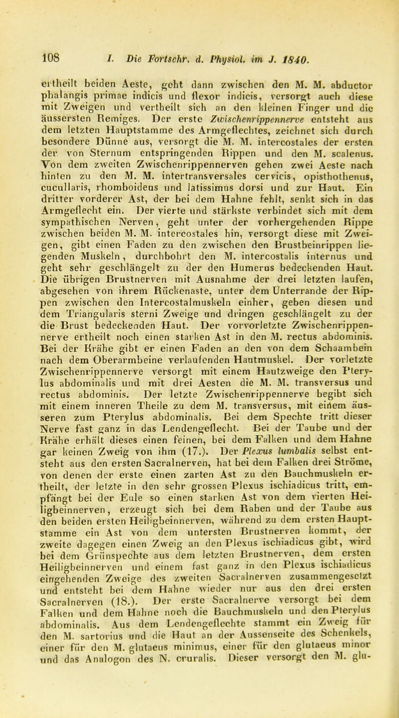 ertheilt beiden Aeste, geht dann zwischen den M. M. abduetor phalangis primae indicis und flexor indicis, versorgt auch diese mit Zweigen und vertheilt sich an den kleinen Finger und die äussersten Remiges. Der erste Zwischenrippennerve entsteht aus dem letzten Hauptstamme des Armgeflechtes, zeichnet sich durch besondere Dünne aus, versorgt die M. M. intercostales der ersten der von Sternum entspringenden Rippen und den M. scalenus. Von dem zweiten Zwischenrippennerven gehen zwei Aeste nach hinten zu den M. M. intertransversales cervicis, opisthothenus, cucullaris, rhomboideus und latissimus dorsi und zur Haut. Ein dritter vorderer Ast, der bei dem Hahne fehlt, senkt sich in das Armgefleoht ein. Der vierte und stärkste verbindet sich mit dem sympathischen Nerven, geht unter der vorhergehenden Rippe zwischen beiden M. M. intercostales hin, versorgt diese mit Zwei- gen, gibt einen Faden zu den zwischen den Rrustbeinrippen lie- genden Muskeln, durchbohrt den M. intercostalis internus und geht sehr geschlängelt zu der den Humerus bedeckenden Haut. Die übrigen Brustnerven mit Ausnahme der drei letzten laufen, abgesehen von ihrem Bückenaste, unter dem Unterrande der Rip- pen zwischen den Intercostalmuskeln einher, geben diesen und dem Triangularis sterni Zweige und dringen geschlängelt zu der die Brust bedeckenden Haut. Der vorvorletzte Zwischenrippen- nerve ertheilt noch einen starken Ast in den M. rectus abdominis. Bei der Krähe gibt er einen Faden an den von dem Schaambein nach dem Oberarmbeine verlaufenden Hautmuskel. Der vorletzte Zwischenrippennerve versorgt mit einem Hautzweige den Ftery- lus abdominalis und mit drei Aesten die M. M. transversus und rectus abdominis. Der letzte Zwischenrippennerve begibt sich mit einem inneren Theile zu dem M. transversus, mit einem äus- seren zum Pterylus abdominalis. Rei dem Spechte tritt dieser Nerve fast ganz in das Lendengeflecht. Bei der Taube und der Krähe erhält dieses einen feinen, bei dem Falken und dem Hahne gar keinen Zweig von ihm (17.). Der Plexus lumbalis selbst ent- steht aus den ersten Sacralnerven, hat bei dein Falken drei Ströme, von denen der erste einen zarten Ast zu den Bauchmuskeln er- theilt, der letzte in den sehr grossen Plexus ischiadicus tritt, em- pfängt bei der Eule so einen starken Ast von dem vierten Hei- ligbeinnerven, erzeugt sich bei dem Raben und der Taube aus den beiden ersten Heiligbeinnerven, während zu dem ersten Haupt- stamme ein Ast von dem untersten Brustnerven kommt, der zweite dagegen einen Zweig an den Plexus ischiadicus gibt, wird bei dem Grünspechte aus dem letzten Brustnerven, dem ersten Heiligbeinnerven und einem fast ganz in den Plexus ischiadicus eingehenden Zweige des zweiten Sacralnerven zusammengesetzt und entsteht bei dem Hahne wieder nur aus den drei ersten Sacralnerven (18.). Der erste Sacralnerve versorgt bei dem Falken und dem Hahne noch die Rauchmuskeln und den Pterylus abdominalis. Aus dem Lendengeflechte stammt ein Zweig Hil- den M. sartorius und die Haut an der Aussenseite des Schenkels, einer für den M. glntaeus minimus, einer für den glutaeus minor und das Analogon des N. cruralis. Dieser versorgt den M. glu-