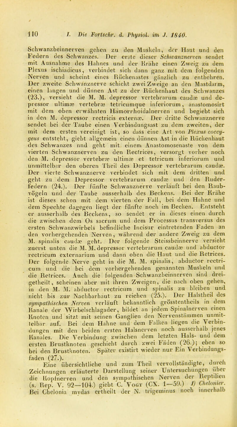 Schwanzbeinnerven gehen zu den Muskeln, der Haut und deii Federn des Schwanzes. Der erste dieser Schwanznerven sendet mit Ausnahme des Hahnes und der Krähe einen Zweig zu dem Plexus ischiadicus, verbindet sich dann ganz mit dem folgenden Nerven und scheint eines Rüchenastes gänzlich zu entbehren. Der zweite Sehwanznerve schickt zwei Zweige an den Mastdarm, einen langen und dünnen Ast zu der Rüchenhaut des Schwanzes ('23.), versieht die M. M. depressor vertebrarum caudae und de- pressor ultima? vertebra? tetricumque inferiorum, anastomosirt mit dem oben erwähnten Hämorrhoidalnerven und begiebt sich in den M. depressor rectricis externa?. Der dritle Schwanznerve sendet bei der Taube einen Verbindungsast zu dem zweiten, der mit dem ersten vereinigt ist, so dass eine Art von Plexus coccy- geus entsteht, giebt allgemein einen dünnen Ast in die Rückenhaut des Schwanzes nnd geht mit einem Anastomosenaste von dem vierten Schwanznerven zu den Rectrices, versorgt vorher noch den M. depressor vertebra? ultima? et tetricum inferiorum und unmittelbar den oberen Theil des Depressor vertebrarum caudae. Der vierte Schwanznerve verbindet sich mit dem dritten und geht zu dem Depressor vertebrarum cauda? und den Ruder- ledern (24.). Der fünfte Schwanznerve verlauft bei den Raub- vögeln und der Taube ausserhalb des Reckens. Rei der Krähe ist dieses schon mit dem vierten der Fall, bei dem Hahne und dem Spechte dagegen liegt der fünfte noch im Bechen. Entsteht er ausserhalb des Beckens, so sendet er in dieses einen durch die zwischen dem Os sacrum und dem Processus transversus des ersten Schwanzwirbels befindliche Incisur eintretenden Faden an den vorhergehenden Nerven, während der andere Zweig zu dem M. spinalis cauda? geht. Der folgende Steissbeinnerve versieht zuerst unten die M. M. depi'essor vertebrarum cauda? und abduetor rectricum externarium und dann oben die Haut und die Retrices. Der folgende Nerve geht in die M. M. spinalis, abduetor rectri- cum und die bei dem vorhergehenden genannten Muskeln und die Retrices. Auch die folgenden Schwanzbeinnerven sind drei- getheilt, scheinen aber mit ihren Zweigen, die nach oben gehen, in den M. M. abduetor rectricum und spinalis zu bleiben und nicht bis zur Nachbarhaut zu reichen (25.). Der Halstheil des sympathischen Nerven verläuft bekanntlich grösstenteils in dem Kanäle der Wirbelschlagader, bildet an jedem Spinalnerven einen Knoten und sitzt mit seinen Ganglien den Nervenstämmen unmit- telbar auf. Rei dem Hahne und dem Falken liegen die Verbin- dungen mit den beiden ersten Halsnerven noch ausserhalb jenes Kanales. Die Verbindung zwischen dem letzten Hals- und dem ersten Rrustknolen geschieht durch zwei Fäden (26.); eben so bei den Rrustknoten. Später existirt wieder nur Ein Verbindungs- faden (27.). Eine übersichtliche und zum Theil vervollständigte, durch Zeichnungen erläuterte Darstellung seiner Untersuchungen über die Kopfnerven und den sympathischen Nerven der Reptilien (s. Rep. V. 92—104.) giebt C. Vogt (CX. 1—59.) 1) ChcUmicr. Bei Cbelonia mydas erthcilt der N. trigeminus noch innerliall)