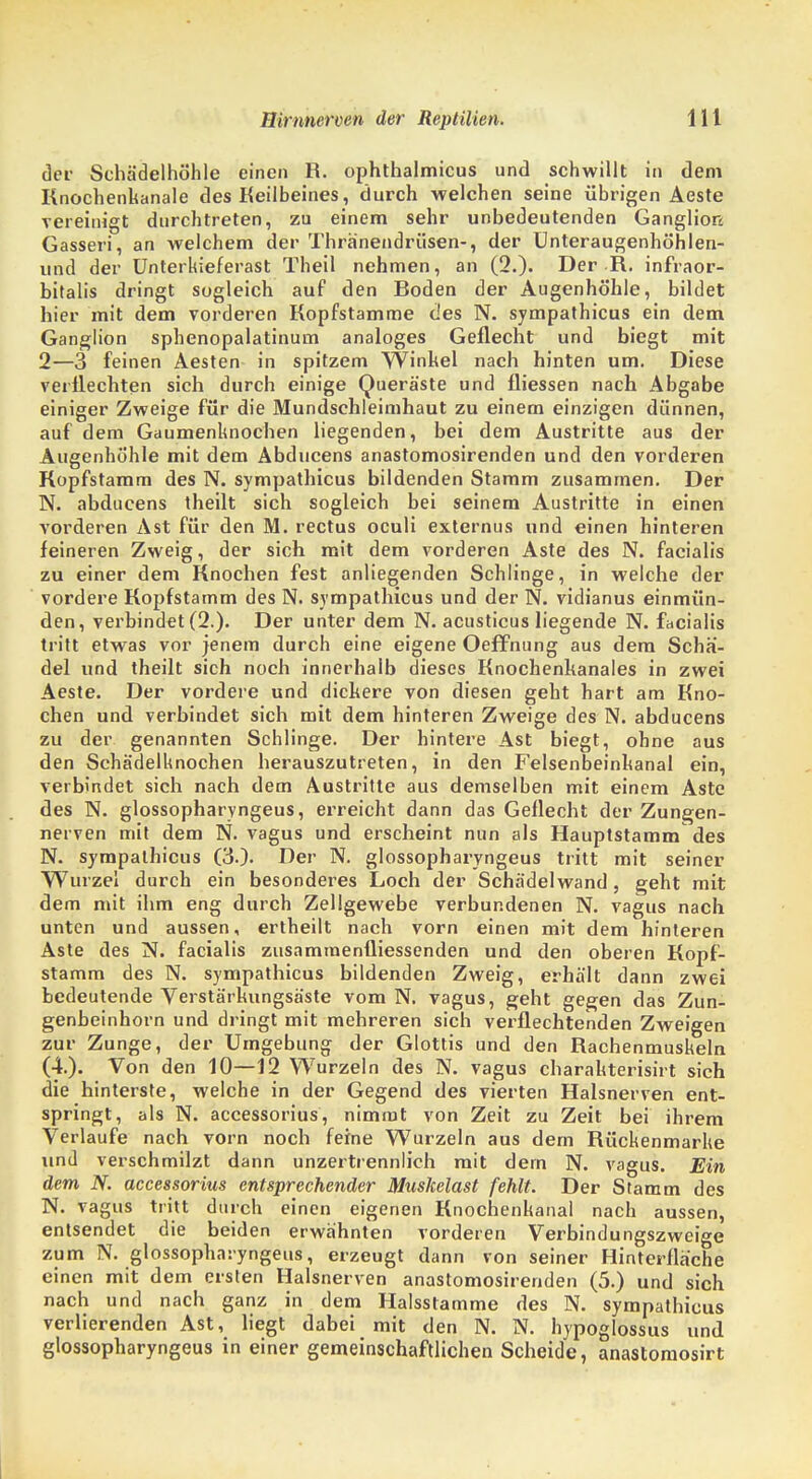 der Schädelhöhle einen R. ophthalmicus und schwillt in dem Knochenkanale des Keilbeines, durch welchen seine übrigen Aeste vereinigt durchtreten, zu einem sehr unbedeutenden Ganglion Gasseri, an welchem der Thränendrüsen-, der Unteraugenhöhlen- und der Unterkieferast Theil nehmen, an (2.). Der R, infraor- bitalis dringt sogleich auf den Boden der Augenhöhle, bildet hier mit dem vorderen Kopfstamme des N. sympathicus ein dem Ganglion sphenopalatinum analoges Geflecht und biegt mit 2—3 feinen Aesten in spitzem Winkel nach hinten um. Diese verflechten sich durch einige Queräste und fliessen nach Abgabe einiger Zweige für die Mundschleimhaut zu einem einzigen dünnen, auf dem Gaumenknochen liegenden, bei dem Austritte aus der Augenhöhle mit dem Abducens anastomosirenden und den vorderen Kopfstamm des N. sympathicus bildenden Stamm zusammen. Der N. abducens theilt sich sogleich bei seinem Austritte in einen vorderen Ast für den M. rectus oculi externus und einen hinteren feineren Zweig, der sich mit dem vorderen Aste des N. facialis zu einer dem Knochen fest anliegenden Schlinge, in welche der vordere Kopfstamm des N. sympathicus und der N. vidianus einmün- den, verbindet (2.). Der unter dem N. acusticus liegende N. facialis tritt etwas vor jenem durch eine eigene Oeffnung aus dem Schä- del und theilt sich noch innerhalb dieses Knochenkanales in zwei Aeste. Der vordere und dickere von diesen geht hart am Kno- chen und verbindet sich mit dem hinteren Zweige des N. abducens zu der genannten Schlinge. Der hintere Ast biegt, ohne aus den Schädelknochen herauszutreten, in den Felsenbeinkanal ein, verbindet sich nach dem Austritte aus demselben mit einem Aste des N. glossopharyngeus, erreicht dann das Geflecht der Zungen- nerven mit dem N. vagus und erscheint nun als Hauptstamm des N. sympathicus (3.). Der N. glossopharyngeus tritt mit seiner Wurzel durch ein besonderes Loch der Schädelwand, geht mit dem mit ihm eng durch Zellgewebe verbundenen N. vagus nach unten und aussen, ertheilt nach vorn einen mit dem hinteren Aste des N. facialis zusammenfliessenden und den oberen Kopf- stamm des N. sympathicus bildenden Zweig, erhält dann zwei bedeutende Verstärhungsäste vom N. vagus, geht gegen das Zun- genbeinhorn und dringt mit mehreren sich verflechtenden Zweigen zur Zunge, der Umgebung der Glottis und den Rachenmuskeln (4.). Von den 10—12 Wurzeln des N. vagus charahterisirt sich die hinterste, welche in der Gegend des vierten Halsnerven ent- springt, als N. accessorius, nimmt von Zeit zu Zeit bei ihrem Verlaufe nach vorn noch ferne Wurzeln aus dem Rückenmarke und verschmilzt dann unzertrennlich mit dem N. vagus. Ein dem N. accessorius entsprechender Muskelast fehlt. Der Stamm des N. vagus tritt durch einen eigenen Knochenkanal nach aussen, entsendet die beiden erwähnten vorderen Verbindungszweige zum N. glossopharyngeus, erzeugt dann von seiner Hinterfläche einen mit dem ersten Halsnerven anastomosirenden (5.) und sich nach und nach ganz in dem Halsstamme des N. sympathicus verlierenden Ast, liegt dabei mit den N. N. hypoglossus und glossopharyngeus in einer gemeinschaftlichen Scheide, anastomosirt