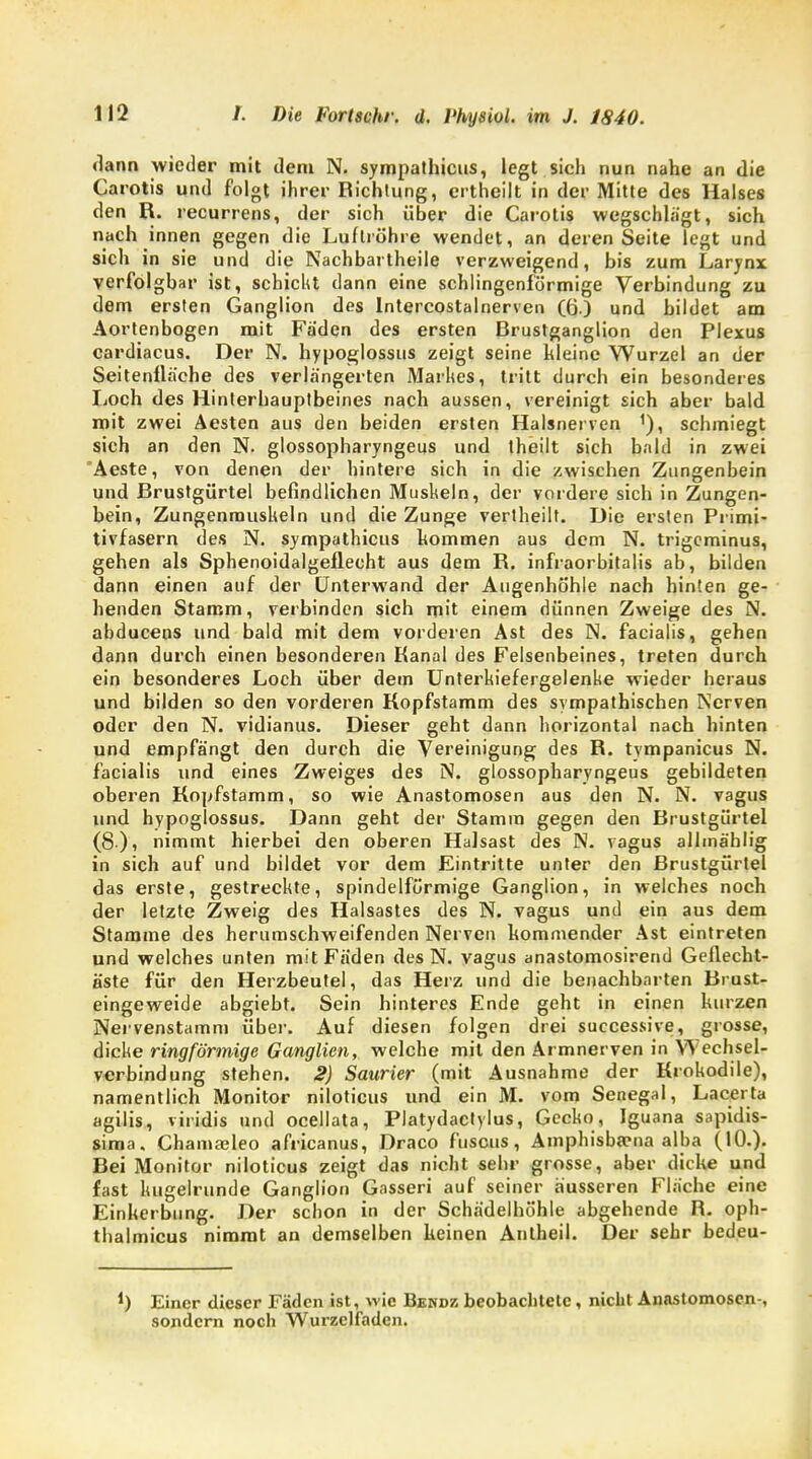 dann wieder mit dem N. sympathicus, legt sich nun nahe an die Carotis und folgt ihrer Richtung, ertheilt in der Mitte des Halses den R. recurrens, der sich über die Carotis wegschlägt, sich nach innen gegen die Luftröhre wendet, an deren Seite legt und sich in sie und die Nachbartheile verzweigend, bis zum Larynx verfolgbar ist, schickt dann eine schlingenförmige Verbindung zu dem ersten Ganglion des Intercostalnerven (6.) und bildet am Aortenbogen mit Faden des ersten Brustganglion den Plexus cardiacus. Der N. hypoglossus zeigt seine hieine Wurzel an der Seitenflache des verlängerten Markes, tritt durch ein besonderes Loch des Hinterhauptbeines nach aussen, vereinigt sich aber bald mit zwei Aesten aus den beiden ersten Halsnerven schmiegt sich an den N. glossopharyngeus und theilt sich bald in zwei 'Aeste, von denen der hintere sich in die zwischen Zungenbein und Brustgürtel befindlichen Muskeln, der vordere sich in Zungen- bein, Zungenrauskeln und die Zunge vertheilt. Die ersten Primi- tivfasern des N. sympathicus kommen aus dem N. trigeminus, gehen als Sphenoidalgeflecht aus dem R. infraorbitalis ab, bilden dann einen auf der Unterwand der Augenhöhle nach hinten ge- henden Stamm, verbinden sich mit einem dünnen Zweige des N. abdueeos und bald mit dem vorderen Ast des N. facialis, gehen dann durch einen besonderen Kanal des Felsenbeines, treten durch ein besonderes Loch über dem Unterkiefergelenke wieder heraus und bilden so den vorderen Kopfstamm des sympathischen Nerven oder den N. vidianus. Dieser geht dann horizontal nach hinten und empfängt den durch die Vereinigung des R. tympanicus N. facialis und eines Zweiges des N. glossopharyngeus gebildeten oberen Kopfstamm, so wie Anastomosen aus den N. N. vagus und hypoglossus. Dann geht der Stamm gegen den Brustgürtel (8), nimmt hierbei den oberen Halsast des N. vagus allmäblig in sich auf und bildet vor dem Eintritte unter den Brustgürtel das erste, gestreckte, spindelförmige Ganglion, in welches noch der letzte Zweig des Halsastes des N. vagus und ein aus dem Stamme des herumschweifenden Nerven kommender Ast eintreten und welches unten mit Fäden des N. vagus anastomosirend Geflecht- äste für den Herzbeutel, das Herz und die benachbarten Brust- eingeweide abgiebt. Sein hinteres Ende geht in einen kurzen Nervenstamm über. Auf diesen folgen drei successive, grosse, dicke ringförmige Ganglien, welche mit den Armnerven in Wechsel- verbindung stehen. 2) Saurier (mit Ausnahme der Krokodile), namentlich Monitor niloticus und ein M. vom Senegal, Lacei ta agilis, viridis und ocellata, Platydactylus, Gecko, Iguana sapidis- sima. Chamaeleo africanus, Draco fuscus, Amphisbaena alba (10.). Bei Monitor niloticus zeigt das nicht sehr grosse, aber dicke und fast kugelrunde Ganglion Gasseri auf seiner äusseren Fläche eine Einkerbung. Der schon in der Schädelhöhle abgehende R. oph- tbalmicus nimmt an demselben keinen Antheil. Der sehr bedeu- *) Einer dieser Fäden ist, wie Bendk beobachtete, nicht Anastomosen-, sondern noch Wurzclfaden.