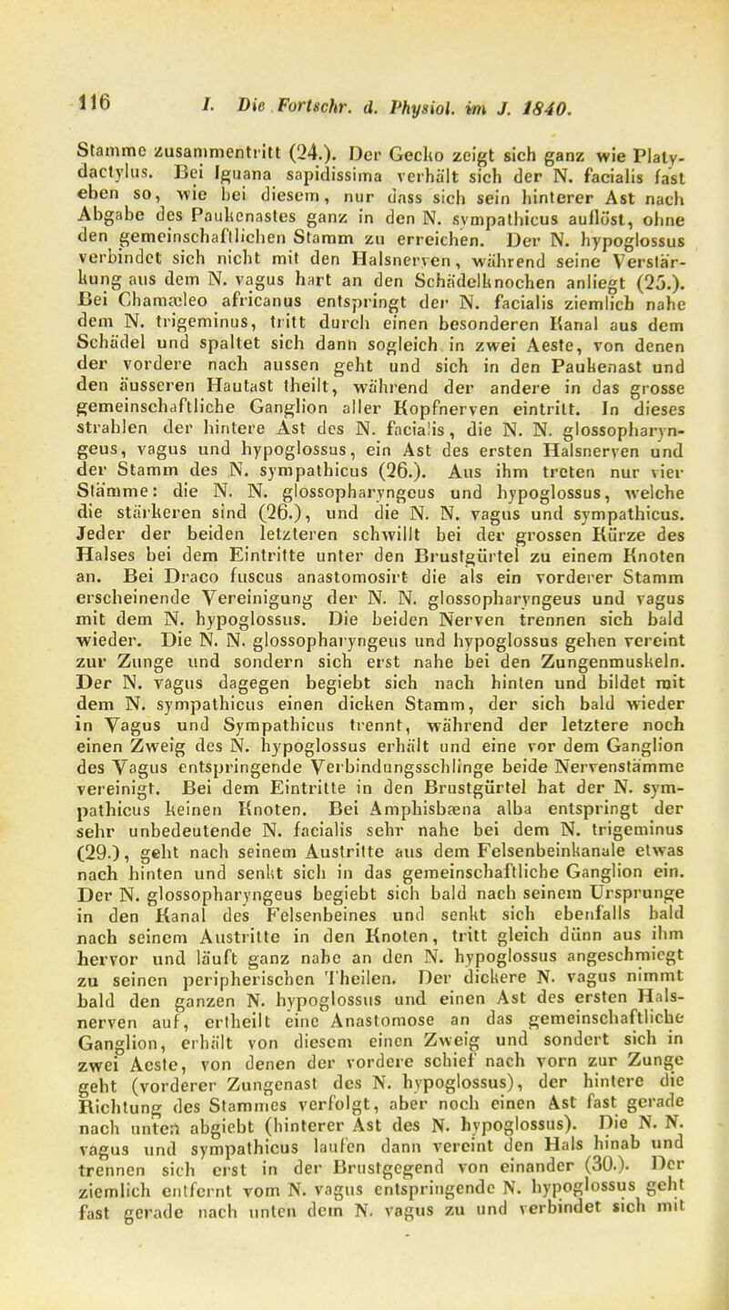 Stamme zusammentritt (24.). Der Gecko zeigt sich ganz wie Plaly- dactylus. Bei Igtiana sapidissima verhält sich der N. facialis fast eben so, wie hei diesem, nur dass sich sein hinterer Ast nach Abgabe des Pauhenastes ganz in den N. sympathicus aullöst, ohne den gemeinschaftlichen Stamm zu erreichen. Der N. hypoglossus verbindet sich nicht mit den Halsnerven, während seine Verstär- kung aus dem N. vagus hart an den Schädelhnochen anliegt (25.). Bei Chamacleo africanus entspringt der N. facialis ziemlich nahe dem N. trigeminus, tritt durch einen besonderen Kanal aus dem Schädel und spaltet sich danh sogleich in zwei Aeste, von denen der vordere nach aussen geht und sich in den Paukenast und den äusseren Hautast theilt, während der andere in das grosse gemeinschaftliche Ganglion aller Kopfnerven eintritt. In dieses strahlen der hintere Ast des N. facialis, die N. N. glossopharvn- geus, vagus und hypoglossus, ein Ast des ersten Halsnerven und der Stamm des N. sympathicus (26.). Aus ihm treten nur vier Stämme: die N. N. glossopharyngeus und hypoglossus, welche die stärkeren sind (26.), und die N. N. vagus und sympathicus. Jeder der beiden letzteren schwillt bei der grossen Kürze des Halses bei dem Eintritte unter den Brustgürtel zu einem Knoten an. Bei Draco ruscus anastomosirt die als ein vorderer Stamm erscheinende Vereinigung der N. N. glossopharyngeus und vagus mit dem N. hypoglossus. Die beiden Nerven trennen sich bald wieder. Die N. N. glossopharyngeus und hypoglossus gehen vereint zur Zunge und sondern sich erst nahe bei den Zungenmuskeln. Der N. vagus dagegen begiebt sich nach hinten und bildet mit dem N. sympathicus einen dicken Stamm, der sich bald wieder in Vagus und Sympathicus trennt, während der letztere noch einen Zweig des N. hypoglossus erhält und eine vor dem Ganglion des Vagus entspringende Verbindungsschlinge beide Nervenstämme vereinigt. Bei dem Eintritte in den Brustgürtel hat der N. sym- pathicus keinen Knoten. Bei Amphisbaena alba entspringt der sehr unbedeutende N. facialis sehr nahe bei dem N. trigeminus (29.), gebt nach seinem Austritte aus dem Felsenbeinkanale etwas nach hinten und senkt sich in das gemeinschaftliche Ganglion ein. Der N. glossopharyngeus begiebt sich bald nach seinem Ursprünge in den Kanal des Felsenbeines und senkt sich ebenfalls bald nach seinem Austritte in den Knoten, tritt gleich dünn aus ihm hervor und läuft ganz nahe an den N. hypoglossus angeschmiegt zu seinen peripherischen Theilen. Der dickere N. vagus nimmt bald den ganzen N. hypoglossus und einen Ast des ersten Hals- nerven auf, ertheilt eine Anastomose an das gemeinschaftliche Ganglion, erhält von diesem einen Zweig und sondert sich in zwei Aeste, von denen der vordere schief nach vorn zur Zunge geht (vorderer Zungenast des N. hypoglossus), der hintere die Richtung des Stammes verfolgt, aber noch einen Ast fast gerade nach unten abgiebt (hinterer Ast des N. hypoglossus). Die N. N. vagus und sympathicus laufen dann vereint den Hals hinab und trennen sich erst in der Brustgegend von einander (30.)- Der ziemlich entfernt vom N. vagus entspringende N. hypoglossus geht fast gerade nach unten dem N. vagus zu und verbindet sich mit