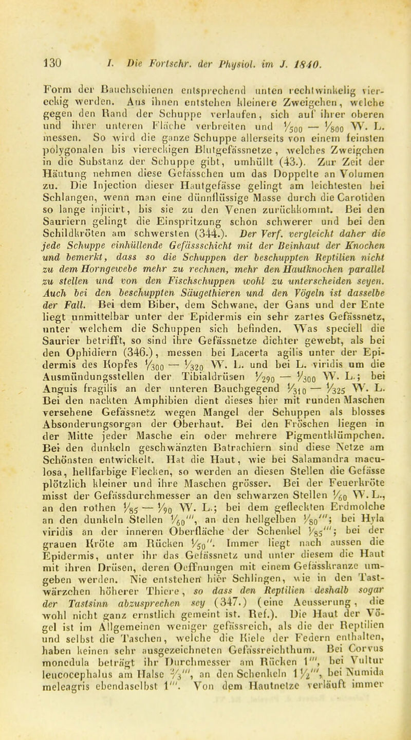 Form der Bauchschienen entsprechend unten rechtwinkelig vier- eckig werden. Ans ihnen entstehen kleinere Zweigchen, welche gegen den Rand der Schuppe verlaufen, sich auf ihrer oheren und ihrei- unteren Flache verbreiten und Y500 — V&oo VV. L. messen. So wird die ganze Schuppe allerseits von einem feinsten polygonalen bis viereckigen Blutgefässnetze, welches Zweigchen in die Substanz der Schuppe gibt, umhüllt (43.). Zur Zeit der Häutung nehmen diese Gefasschen um das Doppelte an Volumen zu. Die Injection dieser Hautgefässe gelingt am leichtesten hei Schlangen, wenn man eine dünnflüssige Masse durch die Carotiden so lange injicirt, bis sie zu den Venen zurückkommt. Bei den Sauriern gelingt die Einspritzung schon schwerer und bei den Schildkröten am schwersten (344.). Der Verf. vergleicht daher die jede Schuppe einhüllende Gefässschicht mit der Beinhaut der Knochen und bemerkt, dass so die Schuppen der beschuppten Reptilien nicht zu dem Horngewebe mehr zu rechnen, mehr den Hautknochen parallel zu stellen und von den Fischschuppen wohl zu unterscheiden seyen. Auch bei den beschuppten Säugcthieren und den Vögeln ist dasselbe der Fall. Bei dem Biber, dem Schwane, der Gans und der Ente liegt unmittelbar unter der Epidermis ein sehr zartes Gefä'ssnetz, unter welchem die Schuppen sich befinden. Was speciell die Saurier betrifft, so sind ihre Gefässnetze dichter gewebt, als bei den Ophidiern (346.), messen bei Lacerta agilis unter der Epi- dermis des Kopfes — V320 W. L. und bei L. viridis um die Ausmündungsstellen der Tibialdrüsen V290 — V300 YV. L.; bei Anguis fragilis an der unteren Bauchgegend V^n — V325 W. L. Bei den nackten Amphibien dient dieses hier mit runden Maschen versehene Gefä'ssnetz wegen Mangel der Schuppen als blosses Absonderungsorgan der Oberhaut. Bei den Fröschen liegen in der Mitte jeder Masche ein oder mehrere Pigmentklümpchen. Bei den dunkeln geschwänzten Batrachiern sind diese Netze am Schönsten entwickelt. Hat die Haut, wie bei Salamandra macu- losa, hellfarbige Flecken, so werden an diesen Stellen die Gefässe plötzlich kleiner und ihre Maschen grösser. Bei der Feuerhröte misst der Gefässdurchmesser an den schwarzen Stellen Vöo W. L., an den rothen y&5 — J/90 W. L.; bei dem gefleckten Erdmolche an den dunkeln Stellen V60', an den hellgelben '/so'; bei Hvla viridis an der inneren Oberfläche der Schenkel Vgs'; bei der grauen Kröte am Rücken V5Q. Immer liegt nach aussen die Epidermis, unter ihr das Gefä'ssnetz und unter diesem die Haut mit ihren Drüsen, deren Oeffnungen mit einem Gefä'sshranze um- geben werden. Nie entstehen hier Sehlingen, wie in den Tast- wärzchen höherer Thiere, so dass den Reptilien deshalb sogar der Tastsinn abzusprechen scy (347.) (eine Aeusserung, die wohl nicht ganz ernstlich gemeint ist. Ref.). Die Haut der Vö- gel ist im Allgemeinen weniger gefässreich, als die der Beplilien und selbst die Taschen, welche die Kiele der Federn enthalten, haben keinen sehr ausgezeichneten Gefässreichthum. Bei Corvus monedula beträgt ihr Durchmesser am Rücken 1', bei Vultur Ieucocephalus am Halse an den Schenkeln 1 Yi\ bei Numida meleagris ebendaselbst 1'. Von dem Hautnelze verläuft immer