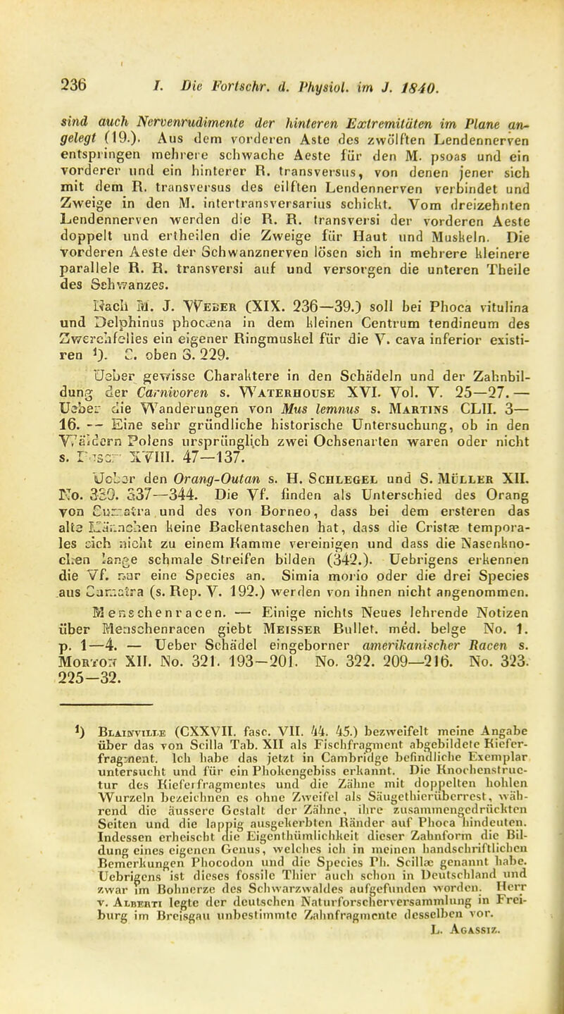 sitid auch Nervenrudimente der hinteren Extremitäten im Plane an- gelegt (19.). Aus dem vorderen Aste des zwölften Lendennerven entspringen mehrere schwache Aeste für den M. psoas und ein vorderer und ein hinterer R. transversus, von denen jener sich mit dem R. transversus des eilften Lendennerven verbindet und Zweige in den M. intertransversarius Schicht. Vom dreizehnten Lendennerven werden die R. R. transversi der vorderen Aeste doppelt und ertheilen die Zweige für Haut und Muskeln. Die vorderen Aeste der Schwanznerven lösen sich in mehrere kleinere parallele R. R. transversi auf und versorgen die unteren Theile des Schwanzes. Nach M, J. Weber (XIX. 236—39.) soll bei Phoca vitulina und Delphinus phocena in dem kleinen Centrum tendineum des Zwerchfelles ein eigener Ringmuskel für die V. cava inferior existi- ren *). C. oben 3. 229. Üsber gewisse Charaktere in den Schädeln und der Zahnbil- dung der Carnivoren s. Waterhouse XVI. Vol. V. 25—27. — XJjber die Wanderungen von Mus lemnus s. Martins CLII. 3— 16. Eine sehr gründliche historische Untersuchung, ob in den V. ä'ccrn Polens ursprünglich zwei Ochsenarten waren oder nicht s. I :sr x¥lll. 47—137. Uder den Orang-Outan s. H. Schlegel und S. Müller XII. No. 3S9. 537—344. Die Vf. finden als Unterschied des Orang von Cu~aira und des von Rorneo, dass bei dem ersteren das alte IJd'r.nchen keine Rackentaschen hat, dass die Cristae tempora- les eich nicht zu einem Kamme vereinigen und dass die Nasenkno- cl.en lange schmale Streifen bilden (342.)- Uebrigens erkennen die Vf. tsar eine Species an. Simia morio oder die drei Species aus Qaniötra (s. Rep. V. 192.) werden von ihnen nicht angenommen. M enschenr acen. — Einige nichts Neues lehrende Notizen über Menschenracen giebt Meisser Rullet. med. beige No. 1. p. 1—4. — Ueber Schädel eingeborner amerikanischer Racen s. Mortot< XII. No. 321. 193-201. No. 322. 209—216. No. 323. 225-32. J) Blaidtviixe (CXXVII. fasc. VII. 44. 45.) bezweifelt meine Angabe über das von Scilla Tab. XII als Flschfragment abgebildete Kiefer- frag^ient. Ich habe das jetzt in Cambridge befindliche Exemplar untersucht und für ein Phokcngebiss erkannt. Die Knochcnslruc- tur des Kiefer fragmentes und die Zähne mit doppelten hohlen Wurzeln bezeichnen es ohne Zweifel als Säugethicrübcrrcst, wäh- rend die äussere Gestalt der Zähne, ihre zusammengedrückten Seiten und die lappig ausgekerbten Känder auf Phoca hindeuten. Indessen erheischt die Eigentümlichkeit dieser Zahnform die Bil- dung eines eigenen Genus\ welches ich in meinen handschriftlichen Bemerkungen Phocodon und die Species Ph. Scilla: genannt habe. Uebrigens ist dieses fossile Thier auch schon in Deutschland und zwar im Bohnerze des Schwarzwaldes aufgefunden worden. Herr v. Albehti legte der deutschen Naturforscher-Versammlung in Frei- burg im Breisgau unbestimmte Zahnfragmrnte desselben vor. L. Agassiz.