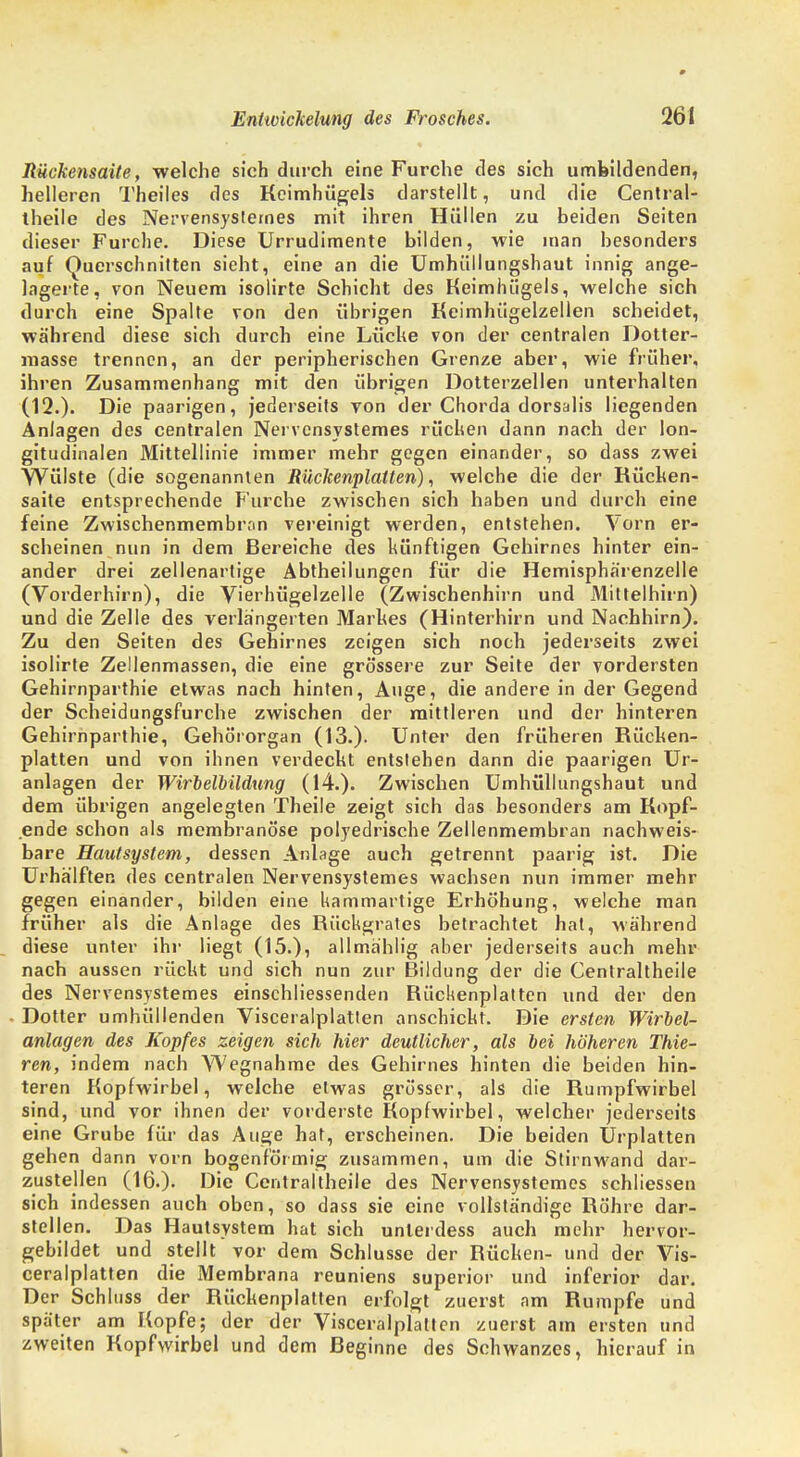 Rückensaite, welche sich durch eine Furche des sich umbildenden, helleren Theiles des Kcimhügels darstellt, und die Central- theile des Nervensystemes mit ihren Hüllen zu beiden Seiten dieser Furche. Diese Urrudimente bilden, wie man hesonders auf Querschnitten sieht, eine an die Umhüllungshaut innig ange- lagerte, von Neuem isolirte Schicht des Keimhiigels, welche sich durch eine Spalte von den übrigen Kcimhiigelzellen scheidet, während diese sich durch eine Lücke von der centralen Dotter- masse trennen, an der peripherischen Grenze aber, wie früher, ihren Zusammenhang mit den übrigen Dotterzellen unterhalten (12.)- Die paarigen, jederseits von der Chorda dorsalis liegenden Anlagen des centralen Nervensystemes rüchen dann nach der lon- gitudinalen Mittellinie immer mehr gegen einander, so dass zwei Wülste (die sogenannten Rückenplatten), welche die der Rücken- saite entsprechende Furche zwischen sich haben und durch eine feine Zwischenmembron vereinigt werden, entstehen. Vorn er- scheinen nun in dem Bereiche des künftigen Gehirnes hinter ein- ander drei zellenartige Abtheilungen für die Hemisphärenzelle (Vorderhirn), die Vierhügelzelle (Zwischenhirn und Mittelhirn) und die Zelle des verlängerten Markes (Hinterhirn und Nachhirn). Zu den Seiten des Gehirnes zeigen sich noch jederseits zwei isolirte Zellenmassen, die eine grössere zur Seite der vordersten Gehirnparthie etwas nach hinten, Auge, die andere in der Gegend der Scheidungsfurche zwischen der mittleren und der hinteren Gehirnparthie, Gehörorgan (13.). Unter den früheren Rücken- platten und von ihnen verdeckt entstehen dann die paarigen Ur- aniagen der Wirbelbildung (14.). Zwischen Umhüllungshaut und dem übrigen angelegten Theile zeigt sich das besonders am Kopf- ende schon als membranöse polyedrische Zellenmembran nachweis- bare Hautsystem, dessen Anlage auch getrennt paarig ist. Die Urhälften des centralen Nervensystemes wachsen nun immer mehr gegen einander, bilden eine kammartige Erhöhung, welche man früher als die Anlage des Rückgrates betrachtet hat, während diese unter ihr liegt (15.), allmählig aber jederseits auch mehr nach aussen rückt und sich nun zur Bildung der die Centraltheile des Nervensystemes einschliessenden Rückenplatten und der den Dotter umhüllenden Visceralplatten anschickt. Die ersten Wirbel- anlagen des Kopfes zeigen sich hier deutlicher, als bei höheren Thie- ren, indem nach Wegnahme des Gehirnes hinten die beiden hin- teren Kopfwirbel, welche etwas grösser, als die Rumpfwirbel sind, und vor ihnen der vorderste Kopfwirbel, welcher jederseits eine Grube für das Auge hat, erscheinen. Die beiden Urplatten gehen dann vorn bogenförmig zusammen, um die Stirnwand dar- zustellen (16.). Die Centraltheile des Nervensystemes schliessen sich indessen auch oben, so dass sie eine vollständige Röhre dar- stellen. Das Hautsystem hat sich unlerdess auch mehr hervor- gebildet und stellt vor dem Schlüsse der Rücken- und der Vis- ceralplatten die Membrana reuniens superior und inferior dar. Der Schluss der Rückenplatten erfolgt zuerst am Rumpfe und später am Kopfe; der der Visceralplatten zuerst am ersten und zweiten Kopfwirbel und dem Beginne des Schwanzes, hierauf in