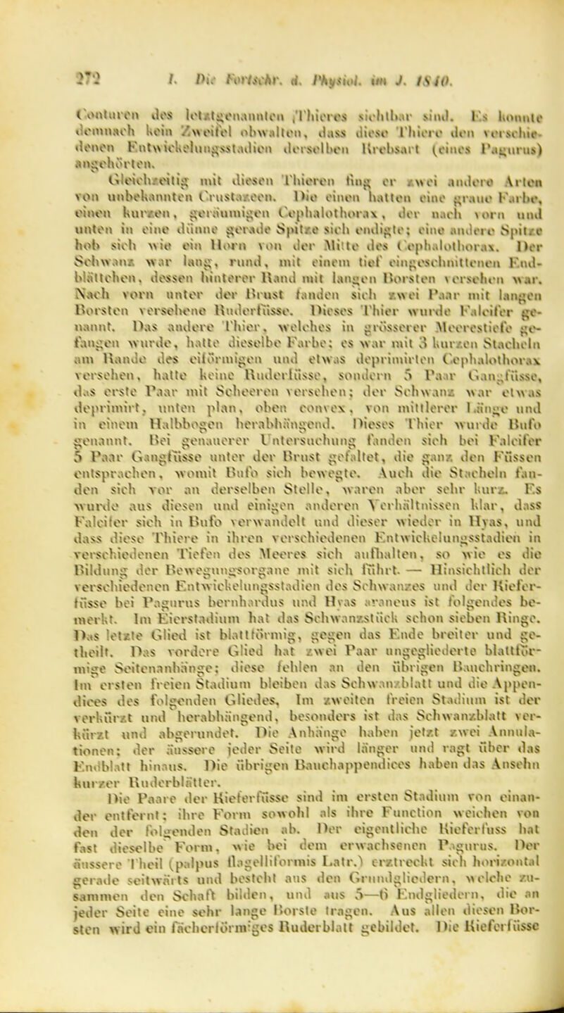 Konturen des loUtgenannten .Thieres sichtbar m'iuI. Ks konnte demnach kein /.«eitel obwalten, dass diese Thiere den veischil denen Fntvuckehingsstadion derselben Urcbsart feines Pdgurus) angehörten. Gleichzeitig mit diesen Thioren fing er z«ei andere Arien von unbekannten Frustazeen. Die einen hatten eine graue Farbe, einen kurzen, geräumigen Fophalothorax , iler nach \orn und unten in eine dünne gerade Spitze sieh endigte; eine nmlere Spitze hob sich \>ie ein Horn von der Milte des ('eph.dothora\. Der Schwan* war laut;, rund, mit einein tief eingeschnittenen F.nd- hlättehen. dessen hinterer Hand mit langen Horsten > ersehen war. Nach vorn unter der Hrust t.unien sieh /.«ei Paar mit langen Horsten versehene Hudernisse. Dieses Thier winde Faleifer ge- nannt. Das andere Thier, welches in grösserer Meerestiefe ge- fangen wurde, hatte dieselbe Farbe; es war mit 3 hur/.en Stacheln am Hände des eilörmigen und etwas depriinirlen F.ephalolhorax vorsehen, hatte keine Huderlüsse, sondern 5 Tau- Gan.;lusse, d.is erste Haar mit Scheeren versehen; der Schwanz war etwas deprimirt, unten plan, oben com ex. von mittlerer Hänge und in einem Halbbogen herabhängend. Dieses Thier winde Bufo genannt. Bei genauerer Untersuchung fanden sich bei Faleifer ,S Fair Gangfusse unter der Brust gefaltet, die ganz, den Füssen entsprachen, womit Bufo sich bewegte. Auch die Stacheln fan- den sich vor an derselben Stelle, waren aber sehr kurz. F.s wurde aus diesen und einigen anderen Verhältnissen klar, dass Faleifer sieh in Bufo verwandelt und dieser wieder in Hvas, und dass diese Thiere in ihren verschiedenen Kntwickelungsstadien in verschiedenen 'Tiefen des Meeres sieh aufhalten, so wie es die Bildung der Bewegungsorgane mit sich fuhrt. — Hinsichtlieh der verschiedenen Fntwieke'.ungsstadien des Schwan/es und der Kiefer- tüsse bei Pagurus hernhardus und Hvas avaneus ist folgendes be- merkt. Im Fierstadium hat das Sehwanzstück schon sieben Hinge. Das 'etile Glied ist blattförmig, gegen das F.nde breiter und ge- theilt. Das vordere Glied hat zwei Haar ungegliederte blattför- mige Seitenanhänge: diese fehlen an den übrigen Bauehringen. Im ersten freien Stadium bleiben das Schwan. Matl und die Appen- diees des folgenden Gliedes, Im zweiten freien Stadium ist der verkürzt und herabhängend, besonders ist das Schwanzblatt ver- kürzt und abgerundet. Die Anhänge haben jetzt zwei Annula- tionen: der äussere jeder Seite wird länger und ragt über das Endblatt hinaus. Die übrigen Bauchappendices haben das Anselm km vor Bnderblntter. Die Paare der Kieferfüsse sind im ersten Stadium von einan- der entfernt: ihre Form sowohl als ihre Function weichen von den der folgenden Stadien ab. Der eigentliche Kieferfuss hat fast dieselbe Form, wie bei dem erwachsenen Pagurus. Der äussere Theil ^palpus ilagelliformis Fair.) erztreekt sich horizontal gerade seitwärts und besteht aus den Grundgliedern, welche zu- sammen den Schaft bilden, und aus 5—t) Fndgliedern, die an jeder Seite eine sehr lange Forste tragen. Aus allen diesen Bor- sten wird ein fächerförmiges Huderblatt gebildet. Die Kieferliissc