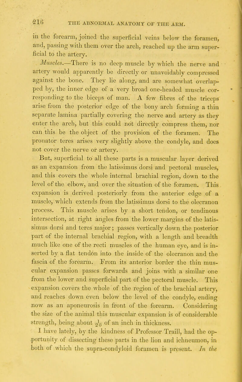 in the forearm, joined the superficial veins below the foramen, and, passing with them over the arch, reached up the arm super- ficial to the artery. Muscles.—There is no deep muscle by which the nerve and artery would apparently be directly or unavoidably compressed against the bone. They lie along, and are somewhat overlap- ped by, the inner edge of a very broad one-headed muscle cor- responding to the biceps of man. A few fibres of the triceps arise from the posterior edge of the bony arch forming a thin separate lamina partially covering the nerve and artery as they enter the arch, but this could not directly compress them, nor can this be the object of the provision of the foramen. The pronator teres arises very slightly above the condyle, and does not cover the nerve or artery. But, superficial to all these parts is a muscular layer derived as an expansion from the latissimus dorsi and pectoral muscles, and this covers the whole internal brachial region, down to the level of the elbow, and over the situation of the foramen. This expansion is derived posteriorly from the anterior edge of a muscle, which extends from the latissimus dorsi to the olecranon process. This muscle arises by a short tendon, or tendinous intersection, at right angles from the lower margins of the latis- simus dorsi and teres major; passes vertically down the posterior part of the internal brachial region, with a length and breadth much like one of the recti muscles of the human eye, and is in- serted by a flat tendon into the inside of the olecranon and the fascia of the forearm. From its anterior border the thin mus- cular expansion passes forwards and joins with a similar one from the lower and superficial part of the pectoral muscle. This expansion covers the whole of the region of the brachial artery, and reaches down even below the level of the condyle, ending now as an aponeurosis in front of the forearm. Considering the size of the animal this muscular expansion is of considerable strength, being about of an inch in thickness. I have lately, by the kindness of Professor Traill, had the op- portunity of drasecting these parts' in the lion and ichneumon, in both of which the supra-condyloid foramen is present. In the