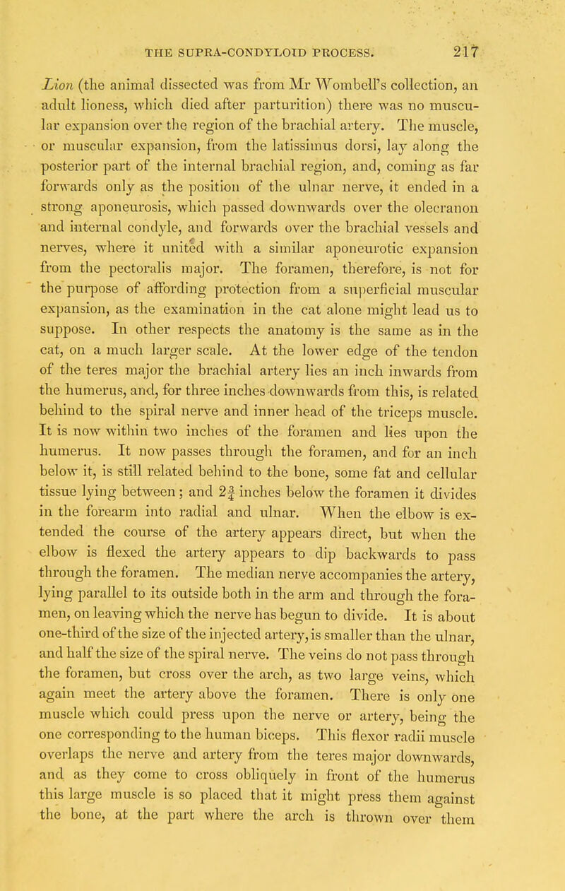 Lion (the animal dissected was from Mr Wombell's collection, an adult lioness, which died after parturition) there was no muscu- lar expansion over the region of the brachial artery. The muscle, or muscular expansion, from the latissimus dorsi, lay along the posterior part of the internal brachial region, and, coming as far forwards only as the position of the ulnar nerve, it ended in a strong aponeurosis, which passed downwards over the olecranon and internal condyle, and forwards over the brachial vessels and nerves, where it united with a similar aponeurotic expansion from the pectoralis major. The foramen, therefore, is not for the purpose of affording protection from a superficial muscular expansion, as the examination in the cat alone might lead us to suppose. In other respects the anatomy is the same as in the cat, on a much larger scale. At the lower edge of the tendon of the teres major the brachial artery lies an inch inwards from the humerus, and, for three inches downwards from this, is related behind to the spiral nerve and inner head of the triceps muscle. It is now within two inches of the foramen and lies upon the humerus. It now passes through the foramen, and for an inch below it, is still related behind to the bone, some fat and cellular tissue lying between; and 2f inches below the foramen it divides in the forearm into radial and ulnar. When the elbow is ex- tended the course of the artery appears direct, but when the elbow is flexed the artery appears to dip backwards to pass through the foramen. The median nerve accompanies the artery, lying parallel to its outside both in the arm and through the fora- men, on leaving which the nerve has begun to divide. It is about one-third of the size of the injected artery, is smaller than the ulnar, and half the size of the spiral nerve. The veins do not pass through the foramen, but cross over the arch, as two large veins, which again meet the artery above the foramen. There is only one muscle which could press upon the nerve or artery, being the one corresponding to the human biceps. This flexor radii muscle overlaps the nerve and artery from the teres major downwards, and as they come to cross obliquely in front of the humerus this large muscle is so placed that it might press them against the bone, at the part where the arch is thrown over them