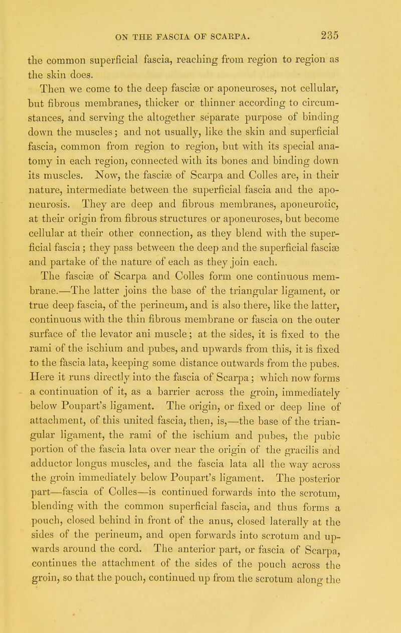 the common superficial fascia, reaching from region to region as the skin does. Then we come to the deep fascia? or aponeuroses, not cellular, but fibrous membranes, thicker or thinner according to circum- stances, and serving the altogether separate purpose of binding down the muscles; and not usually, like the skin and superficial fascia, common from region to region, but with its special ana- tomy in each region, connected with its bones and binding down its muscles. Now, the fascia? of Scarpa and Colles are, in their nature, intermediate between the superficial fascia and the apo- neurosis. They are deep and fibrous membranes, aponeurotic, at their origin from fibrous structures or aponeuroses, but become cellular at their other connection, as they blend with the super- ficial fascia ; they pass between the deep and the superficial fascia? and partake of the nature of each as they join each. The fascia? of Scarpa and Colles form one continuous mem- brane.—The latter joins the base of the triangular ligament, or true deep fascia, of the perineum, and is also there, like the latter, continuous with the thin fibrous membrane or fascia on the outer surface of the levator ani muscle; at the sides, it is fixed to the rami of the ischium and pubes, and upwards from this, it is fixed to the fascia lata, keeping some distance outwards from the pubes. Here it runs directly into the fascia of Scarpa; which now forms a continuation of it, as a barrier across the groin, immediately below Poupart's ligament. The origin, or fixed or deep line of attachment, of this united fascia, then, is,—the base of the trian- gular ligament, the rami of the ischium and pubes, the pubic portion of the fascia lata over near the origin of the gracilis and adductor longus muscles, and the fascia lata all the way across the groin immediately below Poupart's ligament. The posterior part—fascia of Colles—is continued forwards into the scrotum, blending with the common superficial fascia, and thus forms a pouch, closed behind in front of the anus, closed laterally at the sides of the perineum, and open forwards into scrotum and up- wards around the cord. The anterior part, or fascia of Scarpa, continues the attachment of the sides of the pouch across the groin, so that the pouch, continued up from the scrotum alono- the