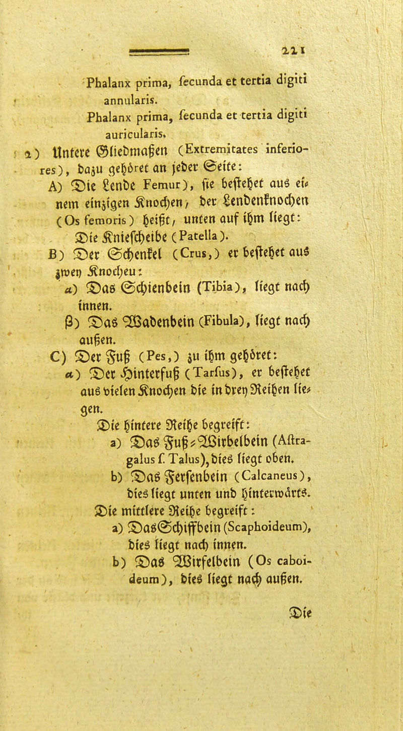 Phalanx prima, fecunda et tertia digiti annularis. Phalanx prima, fecunda et tertia digiti auricularis. 4) Untere ©liebma^en (Extremitates inferio- res), baju c^i^bm Ott jeber ©eite: A) ^ie Scnbe Femur), fie befielet ouö tu mm emsigen ^nocf;en, ber ^ent)en!noc^)en (Osfemoris) ^ei^t, unten auf i^m Hegt: JDie^niefc^eibe (Patella). B) !*)er ©c^enfel (Crus,) erbeM^to^ |tt)ei) .^nocI)eu: ä) ®aö ®c|)tenbem (Tibia), Hegt nact) innen. ß) ^©aö <2ßabenbein (Fibula), Hegt norf) au§en. C) ©erSuf (Pes,) SU i^m gehöret: ä) S)cc ^intcrfuf (Tarfus), er bei^e^ec au6t>teIenilnod)en bi'e inbregDlei^en Uif gen. ^mfere Diethe begreift: a) ^Öaö§uf^^irbelbem(Aftra- galus f Talus), bieö Hegt oben. b) S^tfenbein (Calcaneus), bieä liegt unten unb ^intecro^rt^. 2)ie mitffere Üiet^e begreift: a) ^Öaö(Sc^i1fbein (Scaphoideum), bieä Hegt nod) innen. b) ®aö <2Bitfelbein (Os caboi- deum), bieö Hegt nat^) ou^en. 3:)ie