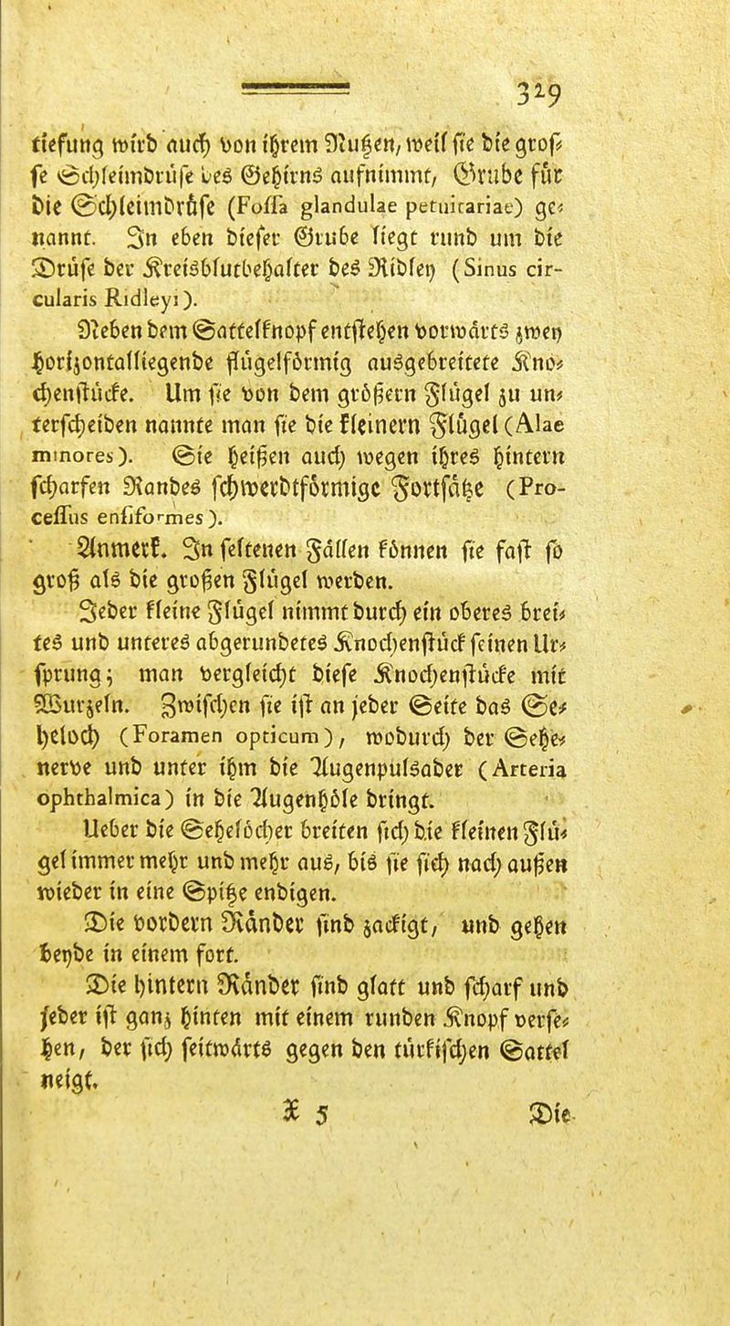 ticfutt^ tvu'b nucf) von i'^rcm fiiufeii/Weiffie btegrop fe vöcl)(ei'mDrüfe beö ©e^trnö aiifnimmf, (JH'ubc für t)ie @d[)(cimDrfifc (Foffa glandulae petuicariatO gc<! -wannt. 3» ct>^n Ötcfer @iu6e liegt ninb um bte ■©rufe bei* ^reBbfutbel^aftet: be^ Slibfet) (Sinus cir- cularis Ridleyi). Sieben bem ©atfeffnopf entftef^en tjoi-wdits ^roet) J^odjontaKtegenbe flugelförmtg au6ge6rettete ^nof cl)en|luc!e. Um fie toon bem gtö^ein ^lugel ju um terfd)ciben nannte man fie bief (einem glugeKÄlae minores), ©te f^eifen aud; wegen i^reg ^intern fc^arfen 9?anbeö fd^mctttformigc ^ortfd^c (Pro- ceffus enfiformes ). 5{nmec{. Snfeftenen Raffen f6nnen fte fa\l fo gro^ atö bie gvo^en glügel werben. Seber fleine ^tüg,d nimmt burd) em oberem 6reu (e6 unb unterem abgerunbeteö .^nDd)enflü(f feinen Ihv fprung^ man bergfeidit biefe Ä'nod)enilüde mit SBurjeln. g^^ff^)«^» fi« i'l^ fl j^^^^»^ ©«tf« boö @ß!f l)eli>C^ (Foramen opticum), woburd) ber @el^e* . ner\)e unb unter il^m bie Jlugenpüläaber (Arteria ophthalmica) in bie HuQen^bk bringt. lieber bie <Se§ef6cber breiten ftdjb.te ffeinen^fu^ gef immer mcr^r unbme^r auö, biö fie fid) nadjaufe» t\)ieber in eine ©pi|e enbigen. $£)ie üorbem DvdnDei; fmb sacftgt, unb gegen fcepbe in einem fort. 2)te l)intcrn $)vdnbet; finb glatt unb fc^arf unb /eber ift ganj hinten mit einem runben .^nopf terfe« |ctt, ber fid; feitnxirte gegen ben turftfdjen @Qtt«l «eig^ ^ 5