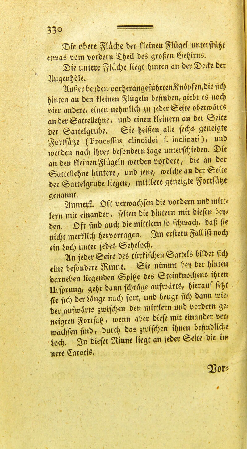 == $Dte obere 5(dd)C bcr fkxntn ^lücj«! untciftüfe ecwaS \)om \)orbcrn li^tii be6 großen ©c^iniS. S)ie untere Sldcl)e liegt feinten an bcc2)erfe bet ■)lu9cn^61e. 7lut3er begbcn tDi'§ecangefü^rten^nöpfen,bte ftd) hinten an bcn fleinen Slügdn bcfinben, giebt nod) vjici' anbete, einen ne^mUcb 5U jcber ©eite oberwdrfö anbereatteÜe^ne, unb einen fleinern on bec ©eite bei- ©attelgrube. ©te ^ei^en alle fed)^ geneigte '^üVtfdfje (Proceffus clinoidei f. inclinati), unb tüciben md) i^m befonbern iage unteifd;ieben. 3)ie an ben deinen §(ügeln werben tootDerc, bie an bec ©atteUc^nel)intere/ unb jene, an btt <Bt\U ber ©attelgrube liegen, mittlere geneigte ^ortfa^e genannt. , Slnmerf. ^>fc verwad)fen bie toorbern unb mitt^ fern mit einanber, feiten bie ^intern mit biefen bet)* ben. Öft ftnb aud} bie mittlem fo fd)mad> ba|3 fite nid)t merflid; ^ettoorragen. 3m erl^etn Sali i|^ nodj ein iod) unter jebeö ©e^elocl). Tin jeber©eite beg türfifd)en ©atteB bilbet ftd> eine befonbere Üvmne» ©ie nimmt bet) ber hinten barneben liegenben ©pi^e be^ ©teinfnDd)en5 t^ren Urfprung, ge^t bann fd;rdge aufmdrtö, hierauf fe|t fie fid) berUnge nad; fort, unb beugt (id) bann \r>m bei- aufwärts än)ifd)en ben mittlem unb \)orbem ge* neiqten ^ortfaf, wenn aber biefe mit einanber wad)fenfinb, burd) baä jwifd^en litten be|inblid)e iod). 3« biefer Siinne liegt an jeber ©eite bte m ■»ere Sarotiö.